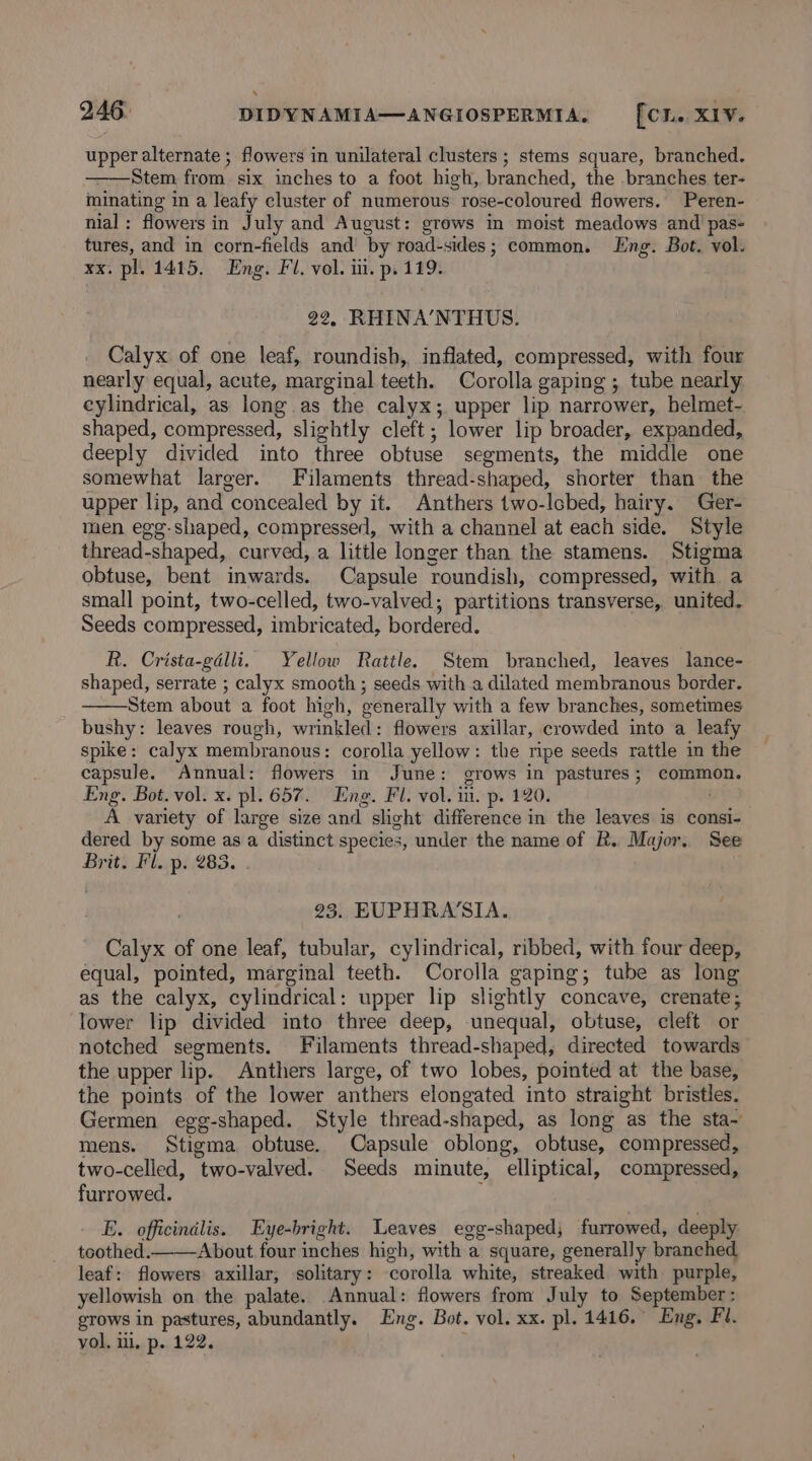 upper alternate ; flowers in unilateral clusters ; stems square, branched. Stem from six inches to a foot high, branched, the branches ter- minating in a leafy cluster of numerous rose-coloured flowers. Peren- nial: flowers in July and August: grows in moist meadows and pas- tures, and in corn-fields and by road-sides; common. Lng. Bot. vol. xx. pl. 1415. Eng. Fl. vol. ii. p. 119. 22, RHINA’NTHUS. Calyx of one leaf, roundish, inflated, compressed, with four nearly equal, acute, marginal teeth. Corolla gaping ; tube nearly eylindrical, as long.as the calyx; upper lip narrower, helmet- shaped, compressed, slightly cleft; lower lip broader, expanded, deeply divided into three obtuse segments, the middle one somewhat larger. Filaments thread-shaped, shorter than the upper lip, and concealed by it. Anthers two-lobed, hairy. Ger- men egg-shaped, compressed, with a channel at each side. Style thread-shaped, curved, a little longer than the stamens. Stigma obtuse, bent inwards. Capsule roundish, compressed, with a small point, two-celled, two-valved; partitions transverse, united. Seeds compressed, imbricated, bordered. R. Crista-galli. Yellow Rattle. Stem branched, leaves lance- shaped, serrate ; calyx smooth ; seeds with a dilated membranous border. Stem about a foot high, generally with a few branches, sometimes bushy: leaves rough, wrinkled: flowers axillar, crowded into a leafy spike: calyx membranous: corolla yellow: the ripe seeds rattle in the capsule. Annual: flowers in June: grows in pastures; common. Eng. Bot. vol. x. pl. 657. Eng. Fl. vol. in. p. 120. A variety of large size and slight difference in the leaves is consi- dered by some as a distinct species, under the name of R. Major. See Brit. Fl. p. 283. 23. EUPHRA‘SIA. Calyx of one leaf, tubular, cylindrical, ribbed, with four deep, equal, pointed, marginal teeth. Corolla gaping; tube as long as the calyx, cylindrical: upper lip slightly concave, crenate; lower lip divided into three deep, unequal, obtuse, cleft or notched segments. Filaments thread-shaped, directed towards the upper lip. Anthers large, of two lobes, pointed at the base, the points of the lower anthers elongated into straight bristles. Germen egg-shaped. Style thread-shaped, as long as the sta~ mens. Stigma obtuse. Capsule oblong, obtuse, compressed, two-celled, two-valved.. Seeds minute, elliptical, compressed, furrowed. i E. officinalis. Eye-bright. Leaves egg-shaped; furrowed, deeply toothed. About four inches high, with a square, generally branched leaf: flowers axillar, solitary: corolla white, streaked with purple, yellowish on the palate. Annual: flowers from July to September : grows in pastures, abundantly. Eng. Bot. vol. xx. pl. 1416. Eng. Fl. vol. ii, p. 122.