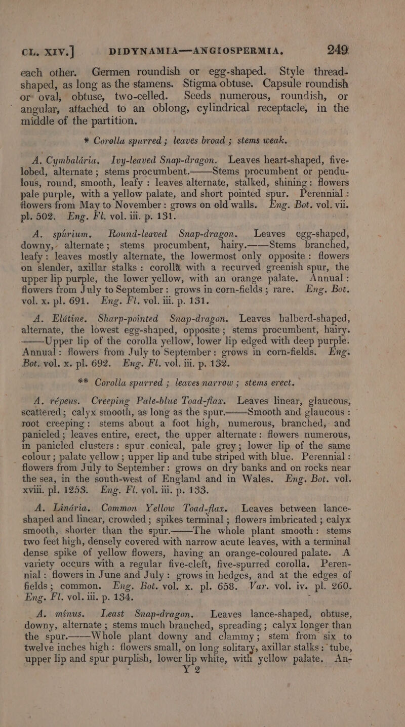 each other. Germen roundish or egg-shaped. Style thread- shaped, as long as the stamens. Stigma obtuse. Capsule roundish or oval, obtuse, two-celled. Seeds numerous, roundish, or angular, attached to an oblong, cylindrical receptacle, in the middle of the partition. * Corolla spurred ; leaves broad ; stems weak. A, Cymbaldéria. Ivy-leaved Snap-dragon. Leaves heart-shaped, five- lobed, alternate ; stems procumbent. Stems procumbent or pendu- lous, round, smooth, leafy : leaves alternate, stalked, shining: flowers pale purple, with a yellow palate, and short pointed spur. Perennial : flowers from May to November: grows on old walls. Eng. Bot. vol. vii. pl. 502. Eng. Fl, vol. ui. p. 131. A, sptrium. Round-leaved Snap-dragon. Leaves egg-shaped, downy,- alternate; stems procumbent, hairy.——Stems branched, leafy: leaves mostly alternate, the lowermost only opposite: flowers on slender, axillar stalks: coroll&amp; with a recurved greenish spur, the upper lip purple, the lower yellow, with an orange palate. Annual: flowers from July to September: grows in corn-fields; rare. Eng. Bot. vol. x. pl. 691. Eng. Fl. vol. iii. p. 131. A. Eldtine. Sharp-pointed Snap-dragon. Leaves halberd-shaped, alternate, the lowest egg-shaped, opposite; stems procumbent, hairy. Upper lip of the corolla yellow, lower lip edged with deep purple. Annual: flowers from July to September: grows in corn-fields. Eng. Bot. vol. x. pl. 692. Eng. Fl, vol. iii. p. 132. ** Corolla spurred ; leaves narrow ; stems erect. A. répens. Creeping Pale-blue Toad-flax. Leaves linear, glaucous, scattered; calyx smooth, as long as the spur. Smooth and glaucous : root creeping: stems about a foot high, numerous, branched, and panicled ; leaves entire, erect, the upper alternate: flowers numerous, in panicled clusters: spur.conical, pale grey; lower lip of the same colour ; palate yellow ; upper lip and tube striped with blue. Perennial : flowers from July to September: grows on dry banks and on rocks near the sea, in the south-west of England and in Wales. Lng. Bot. vol. xvii. pl. 1253. Eng. Fi. vol. iii. p. 133. A. Lindria. Common Yellow Toad-flax. Leaves between lance- shaped and linear, crowded ; spikes terminal ; flowers imbricated ; calyx smooth, shorter than the spur. The whole plant smooth: stems two feet high, densely covered with narrow acute leaves, with a terminal dense spike of yellow flowers, having an orange-coloured palate. A variety occurs with a regular five-cleft, five-spurred corolla, Peren- nial : flowers in June and July: grows in hedges, and at the edges of fields; common. Eng. Bot. vol. x. pl. 658. Var. vol. iv. pl. 260. Eng. Fl. vol. il. p. 134. : ‘ A. minus. Least Snap-dragon. Leaves lance-shaped, obtuse, downy, alternate ; stems much branched, spreading ; calyx longer than the spur.——Whole plant downy and clammy; stem from six to twelve inches high: flowers small, on long solitary, axillar stalks: tube, upper lip and spur purplish, SUSE white, with yellow palate. An- 2