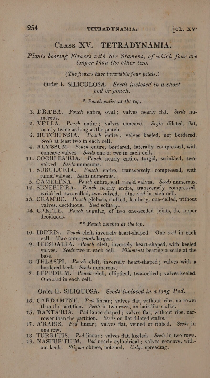 SS) longer than the other two. (The flowers have invariably four petals.)  Order I. SILICULOSA. Seeds znclosed in a short pod or pouch. * Pouch entire at the top. merous. nearly twice as long as the pouch. Seeds at least two in each cell. concave valves. Seeds one or two in each cell. valved. Seeds numerous. tumid valves. Seeds numerous. wrinkled, two-celled, two-valved. One seed in each cell. valves, deciduous. Seed solitary. deciduous. ** Pouch notched at the top. cell. ‘T'wo outer petals largest. valyes. Seeds two in each belt. Filaments bearing a scale at the base. bordered keel. Seeds numerous. One seed in each cell. Order II. SILIQUOSA. Seeds inclosed in a long Pod. than the partition. Seeds in two rows, on hair-like stalks. rower than the partition. Seeds on flat dilated ‘State: one row. out keels. Stigma obtuse, notched. Calyx spreading.