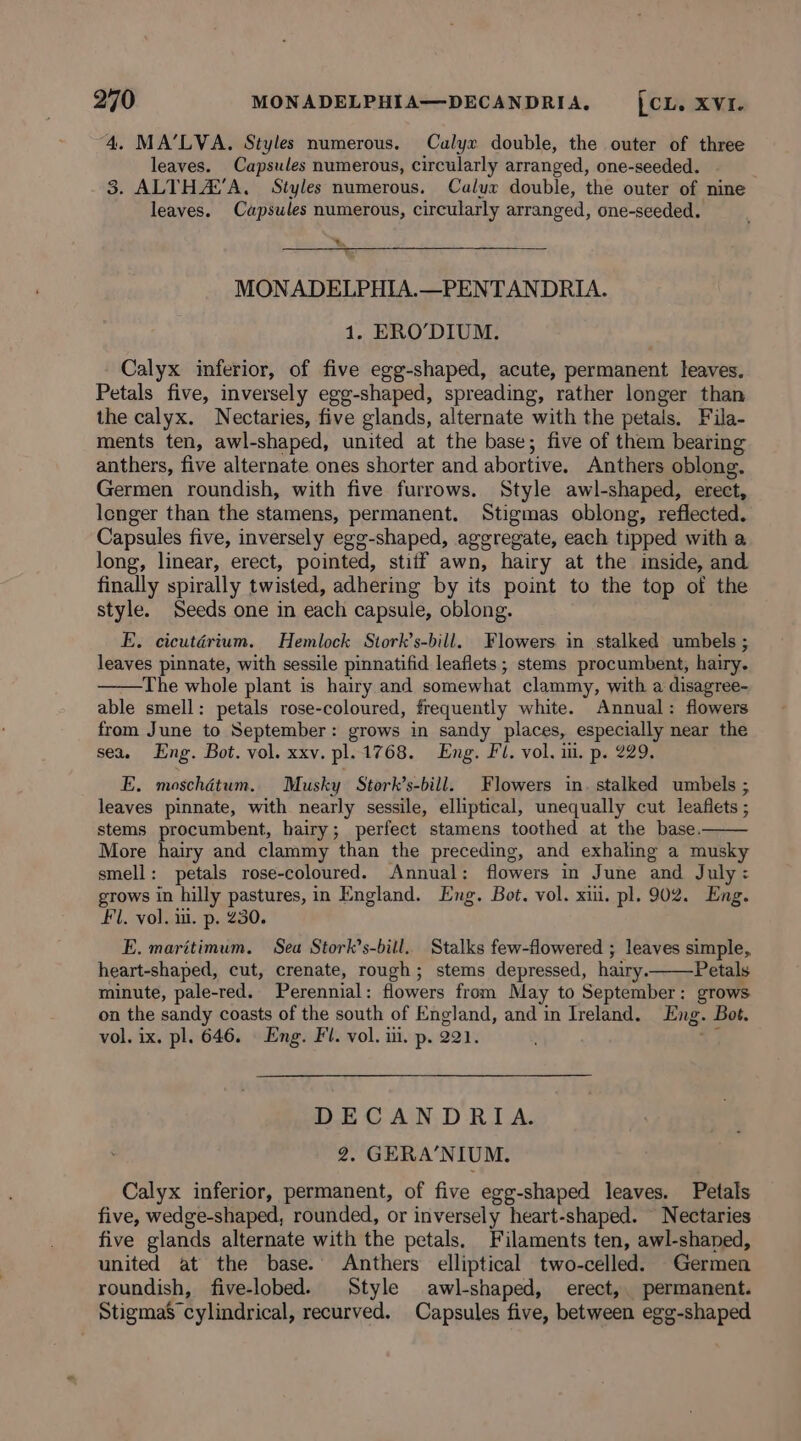 4. MA’LVA. Styles numerous. Calyx double, the outer of three leaves. Capsules numerous, circularly arranged, one-seeded. 3. ALTHA’A, Styles numerous. Calyx double, the outer of nine leaves. Capsules numerous, circularly arranged, one-seeded. % - MONADELPHIA.—PENTANDRIA. 1. ERO’DIUM. Calyx inferior, of five egg-shaped, acute, permanent leaves. Petals five, inversely egg-shaped, spreading, rather longer than the calyx. Nectaries, five glands, alternate with the petals. Fila- ments ten, awl-shaped, united at the base; five of them bearing anthers, five alternate ones shorter and abortive. Anthers oblong. Germen roundish, with five furrows. Style awl-shaped, erect, lenger than the stamens, permanent. Stigmas oblong, reflected. Capsules five, inversely egg-shaped, aggregate, each tipped with a long, linear, erect, pointed, stiff awn, hairy at the inside, and finally spirally twisted, adhering by its point to the top of the style. Seeds one in each capsule, oblong. E. cicutérium. Hemlock Stork’s-bill. Flowers in stalked umbels ; leaves pinnate, with sessile pinnatifid leaflets; stems procumbent, hairy. The whole plant is hairy and somewhat clammy, with a disagree- able smell: petals rose-coloured, frequently white. Annual: flowers from June to September: grows in sandy places, especially near the sea. Eng. Bot. vol. xxv. pl.1768. Eng. Fl. vol. il. p. 229. E. moschdtum.. Musky Stork’s-bill. Flowers in. stalked umbels ; leaves pinnate, with nearly sessile, elliptical, unequally cut leaflets ; stems procumbent, hairy; perfect stamens toothed at the base. More hairy and clammy than the preceding, and exhaling a musky smell: petals rose-coloured. Annual: flowers in June and July: grows in hilly pastures, in England. Eng. Bot. vol. xiii. pl. 902. Eng. Fl, vol. ui. p. 230. E. maritimum. Sea Stork’s-bill. Stalks few-flowered ; leaves simple, heart-shaped, cut, crenate, rough; stems depressed, hairy. Petals minute, pale-red. Perennial : flowers from May to September: grows. on the sandy coasts of the south of England, and in Ireland. Eng. Bot. vol. ix. pl. 646. Eng. Fl. vol. iii. p. 201, DECAND RIA. 2, GERA’NIUM. Calyx inferior, permanent, of five egg-shaped leaves. Petals five, wedge-shaped, rounded, or inversely heart-shaped. Nectaries five glands alternate with the petals. Filaments ten, awl-shaned, united at the base. Anthers elliptical two-celled. Germen roundish, five-lobed. Style awl-shaped, erect, permanent. Stigmas” cylindrical, recurved. Capsules five, between egg-shaped