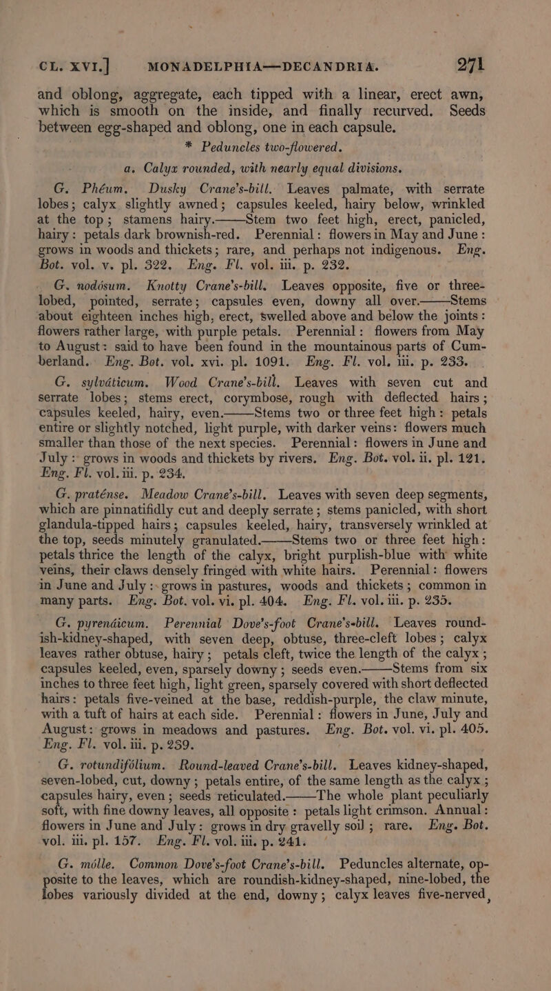 and oblong, aggregate, each tipped with a linear, erect awn, which is smooth on the inside, and finally recurved. Seeds between egg-shaped and oblong, one in each capsule. * Peduncles two-flowered. a. Calyx rounded, with nearly equal divisions. G. Phéum. Dusky Crane’s-bill. Leaves palmate, with serrate lobes; calyx. slightly awned; capsules keeled, hairy below, wrinkled at the top; stamens hairy. Stem two feet high, erect, panicled, hairy: petals dark brownish-red. Perennial: flowersin May and June: grows in woods and thickets; rare, and perhaps not indigenous. Eng. Bot. vol. v. pl. 322. . Eng. Fl. vol. ii. p. 232. G. nodisum. Knotty Crane’s-bill. Leaves opposite, five or three- lobed, pointed, serrate; capsules even, downy all over. Stems about eighteen inches high, erect, swelled above and below the joints: flowers rather large, with purple petals. Perennial: flowers from May to August: said to have been found in the mountainous parts of Cum- berland.. Eng. Bot. vol. xvi. pl. 1091. Eng. Fl. vol. ui. p. 233. G. sylvdticum. Wood Crane’s-bill. Leaves with seven cut and serrate lobes; stems erect, corymbose, rough with deflected hairs ; capsules keeled, hairy, even. Stems two or three feet high: petals entire or slightly notched, light purple, with darker veins: flowers much smaller than those of the next species. Perennial: flowers in June and July : grows in woods and thickets by rivers. Eng. Bot. vol. ii. pl. 121. Eng. Fl. vol. iii. p. 234, G. praténse. Meadow Crane’s-bill. Leaves with seven deep segments, which are pinnatifidly cut and deeply serrate ; stems panicled, with short glandula-tipped hairs; capsules keeled, hairy, transversely wrinkled at the top, seeds minutely granulated. Stems two or three feet high: petals thrice the length of the calyx, bright purplish-blue with white veins, their claws densely fringed with white hairs. Perennial: flowers in June and July :. grows in pastures, woods and thickets; common in many parts. Eng. Bot. vol. vi. pl. 404. Eng. Fl. vol. i. p. 235. G. pyrendicum. Perennial Dove’s-foot Crane’s-bill. Leaves round- ish-kidney-shaped, with seven deep, obtuse, three-cleft lobes; calyx leaves rather obtuse, hairy; petals cleft, twice the length of the calyx ; capsules keeled, even, sparsely downy ; seeds even. Stems from six inches to three feet high, light green, sparsely covered with short deflected hairs: petals five-veined at the base, reddish-purple, the claw minute, with a tuft of hairs at each side. Perennial: flowers in June, July and August: grows in meadows and pastures. Eng. Bot. vol. vi. pl. 405. Eng. Fl. vol. i. p. 239. G. rotundifélium. Round-leaved Crane’s-bill. Leaves kidney-shaped, seven-lobed, cut, downy ; petals entire, of the same length as the calyx ; capsules hairy, even; seeds reticulated. The whole plant peculiarly soft, with fine downy leaves, all opposite : petals light crimson. Annual: flowers in June and July: grows in dry gravelly soil; rare. Eng. Bot. vol. ii. pl. 157. Eng. Fl. vol. iii. p. 241. G. mélle. Common Dove’s-foot Crane’s-bill. Peduncles alternate, op- posite to the leaves, which are roundish-kidney-shaped, nine-lobed, the lobes variously divided at the end, downy; calyx leaves five-nerved,