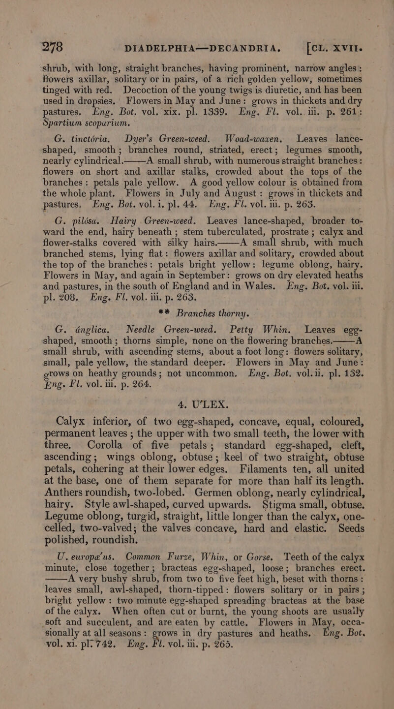 shrub, with long, straight branches, having prominent, narrow angles: flowers axillar, solitary or in pairs, of a rich golden yellow, sometimes tinged with red. Decoction of the young twigs is diuretic, and has been used in dropsies.' Flowers in May and June: grows in thickets and dry pastures. Eng. Bot. vol. xix. pl. 1339. Eng. Fl. vol.. ii. p. 261: Spartium scoparium. G. tinctéria. Dyer’s Green-weed. Woad-waren. Leaves lance- shaped, smooth; branches round, striated, erect; legumes smooth, nearly cylindrical. A small shrub, with numerous straight branches: flowers on short and axillar stalks, crowded about the tops of the branches : petals pale yellow. A good yellow colour is obtained from the whole plant. Flowers in July and August : grows in thickets and pastures. Eng. Bot. vol.i. pl. 44. Eng. Fl. vol. ii. p. 263. G. pilésa. Hairy Green-weed. Leaves lance-shaped, broader to- ward the end, hairy beneath ; stem tuberculated, prostrate ; calyx and flower-stalks covered with silky hairs. A small shrub, with much branched stems, lying flat: flowers axillar and solitary, crowded about the top of the branches: petals bright yellow: legume oblong, hairy. Flowers in May, and again in September: grows on dry elevated heaths and pastures, in the south of England and in Wales. Eng. Bot. vol. iii. pl. 208. Eng. Fl. vol. ili. p. 263. ** Branches thorny. G. dnglica. Needle Green-weed. Petty Whin. Leaves egg- shaped, smooth; thorns simple, none on the flowering branches. A small shrub, with ascending stems, about a foot long: flowers solitary, small, pale yellow, the standard deeper. Flowers in May and June: rows on heathy grounds; not uncommon, Eng. Bot. vol.ii. pl. 132. Eng. Fl, vol. ii. p. 264. 4, U’LEX. Calyx inferior, of two egg-shaped, concave, equal, coloured, permanent leaves ; the upper with two small teeth, the lower with three. Corolla of five petals; standard egg-shaped, cleft, ascending; wings oblong, obtuse; keel of two straight, obtuse petals, cohering at their lower edges. Filaments ten, all united at the base, one of them separate for more than half its length. Anthers roundish, two-lobed. Germen oblong, nearly cylindrical, hairy. Style awl-shaped, curved upwards. Stigma small, obtuse. Legume oblong, turgid, straight, little longer than the calyx, one- celled, two-vaived; the valves concave, hard and elastic. Seeds polished, roundish. ; U. ewropa’us. Common Furze, Whin, or Gorse. Teeth of the calyx minute, close together; bracteas egg-shaped, loose; branches erect. A very bushy shrub, from two to five feet high, beset with thorns : leaves small, awl-shaped, thorn-tipped: flowers solitary or in pairs ; bright yellow: two minute egg-shaped spreading bracteas at the base of the calyx. When often cut or burnt, the young shoots are usuaily soft and succulent, and are eaten by cattle. Flowers in May, occa- sionally at all seasons: grows in dry pastures and heaths.. Eng. Bot. vol. xi. pl’'742. Eng. Fl. vol. ii. p. 265.