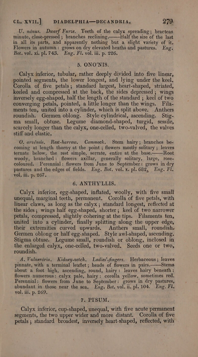 _U. nénus. Dwarf Furze. Teeth of the calyx spreading; bracteas minute, close-pressed ; branches reclining. Half the size of the last in all its parts, and apparently nothing but a slight variety of it. Flowers in autumn: grows on dry elevated heaths and pastures. Eng. Bot. vol. xi. pl. 743. Eng. Fi. vol. i. p. 226. 5. ONO’NIS. Calyx inferior, tubular, rather deeply divided into five linear, pointed segments, the lower longest, and lying under the keel. Corolla of five petals; standard largest, heart-shaped, striated, keeled and compressed at the back, the sides depressed ; wings inversely egg-shaped, half the length of the standard ; keel of two converging petals, pointed, a little longer than the wings. Fila- ments ten, united into a cylinder, which is split above. Anthers roundish. Germen oblong. Style cylindrical, ascending. Stig- ma small, obtuse. Legume diamond-shaped,. turgid, sessile, scarcely longer than the calyx, one-celled, two-valved, the valves stiff and elastic. O. arvénsis. Rest-harrow. Cammock. Stem hairy; branches be- coming at length thorny at the point ; flowers mostly solitary ; leaves ternate below, the rest simple, serrate, entire at the base. Root woody, branched: flowers axillar, generally solitary, large, rose- coloured. Perennial: flowers from June to September: grows in dry pastures and the edges of fields. Eng. Bot. vol. x. pl. 682. Eng. Fl. vol, ili. p. 267. 6. ANTHY’LLIS. Calyx inferior, egg-shaped, inflated, woolly, with five small unequal, marginal teeth, permanent. Corolla of five petals, with linear claws, as long as the calyx; standard longest, reflected at the sides; wings half egg-shaped, shorter; keel of two narrower petals, compressed, slightly cohering at the tips. Filaments ten, united into a cylinder, finally splitting along the upper edge, their extremities curved upwards. Anthers small, roundish. Germen oblong or half egg-shaped. Style awl-shaped, ascending. Stigma obtuse. Legume small, roundish or oblong, inclosed in the enlarged calyx, one-celled, two-valved. Seeds one or two, roundish. A. Vulnerdria. Kidney-vetch. Ladies’-fingers. Herbaceous ; leaves pinnate, with a terminal leaflet; heads of flowers in pairs. Stems about a foot high, ascending, round, hairy: leaves hairy beneath : flowers numerous: calyx pale, hairy: corolla yellow, sometimes red. Perennial: flowers from June to September: grows in dry pastures, abundant in those near the sea. Eng. Bot. vol. il. pl. 104. Eng. Fl. vol, ili. p. 269. 7. PISUM. Calyx inferior, cup-shaped, unequal, with five acute permanent segments, the two upper wider and more distant. Corolla of five petals ; standard broadest, inversely heart-shaped, reflected, with