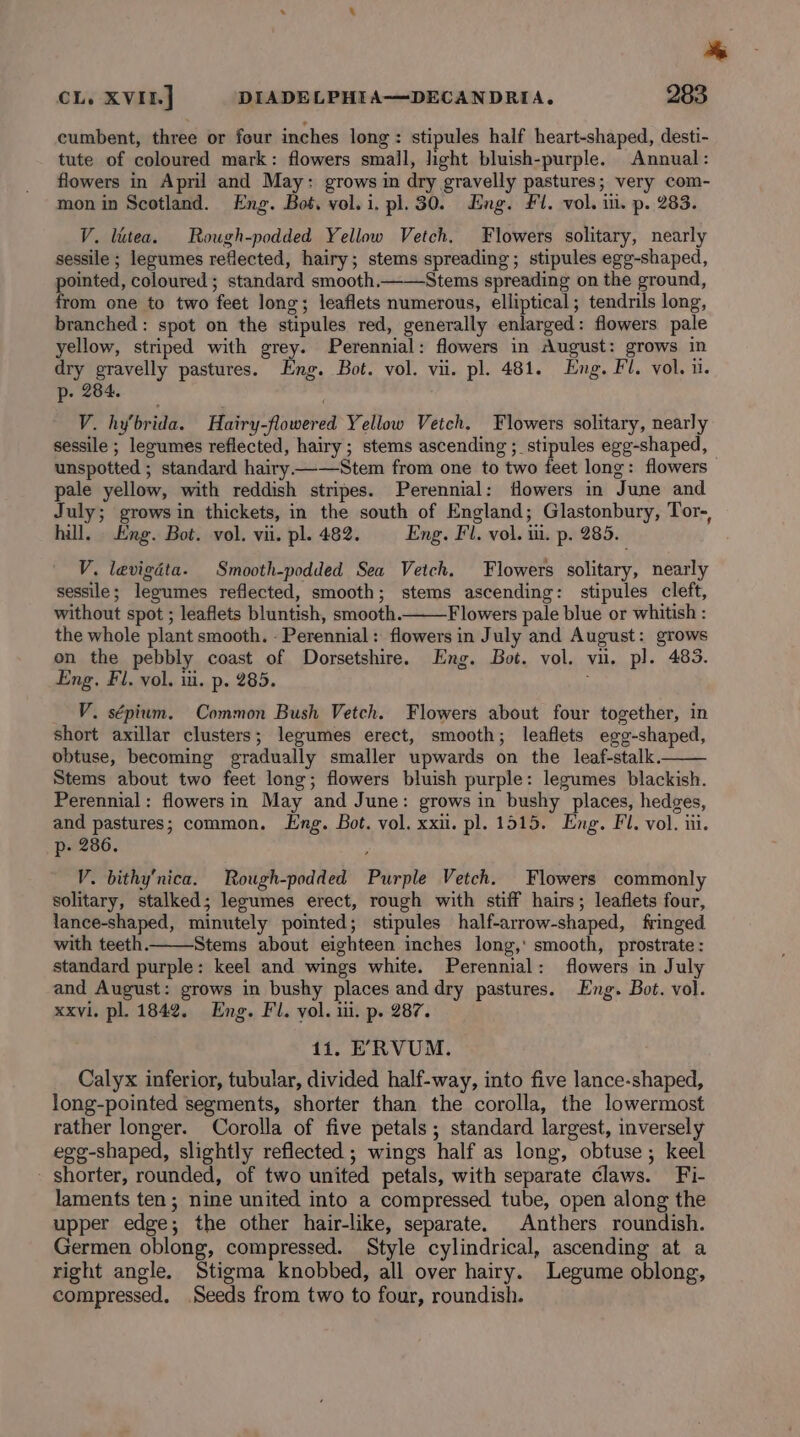 CL. XVII] DIADELPHIA—DECANDRIA, 283 cumbent, three or four inches long: stipules half heart-shaped, desti- tute of coloured mark: flowers small, light bluish-purple. Annual: flowers in April and May: grows im dry gravelly pastures; very com- mon in Scotland. Eng. Bot. vol. i. pl. 30. Eng. £1. vol. i. p. 283. V. lutea. Rough-podded Yellow Vetch. Flowers solitary, nearly sessile ; legumes reflected, hairy; stems spreading; stipules egg-shaped, pointed, coloured; standard smooth. Stems spreading on the ground, from one to two feet long; leaflets numerous, elliptical; tendrils long, branched : spot on the stipules red, generally enlarged: flowers pale yellow, striped with grey. Perennial: flowers in August: grows in dry gravelly pastures. Eng. Bot. vol. vii. pl. 481. Eng. Fl. vol. i. - 284. Pp V. hy’brida. Hairy-flowered Yellow Vetch. Flowers solitary, nearly sessile ; legumes reflected, hairy; stems ascending ;_ stipules egg-shaped, — unspotted ; standard hairy—_—Stem from one to two feet long: flowers pale yellow, with reddish stripes. Perennial: Howers in June and July; grows in thickets, in the south of England; Glastonbury, Tor-, hill. Eng. Bot. vol. vii. pl. 482. Eng. Fl. vol. tii. p. 285. V. levigéta. Smooth-podded Sea Vetch. Flowers solitary, nearly sessile; legumes reflected, smooth; stems ascending: stipules cleft, without spot ; leaflets bluntish, smooth. Flowers pale blue or whitish : the whole plant smooth. - Perennial: flowers in July and August: grows on the pebbly coast of Dorsetshire. Eng. Bot. vol. vu. pl. 483. Eng. Fl, vol. ii. p. 285. __ V. sépium. Common Bush Vetch. Flowers about four together, in short axillar clusters; legumes erect, smooth; leaflets egg-shaped, obtuse, becoming gradually smaller upwards on the leaf-stalk. Stems about two feet long; flowers bluish purple: legumes blackish. Perennial: flowers in May and June: grows in bushy places, hedges, and pastures; common. Eng. Bot. vol. xxi. pl. 1515. Eng. Fl. vol. iii. p- 286. V. bithy’nica. Rough-podded Purple Vetch. Flowers commonly solitary, stalked; legumes erect, rough with stiff hairs; leaflets four, lance-shaped, minutely pointed; stipules half-arrow-shaped, fringed with teeth. Stems about eighteen inches long,' smooth, prostrate: standard purple: keel and wings white. Perennial: flowers in July and August: grows in bushy places and dry pastures. Eng. Bot. vol. xxvi, pl. 1842. Eng. Fl. vol. iii. p. 287. 11. EXpRVUM. Calyx inferior, tubular, divided half-way, into five lance-shaped, long-pointed segments, shorter than the corolla, the lowermost rather longer. Corolla of five petals; standard largest, inversely egg-shaped, slightly reflected ; wings half as long, obtuse; keel - shorter, rounded, of two united petals, with separate claws. Fi- laments ten; nine united into a compressed tube, open along the upper edge; the other hair-like, separate. Anthers roundish. Germen oblong, compressed. Style cylindrical, ascending at a right angle. Stigma knobbed, all over hairy. Legume oblong, compressed. Seeds from two to four, roundish.