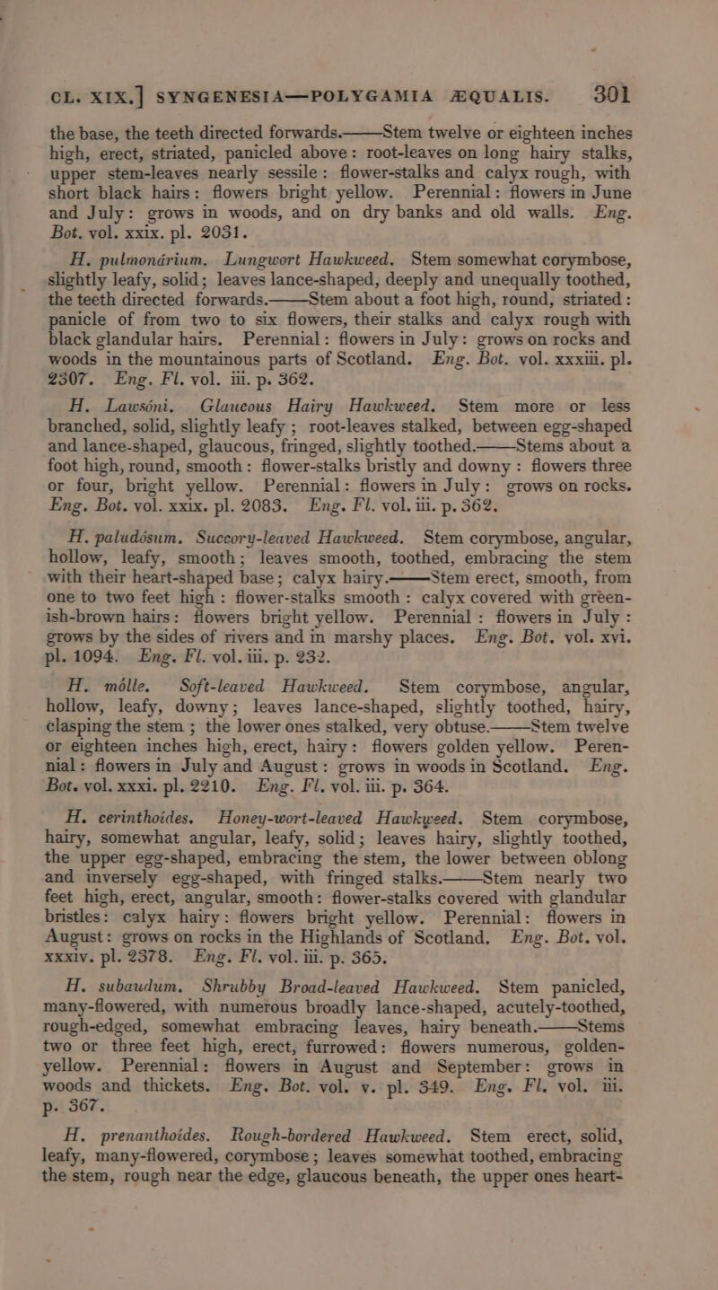 the base, the teeth directed forwards——Stem twelve or eighteen inches high, erect, striated, panicled above: root-leaves on long hairy stalks, upper stem-leaves nearly sessile: flower-stalks and calyx rough, with short black hairs: flowers bright yellow. Perennial: flowers in June and July: grows in woods, and on dry banks and old walls. Eng. Bot. vol. xxix. pl. 2031. H. pulmondrium, Lungwort Hawkweed. Stem somewhat corymbose, slightly leafy, solid; leaves lance-shaped, deeply and unequally toothed, the teeth directed forwards.——Stem about a foot high, round, striated : panicle of from two to six flowers, their stalks and calyx rough with black glandular hairs. Perennial: flowers in July: grows on rocks and woods in the mountainous parts of Scotland. Eng. Bot. vol. xxxiii. pl. 2307. Eng. Fl. vol. il. p. 362. AH. Lawséni. Glaucous Hairy Hawkweed. Stem more or less branched, solid, slightly leafy ; root-leaves stalked, between egg-shaped and lance-shaped, glaucous, fringed, slightly toothed. Stems about a foot high, round, smooth: flower-stalks bristly and downy : flowers three or four, bright yellow. Perennial: flowers in July: grows on rocks. Eng. Bot. yol. xxix. pl. 2083. Eng. Fl. vol. iii. p. 362. H., paludésum. Succory-leaved Hawkweed. Stem corymbose, angular, hollow, leafy, smooth; leaves smooth, toothed, embracing the stem ' .with their heart-shaped base; calyx hairy. Stem erect, smooth, from one to two feet high : flower-stalks smooth: calyx covered with green- ish-brown hairs: flowers bright yellow. Perennial: flowers in July : grows by the sides of rivers and in marshy places. Eng. Bot. vol. xvi. pl. 1094. Eng. Fl. vol. iii. p. 232. H. mille. Soft-leaved Hawkweed. Stem corymbose, angular, hollow, leafy, downy; leaves lJance-shaped, slightly toothed, hairy, clasping the stem ; the lower ones stalked, very obtuse. Stem twelve or eighteen inches high, erect, hairy: flowers golden yellow. Peren- nial: flowers in July and August: grows in woods in Scotland. Eng. Bot. vol. xxxi. pl. 2210. Eng. Fl. vol. iti. p. 364. Hi. cerinthoides. Honey-wort-leaved Hawkweed. Stem corymbose, hairy, somewhat angular, leafy, solid; leaves hairy, slightly toothed, the upper egg-shaped, embracing the stem, the lower between oblong and inversely egg-shaped, with fringed stalks———Stem nearly two feet high, erect, angular, smooth: flower-stalks covered with glandular bristles: calyx hairy: flowers bright yellow. Perennial: flowers in August: grows on rocks in the Highlands of Scotland. Eng. Bot. vol. xxxiv. pl. 2378. Eng. Fl. vol. iii. p. 365. H. subaudum. Shrubby Broad-leaved Hawkweed. Stem panicled, many-flowered, with numerous broadly lance-shaped, acutely-toothed, rough-edged, somewhat embracing leaves, hairy beneath__—Stems two or three feet high, erect, furrowed: flowers numerous, golden- yellow. Perennial: flowers in August and September: grows in woods and thickets. Eng. Bot. vol. v. pl. 349. Eng. Fl. vol. ui. p- 367. H. prenanihoides. Rough-bordered Hawkweed. Stem erect, solid, leafy, many-flowered, corymbose ; leaves somewhat toothed, embracing the stem, rough near the edge, glaucous beneath, the upper ones heart-