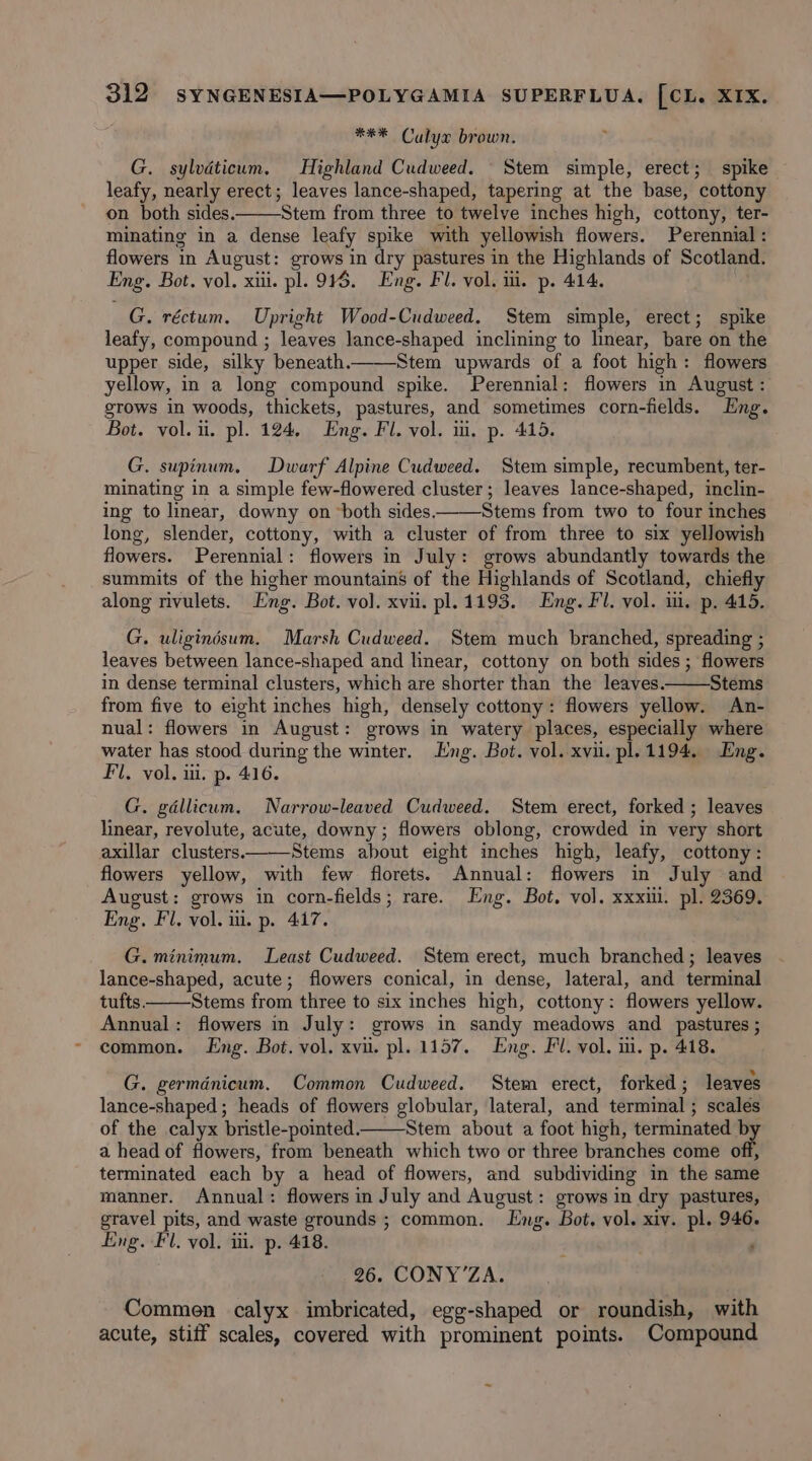 *** Calyx brown. G. sylvdticum. Highland Cudweed. Stem simple, erect; spike leafy, nearly erect; leaves lance-shaped, tapering at the base, cottony on both sides. Stem from three to twelve inches high, cottony, ter- minating in a dense leafy spike with yellowish flowers. Perennial : flowers in August: grows in dry pastures in the Highlands of Scotland. Eng. Bot. vol. xiii. pl. 945. Eng. Fl. vol. iti. p. 414. G. réctum. Upright Wood-Cudweed. Stem simple, erect; spike leafy, compound ; leaves lance-shaped inclining to linear, bare on the upper side, silky beneath_—-Stem upwards of a foot high: flowers yellow, in a long compound spike. Perennial: flowers in August : grows in woods, thickets, pastures, and sometimes corn-fields. Eng. Bot. vol. ii. pl. 124, Eng. Fl. vol. ii. p. 415. G. supinum. Dwarf Alpine Cudweed. Stem simple, recumbent, ter- minating in a simple few-flowered cluster; leaves lance-shaped, inclin- ing to linear, downy on “both sides. Stems from two to four inches long, slender, cottony, with a cluster of from three to six yellowish flowers. Perennial: flowers in July: grows abundantly towards the summits of the higher mountains of the Highlands of Scotland, chiefly along rivulets. Eng. Bot. vol. xvii. pl. 1193. Eng. Fl. vol. i. p, 445. G. uligindsum. Marsh Cudweed. Stem much branched, spreading ; leaves between lance-shaped and linear, cottony on both sides ; flowers in dense terminal clusters, which are shorter than the leaves. Stems from five to eight inches high, densely cottony: flowers yellow. An- nual: flowers in August: grows in watery places, especially where water has stood during the winter. Eng. Bot. vol. xvii. pl. 1194. Eng. Fil, vol. i. p. 416. G. gdllicum. Narrow-leaved Cudweed. Stem erect, forked ; leaves linear, revolute, acute, downy; flowers oblong, crowded in very short axillar clusters. Stems about eight inches high, leafy, cottony: flowers yellow, with few florets. Annual: flowers in July and August: grows in corn-fields; rare. Eng. Bot, vol. xxxii. pl. 2369. Eng. Fl. vol. ui. p. 417. G. minimum. Least Cudweed. Stem erect, much branched; leaves lance-shaped, acute; flowers conical, in dense, lateral, and terminal tufts. Stems from three to six inches high, cottony: flowers yellow. Annual: flowers in July: grows in sandy meadows and _ pastures ; common. Eng. Bot. vol. xvi. pl. 1157, Eng. Fl. vol. i. p. 418. G. germdnicum. Common Cudweed. Stem erect, forked; leaves lance-shaped; heads of flowers globular, lateral, and terminal ; scales of the calyx bristle-pointed. Stem about a foot high, terminated b a head of flowers, from beneath which two or three branches come off, terminated each by a head of flowers, and subdividing in the same manner. Annual: flowers in July and August: grows in dry pastures, gravel pits, and waste grounds; common. Lng. Bot. vol. xiv. pl. 946. Eng. Fl. vol. iii. p. 418. ‘ 26. CONY’ZA. Commen calyx imbricated, egg-shaped or roundish, with acute, stiff scales, covered with prominent points. Compound