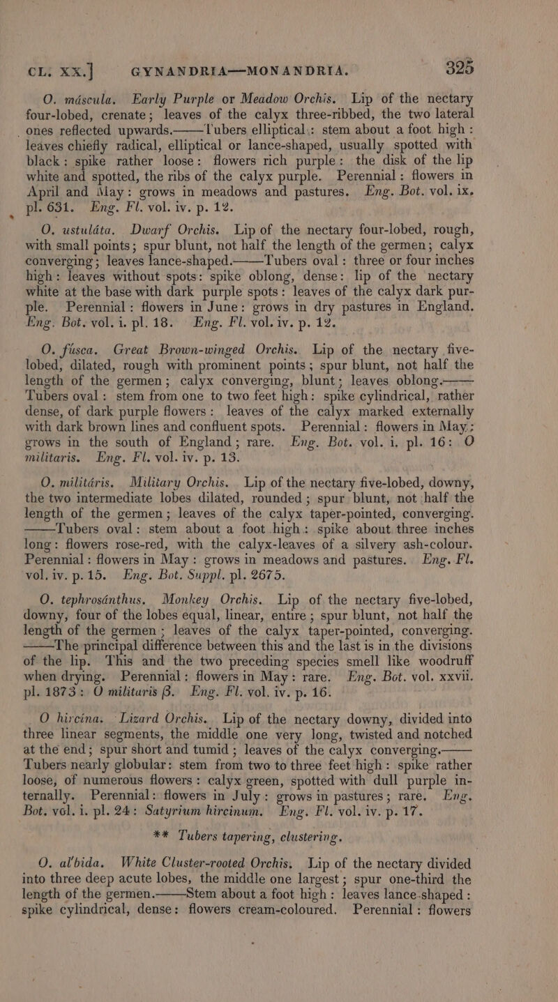 O. mdscula. Early Purple or Meadow Orchis. Lip of the nectary four-lobed, crenate; leaves of the calyx three-ribbed, the two lateral _ ones reflected upwards. Tubers elliptical,: stem about a foot high : leaves chiefly radical, elliptical or lance-shaped, usually spotted with black: spike rather loose: flowers rich purple: the disk of the lip white and spotted, the ribs of the calyx purple. Perennial: flowers in April and May: grows in meadows and pastures. Eng. Bot. vol. 1x. pl. 631. Eng. Fl. vol. iv. p. 12. O. ustuldta. Dwarf Orchis. Lip of the nectary four-lobed, rough, with small points; spur blunt, not half the length of the germen; calyx converging; leaves lance-shaped.—Tubers oval: three or four inches high: leaves without spots: spike oblong, dense: lip of the nectary white at the base with dark purple spots: leaves of the calyx dark pur- ple. Perennial: flowers in June: grows in dry pastures in England. Eng. Bot. vol. i. pl. 18. Eng. Fl. vol. iv. p. 12. O. fusca. Great Brown-winged Orchis. Lip of the nectary five- lobed, dilated, rough with prominent points; spur blunt, not half the length of the germen; calyx converging, blunt; leaves oblong.—— Tubers oval: stem from one to two feet high: spike cylindrical, rather dense, of dark purple flowers: leaves of the calyx marked externally with dark brown lines and confluent spots. Perennial: flowers in May; grows in the south of England; rare. Eng. Bot. vol. i. pl. 16: O militaris. Eng. Fl. vol. iv. p. 13. O, militéris. Military Orchis. _ Lip of the nectary five-lobed, downy, the two intermediate lobes dilated, rounded ; spur blunt, not half the length of the germen; leaves of the calyx taper-pointed, converging. Tubers oval: stem about a foot high: spike about. three inches long: flowers rose-red, with the calyx-leaves of a silvery ash-colour. Perennial : flowers in May: grows in meadows and pastures. Eng. Fl. vol,iv. p.15. Eng. Bot. Suppl. pl. 2675. O. tephrosénthus. Monkey Orchis. Lip of the nectary five-lobed, downy, four of the lobes equal, linear, entire ; spur blunt, not half the length of the germen ; leaves of the calyx taper-pointed, converging. ‘The principal difference between this and the last is in the divisions of the lip. This and the two preceding species smell like woodruff when drying. Perennial: flowersin May: rare. Eng. Bot. vol. xxvii. pl. 1873: O militaris B. Eng. Fl. vol, iv. p. 16. O hircina. ‘Lizard Orchis. Lip of the nectary downy, divided into three linear segments, the middle one very long, twisted and notched at the end; spur short and tumid ; leaves of the calyx converging. Tubers nearly globular: stem from two to three feet high: spike rather loose, of numerous flowers: calyx green, spotted with dull purple in- ternally. Perennial: flowers in July: grows in pastures; rare. Eng, Bot. vel. i. pl. 24: Satyrium hircinum. Eng. Fl. vol. iv. p. 17. ** Tubers tapering, clustering. O. al’bida. White Cluster-rooted Orchis. J.ip of the nectary divided into three deep acute lobes, the middle one largest ; spur one-third the length of the germen. Stem about a foot high: leaves lance-shaped : spike cylindrical, dense: flowers cream-coloured. Perennial: flowers