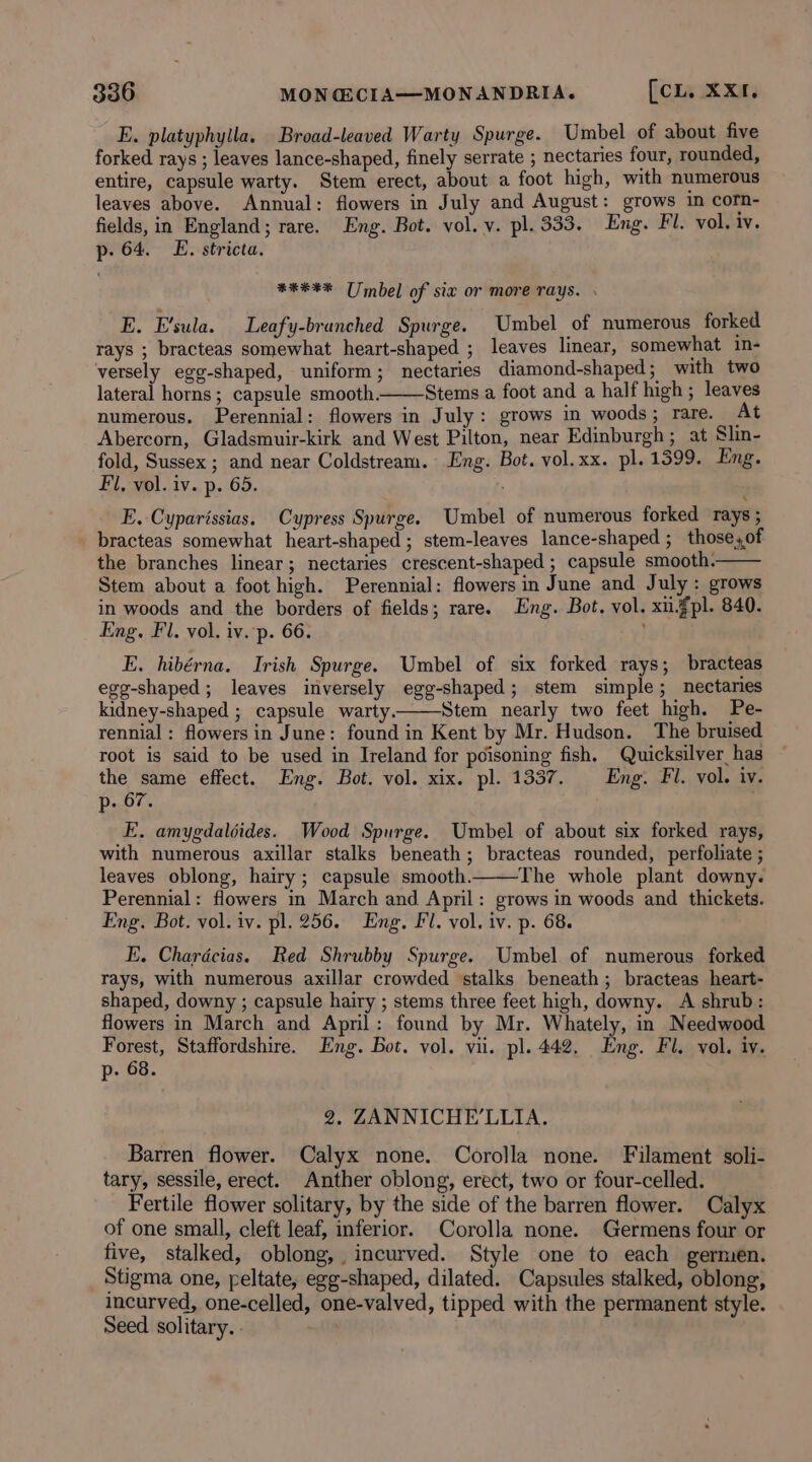 E. platyphylla. Broad-leaved Warty Spurge. Umbel of about five forked rays ; leaves lance-shaped, finely serrate ; nectaries four, rounded, entire, capsule warty. Stem erect, about a foot high, with numerous leaves above. Annual: flowers in July and August: grows in corn- fields, in England; rare. Eng. Bot. vol. v. pl. 333. Eng. Fl. vol. iv. p- 64. E. stricta. ****% Umbel of six or more rays. . E. E’sula. Leafy-branched Spurge. Umbel of numerous forked rays ; bracteas somewhat heart-shaped ; leaves linear, somewhat in- versely egg-shaped, uniform; nectaries diamond-shaped; with two lateral horns; capsule smooth. Stems a foot and a half high ; leaves numerous. Perennial: flowers in July: grows in woods; rare. At Abercorn, Gladsmuir-kirk and West Pilton, near Edinburgh; at Slin- fold, Sussex ; and near Coldstream. Eng. Bot. vol.xx. pl. 1399. Eng. Fl, vol. iv. p. 65. 2 E. Cyparissias. Cypress Spurge. Umbel of numerous forked rays ; bracteas somewhat heart-shaped; stem-leaves lance-shaped ; those, of the branches linear; nectaries crescent-shaped ; capsule smooth. Stem about a foot high. Perennial: flowers in June and July: grows in woods and the borders of fields; rare. Eng. Bot, vol. xu¥pl. 840. Eng. Fl. vol. iv. p. 66. E. hibérna. Irish Spurge. Umbel of six forked rays; bracteas egg-shaped; leaves inversely egg-shaped; stem simple; nectanies kidney-shaped ; capsule warty. Stem nearly two feet high. Pe- rennial: flowers in June: found in Kent by Mr. Hudson. The bruised root is said to be used in Ireland for poisoning fish. Quicksilver has the same effect. Eng. Bot. vol. xix. pl. 1337. Eng. Fl. vol. iv. p- 67. FE. amygdaldides. Wood Spurge. Umbel of about six forked rays, with numerous axillar stalks beneath; bracteas rounded, perfoliate ; leaves oblong, hairy; capsule smooth. The whole plant downy. Perennial: flowers in March and April: grows in woods and thickets. Eng. Bot. vol. iv. pl. 256. Eng. Fl. vol. iv. p. 68. E. Chardcias. Red Shrubby Spurge. Umbel of numerous forked rays, with numerous axillar crowded stalks beneath; bracteas heart- shaped, downy ; capsule hairy ; stems three feet high, downy. A shrub: flowers in March and April: found by Mr. Whately, in Needwood Forest, Staffordshire. Eng. Bot. vol. vii. pl. 442. Eng. Fl, vol. iy. p- 68. 2. ZANNICHE’LLIA. Barren flower. Calyx none. Corolla none. Filament soli- tary, sessile, erect. Anther oblong, erect, two or four-celled. Fertile flower solitary, by the side of the barren flower. Calyx of one small, cleft leaf, inferior. Corolla none. Germens four or five, stalked, oblong, incurved. Style one to each germen. Stigma one, peltate, egg-shaped, dilated. Capsules stalked, oblong, incurved, one-celled, one-valved, tipped with the permanent style. Seed solitary. .