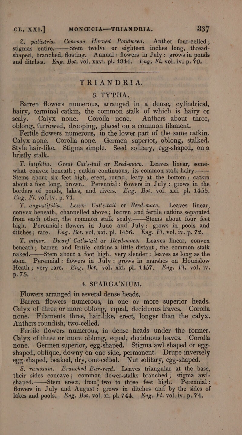 Z. palustris. Common Horned Pondweed. Anther four-celled ; stigmas entire. Stem twelve or eighteen inches long, thread- shaped, branched, floating. Annual: flowers in July: grows in ponds ‘and ditches. Eng. Bot. vol. xxvi. pl. 1844. Eng, Fl. vol. iv. p. 70. TRIANDRIA. 3. TY’PHA. Barren flowers numerous, arranged in a dense, cylindrical, hairy, terminal catkin, the common stalk of which is hairy or scaly. Calyx none. Corolla none. Anthers about three, oblong, furrowed, drooping, placed on a common filament. Fertile flowers numerous, in the lower part of the same catkin. Calyx none. Corolla none. Germen superior, oblong, stalked. Style hair-like. Stigma simple. Seed solitary, egg-shaped, ona bristly stalk. T. latifolia. Great Cat’s-tuil or Reed-mace. Leaves linear, some- what convex beneath; catkin continuous, its common stalk hairy—— Stems about six feet high, erect, round, leafy at the bottom: catkin about a foot long, brown. Perennial: flowers in July : grows in the borders of ponds, lakes, and rivers. Eng. Bot, vol. xxi. pl. 1455. Eng. Fl. vol. iv. p. 71. T. angustifolia. Lesser Cat’s-tail or Reed-mace. Leaves linear, convex beneath, channelled above; barren and fertile catkins separated from each other, the common stalk scaly. Stems about four feet high. Perennial: flowers in June and July: grows in pools and ditches; rare. Eng. Bot. vol. xxi. pl. 1456. Eng. Fl. vol. iv. p. 72. T. minor. Dwarf Cat’s-tail or Reed-mace. Leaves linear, convex beneath; barren and fertile catkins a little distant; the common stalk naked.——Stem about a foot high, very slender: leaves as long as the stem. Perennial: flowers in July: grows in marshes on Hounslow Heath ; very rare. Eng. Bot, vol. xxi. pl. 1457. Eng. Fl. vol. iv. p. 73. 4. SPARGA’NIUM. Flowers arranged in several dense heads, Barren flowers numerous, in one or more superior heads. Calyx of three or more oblong, equal, deciduous leaves. Corolla none. Filaments three, hair-like, erect, longer than the calyx. Anthers roundish, two-celled. Fertile flowers numerous, in dense heads under the former. Calyx of three or more oblong, equal, deciduous leaves. Corolla none. Germen superior, egg-shaped. Stigma awl-shaped or egg- shaped, oblique, downy on one side, permanent. Drupe inversely egg-shaped, beaked, dry, one-celled. Nut solitary, egg-shaped. S. ramésum. Branched Bur-reed. Leaves triangular at the base, their sides concave; common flower-stalks branched ; stigma awl- shaped. Stem erect, from” two to three feet high. Perennial: flowers in July and August: grows in ditches and by the sides of lakes and pools. Eng. Bot. vol. xi. pl. 744. Eng. Fl. vol. iv. p. 74.