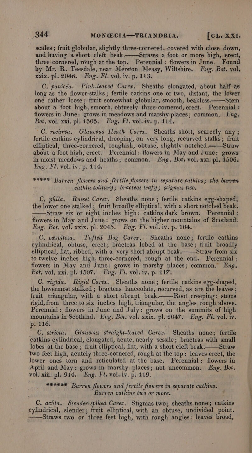 scales ; fruit globular, slightly three-cornered, covered with close down, and having a short cleft beak. Straws a foot or more high, erect, three-cornered, rough at the top. Perennial: flowersin June. Found by Mr. R. Teesdale, near Merston Measy, Wiltshire. Eng. Bot. vol. xxix. pl. 2046. Eng. Fl. vol. iv. p. 113. C. panicéa. Pink-leaved Carex. Sheaths elongated, about half as long as the flower-stalks ; fertile catkins one or two, distant, the lower one rather loose; fruit somewhat globular, smooth, beakless. Stem about a foot high, smooth, obtusely three-cornered, erect. Perennial : flowers in June: grows in meadows and marshy places; common. Eng. Bot. vol. xxi. pl. 1505. Eng. Fl. vol. iv. p. 114. ~C. recturva. Glaucous Heath Carex. Sheaths short, scarcely any ; fertile catkins cylindrical, drooping, on very long, recurved stalks; fruit elliptical, three-cornered, roughish, obtuse, slightly notched. Straw about a foot high, erect. Perennial: flowers in May and June: grows in moist meadows and heaths; common. Eng. Bot. vol. xxi. pl. 1506. Eng. Fl. vol. iv. p. 114. *##** Barren flowers and fertile flowers in separate catkins; the barren catkin solitary ; bracteas leafy; stigmas two. C. pilla. Russet Carer. Sheaths none; fertile catkins egg-shaped, the lower one stalked ; fruit broadly elliptical, with a short notched beak. Straw six or eight inches high: catkins dark brown. Perennial : flowers in May and June: grows on the higher mountains of Scotland. Eng. Bot. vol. xxix. pl. 2045. Eng. Fl. vol. iv. p. 104. C. cespitésa. Tufted Bog Carex. Sheaths none; fertile catkins cylindrical, obtuse, erect; bracteas lobed at the base; fruit broadly elliptical, flat, ribbed, with a very short abrupt beak. Straw from six to twelve inches high, three-cornered, rough at the end. Perennial : flowers in May and June: grows in marshy places; common. Lng. Bot. vol. xxi. pl. 1507. Eng. Fl. vol. iv. p. 117. C. rigida. Rigid Carex, Sheaths none; fertile catkins egg-shaped, the lowermost stalked ; bracteas lanceolate, recurved, as are the leaves; fruit triangular, with a short abrupt beak. Root creeping: stems rigid, from three to six inches high, triangular, the angles rough above. Perennial: flowers in June and July: grows on the summits of high mountains in Scotland. Eng. Bot. vol. xxix. pl. 2047. Eng. Fl. vol. iv. p- 116. _ C, stricta. Glaucous straight-leaved Carex. Sheaths none; fertile catkins cylindrical, elongated, acute, nearly sessile; bracteas with small lobes at the base ; fruit elliptical, flat, with a short cleft beak. Straw two feet high, acutely three-cornered, rough at the top: leaves erect, the lower ones torn and reticulated at the base. Perennial: flowers in April and May: grows in marshy places; not uncommon. Eng. Bot. vol. xii. pl. 914. Eng. Fl. vol. iv. p. 119. *#eEEE Barren flowers and fertile flowers in separate catkins. Barren catkins two or more. C. actita, Slender-spiked Carex. Stigmas two; sheaths none; catkins cylindrical, slender; fruit elliptical, with an obtuse, undivided point. ————Straws two or three feet high, with rough angles: leaves broad,