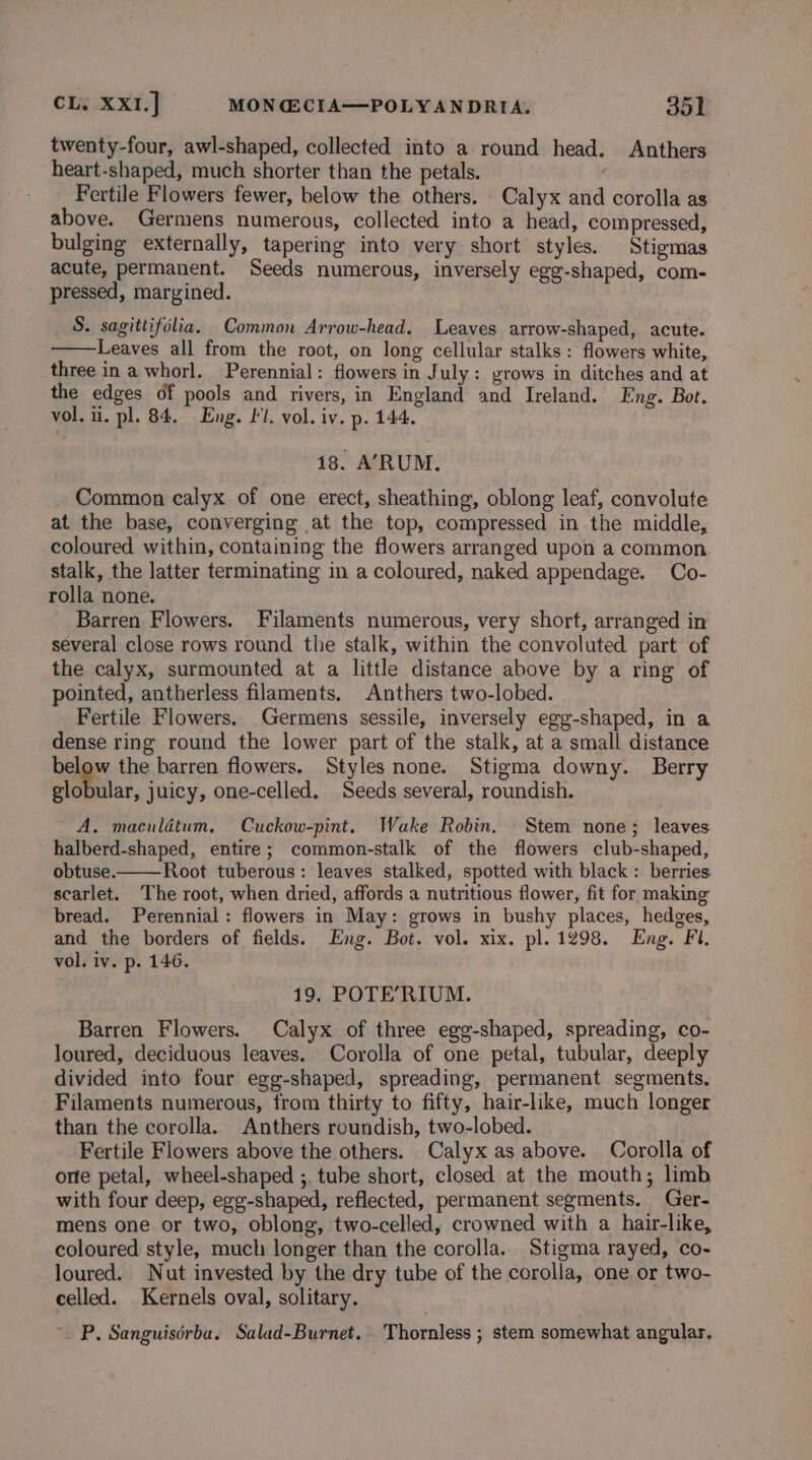 twenty-four, awl-shaped, collected into a round head. Anthers heart-shaped, much shorter than the petals. ’ Fertile Flowers fewer, below the others. Calyx and corolla as above. Germens numerous, collected into a head, compressed, bulging externally, tapering into very short styles, Stigmas acute, permanent. Seeds numerous, inversely egg-shaped, com- pressed, margined. S. sagittifolia, Common Arrow-head. Leaves arrow-shaped, acute. Leaves all from the root, on long cellular stalks : flowers white, three in a whorl. Perennial: flowers in July: grows in ditches and at the edges of pools and rivers, in England and Ireland. Eng. Bot. vol. ii. pl. 84, Eng. £1. vol. iv. p. 144. 18. A’RUM. Common calyx of one erect, sheathing, oblong leaf, convolute at the base, converging at the top, compressed in the middle, coloured within, containing the flowers arranged upon a common stalk, the latter terminating in a coloured, naked appendage. Co- rolla none. Barren Flowers. Filaments numerous, very short, arranged in several close rows round the stalk, within the convoluted part of the calyx, surmounted at a little distance above by a ring of pointed, antherless filaments. Anthers two-lobed. Fertile Flowers. Germens sessile, inversely egg-shaped, in a dense ring round the lower part of the stalk, at a small distance beige the barren flowers. Styles none. Stigma downy. Berry globular, juicy, one-celled. Seeds several, roundish. A, maculdtum. Cuckow-pint. Wake Robin. Stem none; leaves halberd-shaped, entire; common-stalk of the flowers club-shaped, obtuse. Root tuberous: leaves stalked, spotted with black : berries. scarlet. The root, when dried, affords a nutritious flower, fit for making bread. Perennial: flowers in May: grows in bushy places, hedges, and the borders of fields. Eng. Bot. vol. xix. pl. 1298. Eng. Fl. vol. iv. p. 146. 19, POTE’RIUM. Barren Flowers. Calyx of three egg-shaped, spreading, co- loured, deciduous leaves. Corolla of one petal, tubular, deeply divided into four egg-shaped, spreading, permanent segments. Filaments numerous, from thirty to fifty, hair-like, much longer than the corolla. Anthers roundish, two-lobed. Fertile Flowers above the others. Calyx as above. Corolla of one petal, wheel-shaped ;. tube short, closed at the mouth; limb with four deep, egg-shaped, reflected, permanent segments. Ger- mens one or two, oblong, two-celled, crowned with a hair-like, coloured style, much longer than the corolla. Stigma rayed, co- loured. Nut invested by the dry tube of the corolla, one or two- celled. Kernels oval, solitary. _ P, Sanguisérba. Salad-Burnet. Thornless ; stem somewhat angular.