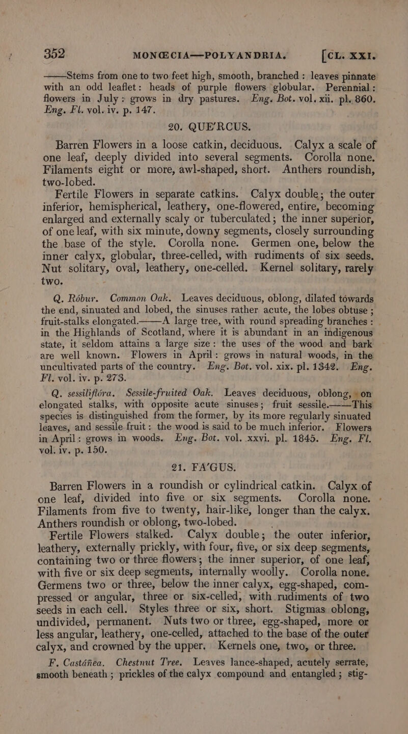 ——Stems from one to two feet high, smooth, branched : leaves pinnate with an odd leaflet: heads of purple flowers globular. Perennial : flowers in July: grows in dry pastures. Eng. Bot. vol. xii. pl. 860. Eng. Fl. vol. iv. p. 147. 20. QUE’RCUS. Barren Flowers in a loose catkin, deciduous. Calyx a scale of one leaf, deeply divided into several segments. Corolla none. Filaments eight or more, awl-shaped, short. Anthers roundish, two-lobed. Fertile Flowers in separate catkins. Calyx double; the outer inferior, hemispherical, leathery, one-flowered, entire, becoming enlarged and externally scaly or tuberculated; the inner superior, of one leaf, with six minute, downy segments, closely surrounding the base of the style. Corolla none. Germen one, below the inner calyx, globular, three-celled, with rudiments of six seeds. Nut solitary, oval, leathery, one-celled. Kernel solitary, rarely two. Q. Rébur. Common Oak. Leaves deciduous, oblong, dilated towards the end, sinuated and lobed, the sinuses rather acute, the lobes obtuse ; fruit-stalks elongated. A large tree, with round spreading branches : | in the Highlands of Scotland, where it is abundant in an indigenous state, it seldom attains a large size: the uses of the wood and bark are well known. Flowers in April: grows in natural woods, in the uncultivated parts of the country. Eng. Bot. vol. xix. pl. 1342. Eng. Fl. vol. iv. p. 273. Q. sessilifléra. Sessile-fruited Oak. Leaves deciduous, oblong, on elongated stalks, with opposite acute sinuses; fruit sessile-——This species is distinguished from the former, by its more regularly sinuated leaves, and sessile fruit: the wood is said to be much inferior. Flowers in April: grows in woods. Eng. Bot. vol. xxvi. pl. 1845. Eng. FI. vol. iv. p. 150. 21. FA’GUS. Barren Flowers in a roundish or cylindrical catkin. _ Calyx of one leaf, divided into five or six segments. Corolla none. - Filaments from five to twenty, hair-like, longer than the calyx, Anthers roundish or oblong, two-lobed. Fertile Flowers stalked. Calyx double; the outer inferior, leathery, externally prickly, with four, five, or six deep segments, containing two or three flowers; the inner superior, of one leaf, with five or six deep segments, internally woolly. Corolla none. Germens two or three, below the inner calyx, egg-shaped, com- pressed or angular, three or six-celled, with rudiments of two seeds in each cell. Styles three or six, short. Stigmas oblong, undivided, permanent. Nuts two or three, egg-shaped, more or less angular, leathery, one-celled, attached to the base of the outer calyx, and crowned by the upper. Kernels one, two, or three. F. Casténea, Chestnut Tree. Leaves lance-shaped, acutely serrate, smooth beneath ; prickles of the calyx compound and entangled; stig-