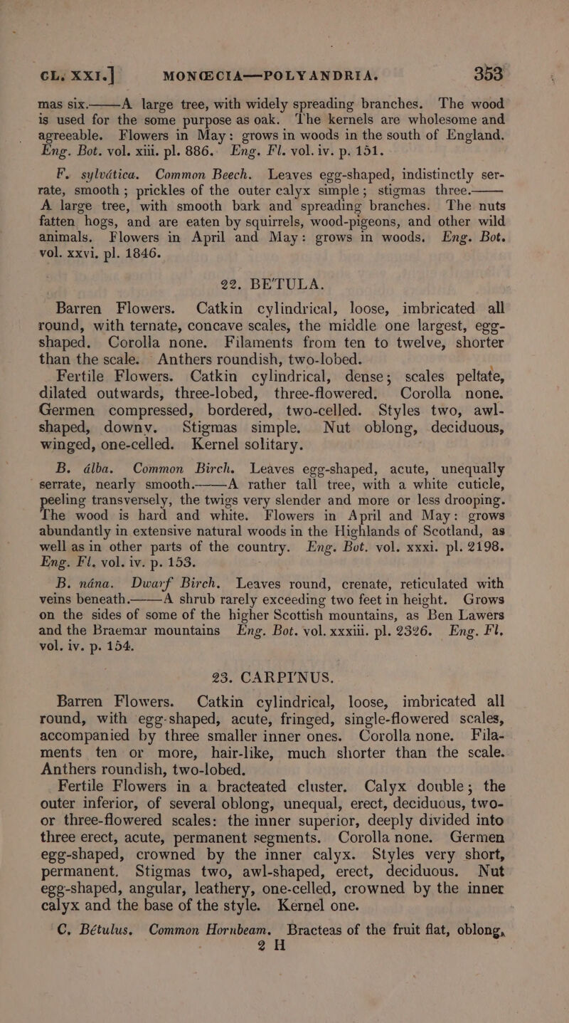 mas Six. A large tree, with widely spreading branches. The wood is used for the some purpose as oak. ‘he kernels are wholesome and agreeable. Flowers in May: grows in woods in the south of England. Eng. Bot. vol. xii. pl. 886.. Eng. Fl. vol. iv. p. 151. F. sylvdtica. Common Beech. Leaves egg-shaped, indistinctly ser- rate, smooth ; prickles of the outer calyx simple; stigmas three. A large tree, with smooth bark and spreading branches. The nuts fatten hogs, and are eaten by squirrels, wood-pigeons, and other wild animals. Flowers in April and May: grows in woods. Eng. Bot. vol. xxvi. pl. 1846. 22. BE’'TULA. Barren Flowers. Catkin cylindrical, loose, imbricated all round, with ternate, concave scales, the middle one largest, egg- shaped. Corolla none. Filaments from ten to twelve, shorter than the scale. Anthers roundish, two-lobed. Fertile Flowers. Catkin cylindrical, dense; scales peltate, dilated outwards, three-lobed, three-flowered. Corolla none. Germen compressed, bordered, two-celled. Styles two, awl- shaped, downy. Stigmas simple. Nut oblong, deciduous, winged, one-celled. Kernel solitary. B. dlba. Common Birch. Leaves egg-shaped, acute, unequally serrate, nearly smooth.——A rather tall tree, with a white cuticle, peeling transversely, the twigs very slender and more or less drooping. The wood is hard and white. Flowers in April and May: grows abundantly in extensive natural woods in the Highlands of Scotland, as well as in other parts of the country. Eng. Bot. vol. xxxi. pl. 2198. Eng. Fi. vol. iv. p. 153. B. néna. Dwarf Birch. Leaves round, crenate, reticulated with veins beneath.——A shrub rarely exceeding two feet in height. Grows on the sides of some of the higher Scottish mountains, as Ben Lawers and the Braemar mountains Eng. Bot. vol. xxxiii. pl. 2326. Eng. Fl, vol. iv. p. 154. 23. CARPI'NUS. Barren Flowers. Catkin cylindrical, loose, imbricated all round, with egg-shaped, acute, fringed, single-flowered scales, accompanied by three smaller inner ones. Corolla none. Fila- ments ten or more, hair-like, much shorter than the scale. Anthers roundish, two-lobed. Fertile Flowers in a bracteated cluster. Calyx double; the outer inferior, of several oblong, unequal, erect, deciduous, two- or three-flowered scales: the inner superior, deeply divided into three erect, acute, permanent segments. Corollanone. Germen egg-shaped, crowned by the inner calyx. Styles very short, permanent. Stigmas two, awl-shaped, erect, deciduous. Nut egg-shaped, angular, leathery, one-celled, crowned by the inner calyx and the base of the style. Kernel one. C, Bétulus. Common Hornbeam. Bracteas of the fruit flat, oblong, 2H