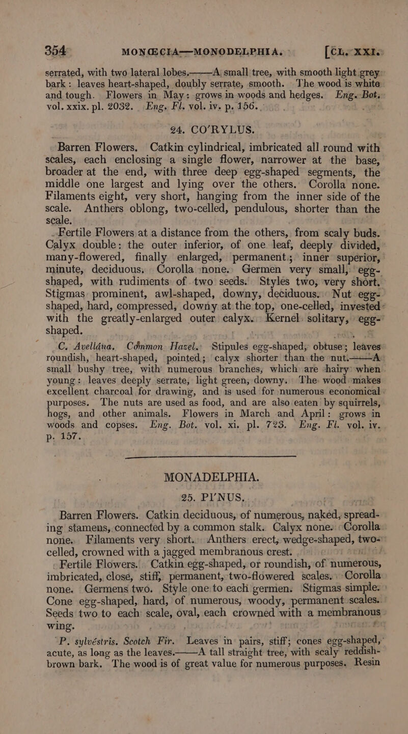 304 MONG CLA—MONODELPHIA. [Che XxXIe serrated, with two lateral lobes. A; small tree, with smooth light grey: bark : leaves heart-shaped, doubly serrate, smooth. The wood is white and tough. Flowers in. May: grows in woods and hedges. Eng. Bot, vol, xxix. pl. 2032. Eng. Fl. vol. iv. p. 156.) om 24. CO’RYLUS. Barren Flowers. Catkin cylindrical, imbricated all round with scales, each enclosing a single flower, narrower at the base, broader at the end, with three deep egg-shaped segments, the middle one largest and lying over the others. Corolla none. Filaments eight, very short, hanging from the inner side of the oy Anthers oblong, two-celled, pendulous, shorter than the scale. Fertile Flowers at a distance from the others, from scaly buds. Calyx double: the outer inferior, of one leaf, deeply divided, many-flowered, finally enlarged, permanent.; inner superior, minute, deciduous, Corolla none.. Germen very small, ege- shaped, with rudiments of two seeds. Styles two, very short. Stigmas: prominent, awl-shaped, downy, deciduous. Nut: egg shaped, hard, compressed, downy atithe top, one-celled, invested: with the greatly-enlarged outer calyx. Kernel: solitary, egg-' shaped. ; : C. Avelléna, Common. Hazel.. Stipules egg-shaped, obtuse; leaves roundish, heart-shaped, pointed; calyx shorter than the nuti——A small bushy tree, with’ numerous branches, which are -hairy&gt; when - young: leaves deeply serrate, light green; downy. | The: wood ‘makes excellent charcoal for drawing, and is used for numerous economical purposes. The nuts are used as food, and are also eaten by squirrels, hogs, and other animals. Flowers in March and April: grows in woods and copses. ling. Bot. vol. xi. pl. 723. Eng. Fl. vol. iv. Ube? SY ae MONADELPHIA. 25. PI’NUS, Barren Flowers. Catkin deciduous, of numerous, naked, spread- ing stamens, connected by a common stalk. Calyx none. Corolla. none. Filaments very short... Anthers erect; wedge-shaped, two- celled, crowned with a jagged membranous crest. sew Sed Fertile Flowers. Catkin egg-shaped, or roundish, of numerous, imbricated, close, stiff, permanent, two-flowered scales. Corolla none. Germens two. Style one:to each germen. Stigmas simple: | Cone egg-shaped, hard, of numerous, woody, permanent scales.. Seeds two to each: scale, oval, each crowned with a membranous wing. ; reer x “P. sylvéstris. Scotch Fir. Leaves in: pairs, stiff; cones egg-shaped,’ acute, as leng as the leaves. A tall straight tree, with scaly reddish- brown bark. The wood is of great value for numerous purposes. Resin