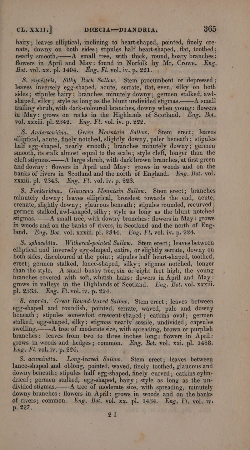 hairy; leaves elliptical, inclining to heart-shaped, pointed, finely cre- nate, downy on both sides; stipules half heart-shaped, flat, toothed ; nearly smooth, A small tree, with thick, round, hoary branches: flowers in Apnl and May: found in Norfolk by Mr, Crowe. -Eng. Bot. vol. xx. pl. 1404. Eng. Fi. vol. iv. p. 221. S. rupéstris. Silky Rock Sallow. Stem procumbent or depressed ; leaves inversely egg-shaped, acute, serrate, flat, even, silky on both sides ; stipules hairy; branches minutely downy; germen stalked, awl- shaped, silky ; style as long as the blunt undivided stigmas, A small trailing shrub, with dark-coloured branches, downy when young: flowers m ‘May: grows on rocks in the Highlands of Scotland.. Eng. Bot. vol. xxxiii. pl. 2342. Eng. Fl. vol. iv. p. 222. S. Andersonidna. Green Mountain Sallow. Stem erect; leaves elliptical, acute, finely notched, slightly downy, paler beneath ; stipules half egg-shaped, nearly smooth; branches minutely downy; germen smooth, its. stalk almost equal to the scale; style cleft, longer than the cleft stigmas. A large shrub, with dark brown branches, at first green and downy: flowers in April and May: grows in woods and on the banks of rivers in Scotland and the north of England. Eng. Bot. vol. xxxil. pl. 2343. Eng. Fl. vol. iv. p. 223. S. Forsteriéna. Glaucous Mountain Sallow. Stem erect; branches minutely downy ; leaves elliptical, broadest towards the end, acute, crenate, slightly downy; glaucous beneath; stipules rounded, recurved ; germen stalked, awl-shaped, silky ; style as long as the blunt notched stigmas. A small tree, with downy branches: flowers in May: grows in woods and on the banks of rivers, in Scotland and the north of Eng- land. Eng. Bot. vol. xxxiil. pl. 2344. Eng. Fl. vol. iv. p. 224. S. sphaceldta. Withered-pointed Sallow. Stem erect; leaves between elliptical and inversely egg-shaped, entire, or slightly serrate, downy on _ both sides, discoloured at the point; stipules half heart-shaped, toothed, erect; germen stalked, lance-shaped, silky; stigmas notched, longer than the style. A small bushy tree, six or eight feet high, the young branches covered with soft, whitish hairs: flowers in April and May : grows in valleys in the Highlands of Scotland. Eng. Bot. vol. xxx. pl. 2333. Eng. Fl. vol. iv. p. 224. S. capréa. Great Round-leaved Sallow. Stem erect; leaves between égg-shaped and roundish, pointed, serrate, waved, pale and downy beneath ; stipules somewhat crescent-shaped ; catkins oval; germen stalked, egg-shaped, silky; stigmas nearly sessile, undivided; capsules swelling.——A tree of moderate size, with spreading, brown or purplish branches: leaves from two to three inches long: flowers in April: grows in woods and hedges; common. Eng. Bot. vol, xxi. pl. 1488. Eng. Fl. vol. iv. p. 226. S. acumindta. Long-leaved Sallow. Stem erect; leaves between lance-shaped and oblong, pointed, waved, finely toothed, glaucous and downy beneath; stipules half egg-shaped, finely curved; catkins cylin- drical ; germen stalked, egg-shaped, hairy ; style as long as the un- divided stigmas. A tree of moderate size, with spreading, minutely downy branches: flowers in April: grows in woods and on the banks of rivers; common. Eng, Bot. vol. xx. pl. 1434. Eng, Fl, vol. ive p- 227. 21