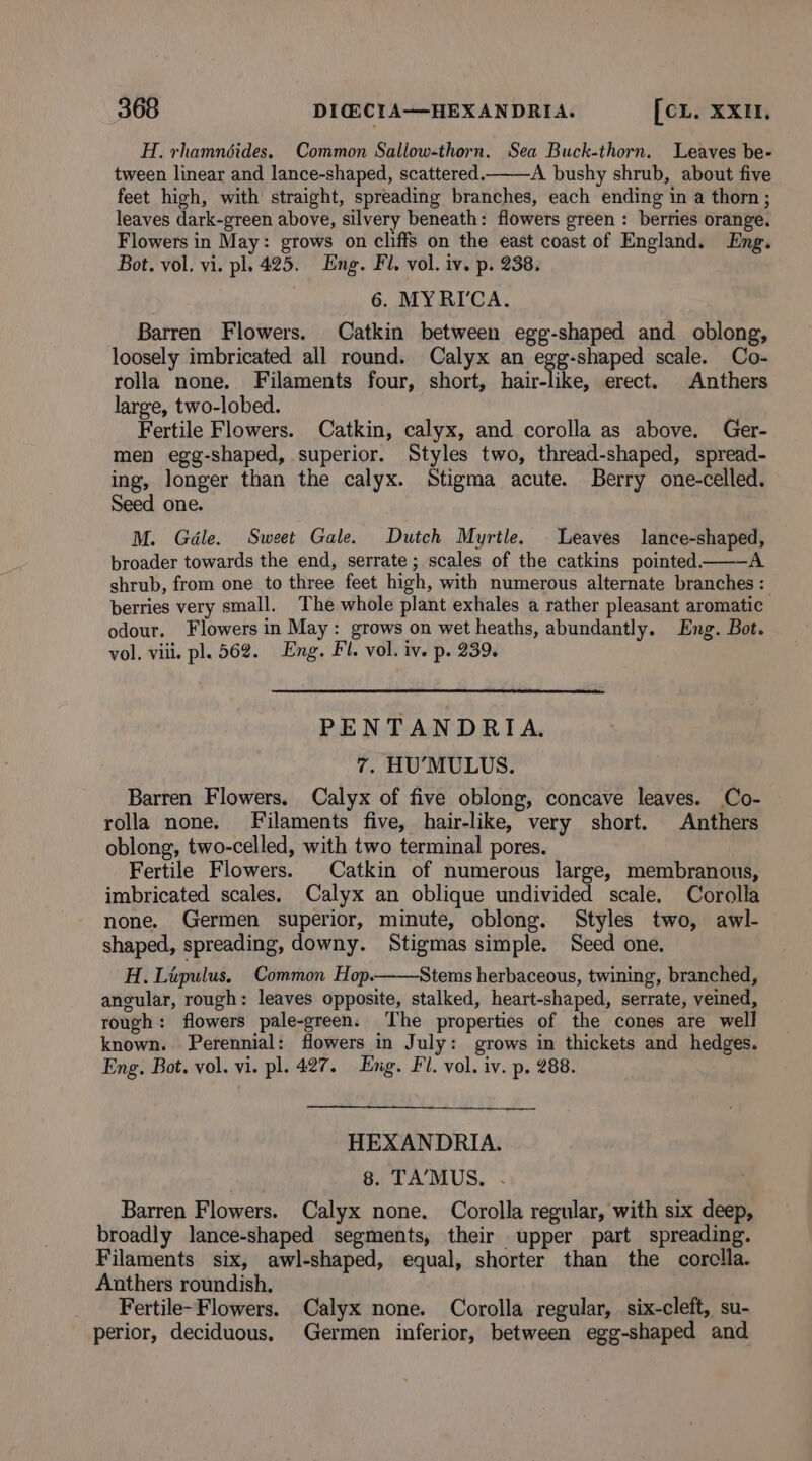 H. rhamnéides, Common Sallow-thorn. Sea Buck-thorn. Leaves be- tween linear and lance-shaped, scattered. A bushy shrub, about five feet high, with straight, spreading branches, each ending in a thorn ; leaves dark-green above, silvery beneath: flowers green : berries orange. Flowers in May: grows on cliffs on the east coast of England. Eng. Bot. vol. vi. pl. 425. Eng. Fi. vol. iv. p. 238. 6. MYRI'CA. Barren Flowers. Catkin between egg-shaped and oblong, loosely imbricated all round. Calyx an egg-shaped scale. Co- rolla none. Filaments four, short, hair-like, erect. Anthers large, two-lobed. Fertile Flowers. Catkin, calyx, and corolla as above. Ger- men egg-shaped, superior. Styles two, thread-shaped, spread- ing, longer than the calyx. Stigma acute. Berry one-celled. Seed one. M. Géle. Sweet Gale. Dutch Myrtle. Leaves lance-shaped, broader towards the end, serrate; scales of the catkins pointed. A shrub, from one to three feet high, with numerous alternate branches: berries very small. The whole plant exhales a rather pleasant aromatic odour. Flowers in May: grows on wet heaths, abundantly. Eng. Bot. vol. vili. pl. 562. Eng. Fl. vol. iv. p. 239. PENTANDRIA. 7. HU’MULUS. Barren Flowers. Calyx of five oblong, concave leaves. Co- rolla none, Filaments five, hair-like, very short. Anthers oblong, two-celled, with two terminal pores. Fertile Flowers. Catkin of numerous large, membranous, imbricated scales. Calyx an oblique undivided scale, Corolla none. Germen superior, minute, oblong. Styles two, awl- shaped, spreading, downy. Stigmas simple. Seed one. H. Lipulus, Common Hop. Stems herbaceous, twining, branched, angular, rough: leaves opposite, stalked, heart-shaped, serrate, veined, rough: flowers pale-green. The properties of the cones are well known. Perennial: flowers in July: grows in thickets and hedges. Eng. Bot. vol. vi. pl. 427. Eng. Fl. vol. iv. p. 288. HEXANDRIA. 8. TA’MUS, . Barren Flowers. Calyx none. Corolla regular, with six deep, broadly lance-shaped segments, their upper part spreading. Filaments six, awl-shaped, equal, shorter than the corclla. Anthers roundish. Fertile-Flowers. Calyx none. Corolla regular, six-cleft, su- perior, deciduous. Germen inferior, between egg-shaped and