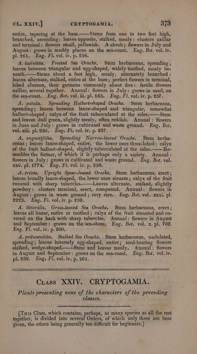 entire, tapering at the base. Stems from one to two feet high, branched, ascending: leaves opposite, stalked, mealy: clusters axillar . and terminal; flowers small, yellowish. A shrub; flowers in July and August: grows in muddy places on the sea-coast. Eng. Bot. vol. iv. pl. 261. Eng. Fl. vol. iv. p. 256. A. lacinitta. Frosted Sea Orache. Stem herbaceous, spreading ; leaves between triangular and egg-shaped, widely toothed, mealy be- neath. Stems about a foot high, mealy, alternately branched : leaves alternate, stalked, entire at the base; perfect flowers in terminal, lobed clusters, their germens commonly about five: fertile flowers axillar, several together. Annual: flowers in July: grows in sand, on the sea-coast. Eng. Bot. vol. ii. pl.165. Eng. Fl. vol. iv. p. 257. A. pdtula. Spreading Halbert-shaped Orache. Stem herbaceous, spreading; leaves between lance-shaped and triangular, somewhat halbert-shaped ; calyx of the fruit tuberculated at the sides. Stem and leaves dull green, slightly mealy, often reddish. Annual : flowers in June and July: grows in cultivated and waste ground. Eng. Bot. vol. xii. pl. 936. Eng. Fl, vol. iv. p. 257. A. angustifolia. Spreading Narrow-leaved Orache. Stem herba- ceous ; leaves lance-shaped, entire, the lower ones three-lobed: calyx of the fruit halbert-shaped, slightly tuberculated at the sides. Re- sembles the former, of which it is perhaps only a variety. Annual: flowers in July: grows in cultivated and waste ground. Eng. Bot. vol. xxv. pl. 1774. Eng. Fl. vol. iv. p. 259. A.erécta, Upright Spear-leaved Orache. Stem herbaceous, erect ; leaves broadly lance-shaped, the lower ones sinuate; calyx of the fruit covered with sharp tubercles. Leaves alternate, stalked, slightly powdery: clusters terminal, erect, compound. Annual: flowers in August: grows in waste ground; very rare. Eng. Bot. vol. xxxi, pl. 2223. Eng. Fl. vol. iv. p. 259. A, litiordlis. Grass-leaved Sea Orache, Stem herbaceous, erect ; leaves all linear, entire or toothed ; calyx of the fruit sinuated and co- . vered on the back with sharp tubercles. Annual: flowers in August and September: grows on the sea-shore. Eng. Bot. vol. x. pl. 708. Eng. Fl. vol. iv. p. 260. A, pedunculdta. Stalked Sea Orache. . Stem herbaceous, undulated, spreading ; leaves inversely egg-shaped, entire; seed-bearing flowers stalked, wedge-shaped. Stem and leaves mealy. Annual: flowers in August and September: grows on the sea-coast. Eng. Bot. vol. iv. pl. 232. Eng. Fl. vol. iv. p. 261. Curass XXIV. CRYPTOGAMIA. Plants presenting none of the characters of the preceding © . classes. [Turis Class, which contains, perhaps, as many species as all the rest together, is divided into several Orders, of which only three are here given, the others being generally too difficult for beginners. ]