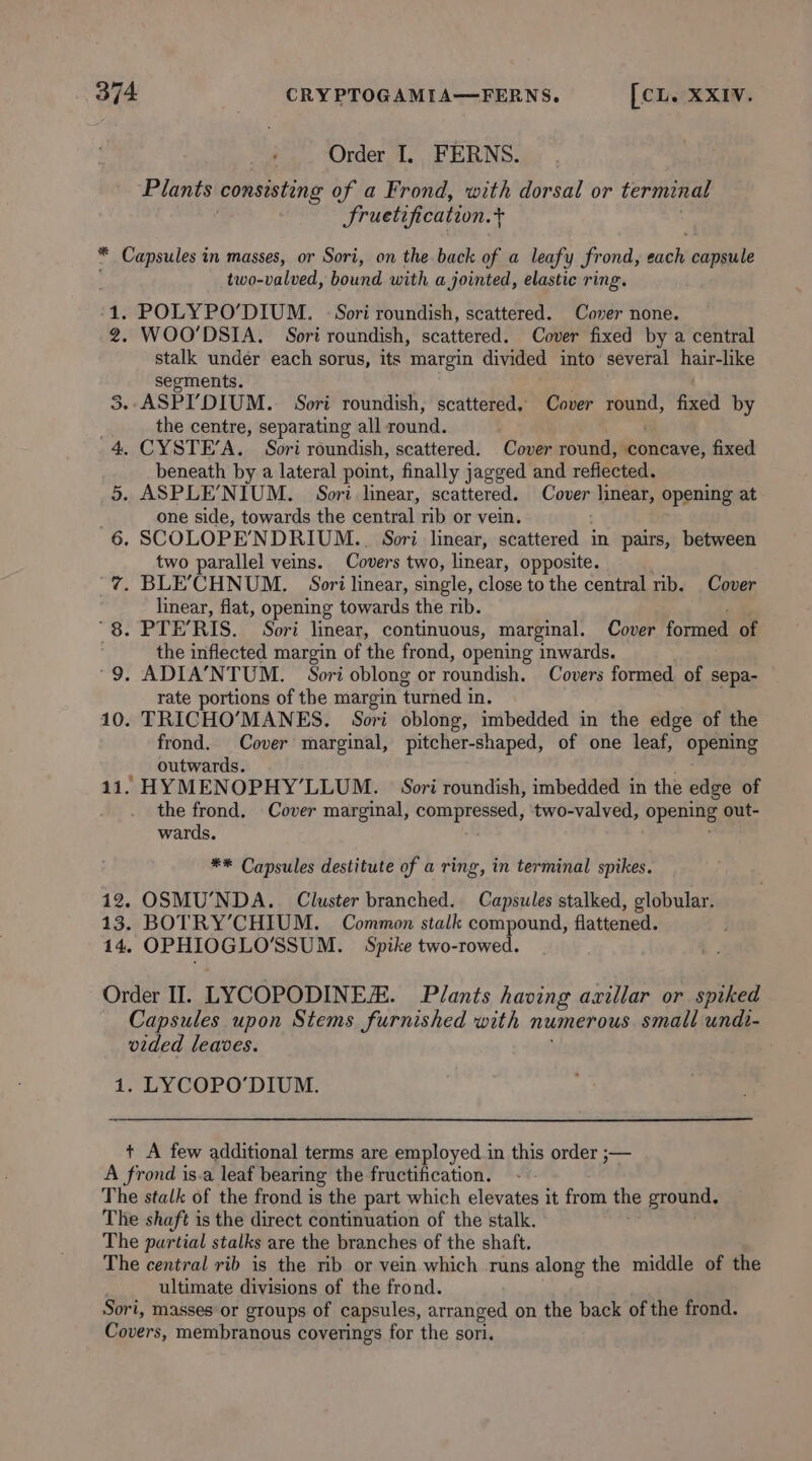 *% cS 11. Order I. FERNS. Plants consisting of a Frond, with dorsal or terminal fruetification. . * Capsules in masses, or Sori, on the back of a leafy frond, a capsule two-valved, bound with a jointed, elastic ring. WOO’DSIA. Sori roundish, scattered. Cover fixed by a central stalk under each sorus, its margin divided into several hair-like segments. . ASPI’DIUM.. Sori roundish, scattered, Cover round, ptt by the centre, separating all round. . CYSTE’A. Sori roundish, scattered. Cover round, concave, fixed beneath by a lateral point, finally jagged and reflected. . ASPLE’NIUM. Sori linear, scattered. Cover linear, opening at one side, towards the central rib or vein. SCOLOPENDRIUM.. Sori linear, scattered in pairs, between two parallel veins. Covers two, linear, opposite. . BLE’CHNUM. Sori linear, single, close to the central rib. Cover linear, flat, opening towards the rib. - PTE’RIS. Sori linear, continuous, marginal. Cover formed of the inflected margin of the frond, opening inwards. . ADIA’NTUM. Sori oblong or roundish. Covers formed of sepa- rate portions of the margin ‘turned in. . TRICHO’MANES. Sori oblong, imbedded in the edge of the frond. Cover marginal, pitcher-shaped, of one leaf, opening outwards. ‘HYMENOPHY’LLUM. | Sori roundish, imbedded in the edge of the frond, Cover marginal, compressed, two-valved, opening out- wards. ** Capsules destitute of a ring, in terminal spikes. OSMU’NDA.. Cluster branched. Capsules stalked, globular. BOTRY’CHIUM. Common stalk compound, flattened. Capsules upon Stems furnished with numerous small undi- vided leaves. LYCOPO'DIUM. ultimate divisions of the frond.