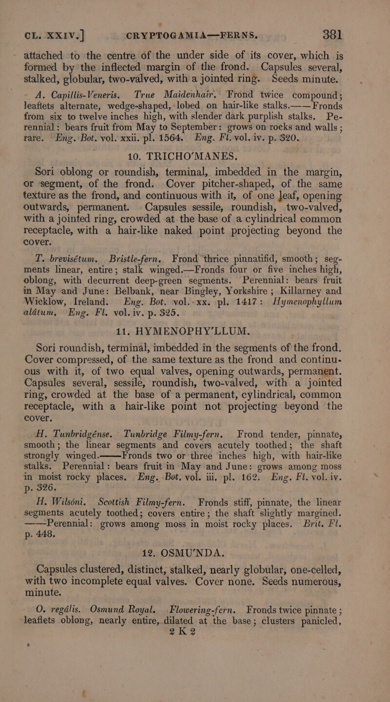 - attached to ‘the centre ofthe under side of its cover, which is formed by the inflected margin of the frond. Capsules several, stalked, globular, two-valved, with a jointed ring. Seeds minute. A. Capillis-Veneris. True Maidenhair, Frond twice compound; leaflets alternate, wedge-shaped, lobed on hair-like stalks.—— Fronds from six to twelve inches high, with slender dark purplish stalks. Pe- rennial: bears fruit from May to September: grows on rocks and walls ; rare. Eng. Bot. vol. xxii. pl. 1564. Eng. Fl. vol. iv. p. 320. 10. TRICHO’MANES. Sori oblong or roundish, terminal, imbedded in the margin, or ‘segment, of the frond. Cover pitcher-shaped, of the same texture as the frond, and continuous with it, of one leaf, opening outwards, permanent. Capsules sessile, roundish, two-valved, with a jointed ring, crowded at the base of a cylindrical common receptacle, with a hair-like naked point projecting beyond the cover. T. brevisétum. Bristle-fern. Frond thrice pinnatifid, smooth; seg- ments linear, entire; stalk winged.—Fronds four or five inches high, oblong, with decurrent deep-green segments. Perennial: bears fruit in May and June: Belbank, near Bingley, Yorkshire ; Killarney and Wicklow, Ireland. Eng. Bot. vol.-xx. pl. 1417: Hymenophyllum aldtum, Eng. Fl. vol. iv. p. 325. 11. HYMENOPHY’LLUM. Sori roundish, terminal, imbedded in the segments of the frond. Cover compressed, of the same texture as the frond and continu- ous with it, of two equal valves, opening outwards, permanent. Capsules several, sessile, roundish, two-valved, with a jointed ring, crowded at the base of a permanent, cylindrical, common receptacle, with a hair-like point not projecting beyond the cover. H. Tunbridgénse. Tunbridge Filmy-fern. Frond tender, pinnate, smooth; the linear segments and covers acutely toothed; the shaft strongly winged. Fronds two or three inches high, with hair-like stalks. Perennial: bears fruit in May and June: grows among moss in moist rocky places. Eng. Bot, vol. iii, pl. 162. Eng. Fl. vol. iv. p. 326 H, Wilséni. Scottish Filmy-fern. Fronds stiff, pinnate, the linear segments acutely toothed; covers entire; the shaft slightly margined. ——Perennial: grows among moss in moist rocky places. Brit. Fl. p. 448. 12. OSMU’NDA. Capsules clustered, distinct, stalked, nearly globular, one-celled, with two incomplete equal valves. Cover none. Seeds numerous, minute. O. regdlis. Osmund Royal. Flowering-fern. Fronds twice pinnate ; leaflets oblong, nearly entire, dilated at the base; clusters panicled, 2K 2 a