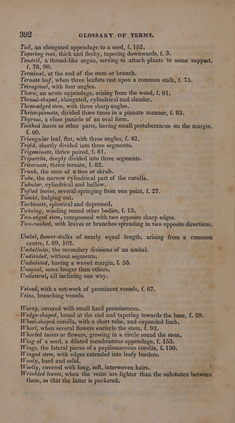 Tail, an elongated appendage to a seed, f. 152. Tapering root, thick and fleshy, tapering downwards, f. 3. Tendril, a thread-like organ, serving to attach plants to some suppart, £.3F8590. Terminal, at the end of the stem or branch. Ternate leaf, when three leaflets rest upon a common stalk, f. 75. Tetragonal, with four angles. Thorn, an acute appendage, arising from the wood, f. 91. Thread-shaped, elongated, cylindrical and slender. Three-edged stem, with three sharp angles. Thrice-pinnate, divided three times in a pinnate manner, f. 83. Thyrsus, a close panicle of an oval form. Toothed leaves or other parts, having small protuberances on the margin, f. 60. Triangular leaf, flat, with three angles, f. 42. Trifid, shortly divided into three segments. Trigeminate, thrice paired, f. 81. Tripartite, deeply divided into three segments. Triternate, thrice ternate, f. 82. Trunk, the stem of a tree or shrub. Tube, the narrow cylindrical part of the corolla. Tubular, cylindrical and hollow. Tufted leaves,.several springing from one point, f. 27. Tumid, bulging out. Turbinate, spherical and depressed. Twining, winding round other bodies, f. 13. Two-edged stem, compressed with two opposite sharp edges. Two-ranked, with leaves or branches spreading in two opposite directions. Umbel, flower-stalks of nearly equal length, arising from a common centre, f. 89, 102. Umbellules, the secondary divisions of an umbel. Undivided, without segments. Undulated, having a waved margin, f. 55. Unequal, some longer than others. Unilateral, all inclining one way. Veined, with a net-work of prominent vessels, f. 67. Veins, branching vessels. Warty, covered with small hard prominences. _ Wedge-shaped, broad at the end and tapering towards the base, f. 29. Wheel-shaped. corolla, with a short tube, and expanded limb. Whorl, when several flowers encircle the stem, f. 93. Whorled leaves or flowers, growing in a circle round the stem. Wing of a seed, a dilated membranous appendage, f. 153. Wings, the lateral pieces of a papilionaceous corolla, f. 130. Winged stem, with edges extended into leafy borders. Woody, hard and solid, ‘Woolly, covered with long, soft, interwoven hairs. * Wrinkled leaves, when the veins are lighter than the substance between them, so that the latter is puckered.