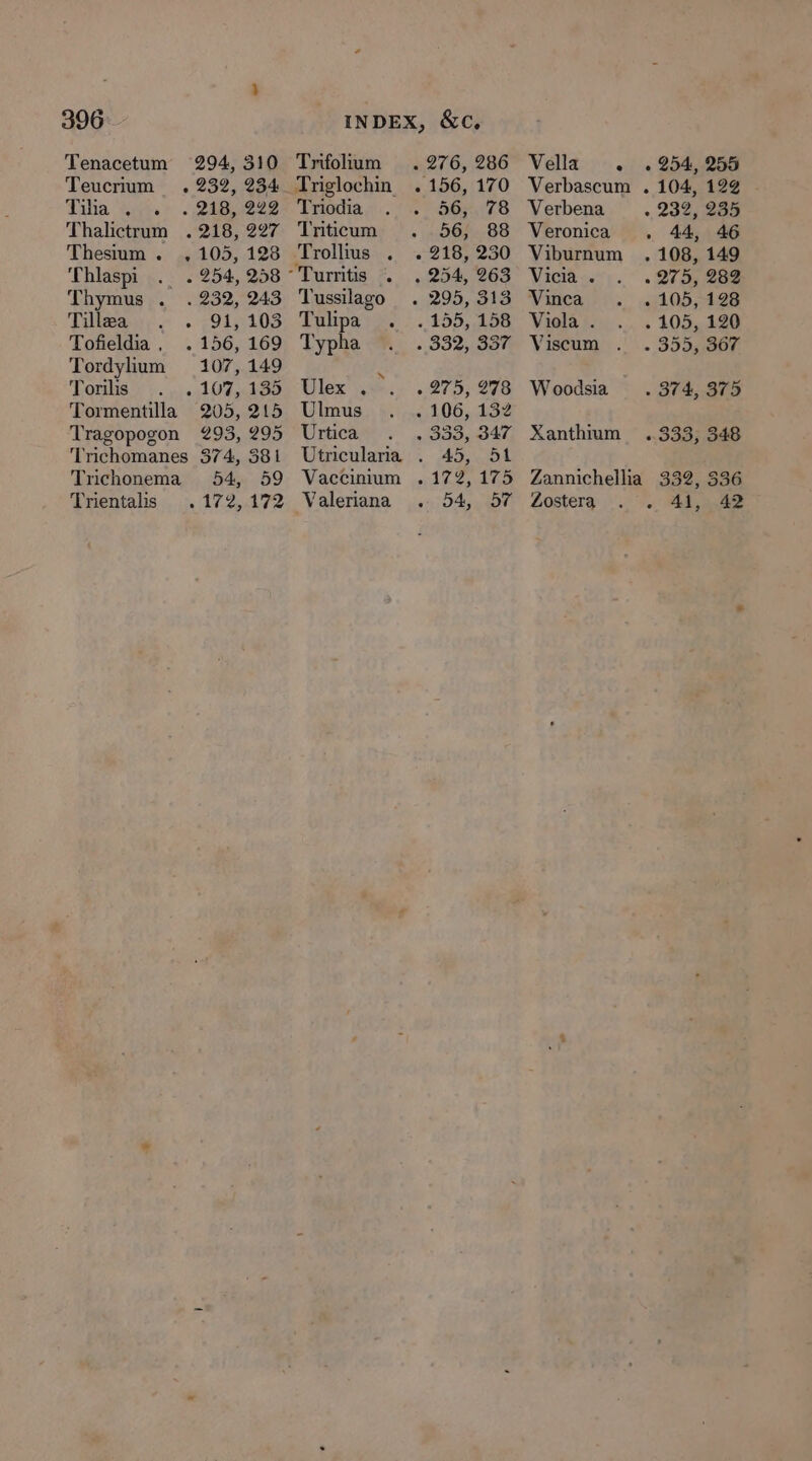 Tenacetum 294, 310 Teucrium , 232, 234 Taha Seis» S2ER S227 Thalictrum . 218, 227 Thestum. , 105, 128 Thlaspi . . 254, 258 Thymus . . 232, 243 Tillea . . 91,103 Tofieldia, . 156, 169 Tordylium 107, 149 Torilis onl UF sed Tormentilla 205, 215 Tragopogon 293, 295 Trichomanes 374, 381 Trichonema 54, 59 Trientalis .172, 172 Trifolium . 276, 286 Triglochin. . 156, 170 Triodia 56, 78 Triticum 56, 88 Trollius . . 218, 230 “Turritis . . 254, 263 Tussilago . 295, 313 Tangata |. 155, 158 Typha «Boe on Ulex . &gt;. . 275, 278 Ulmus . 106, 132 Urtica - 333, 347 Utricularia . 45, 51 Vaccinium . 172,175 Valeriana 545 3De Vella e + 954, 255 Verbascum . 104, 122 Verbena - 232, 245 Veronica ., 44, 46 Viburnum . 108, 149 Vicia . . 275, 282 Vinca . 105, 128 Viola . . 105, 120 Viscum . . 355, 367 Woodsia . 374, 375 Xanthium .333, 348 Zannichellia 332, 336 Zostera 41, 42