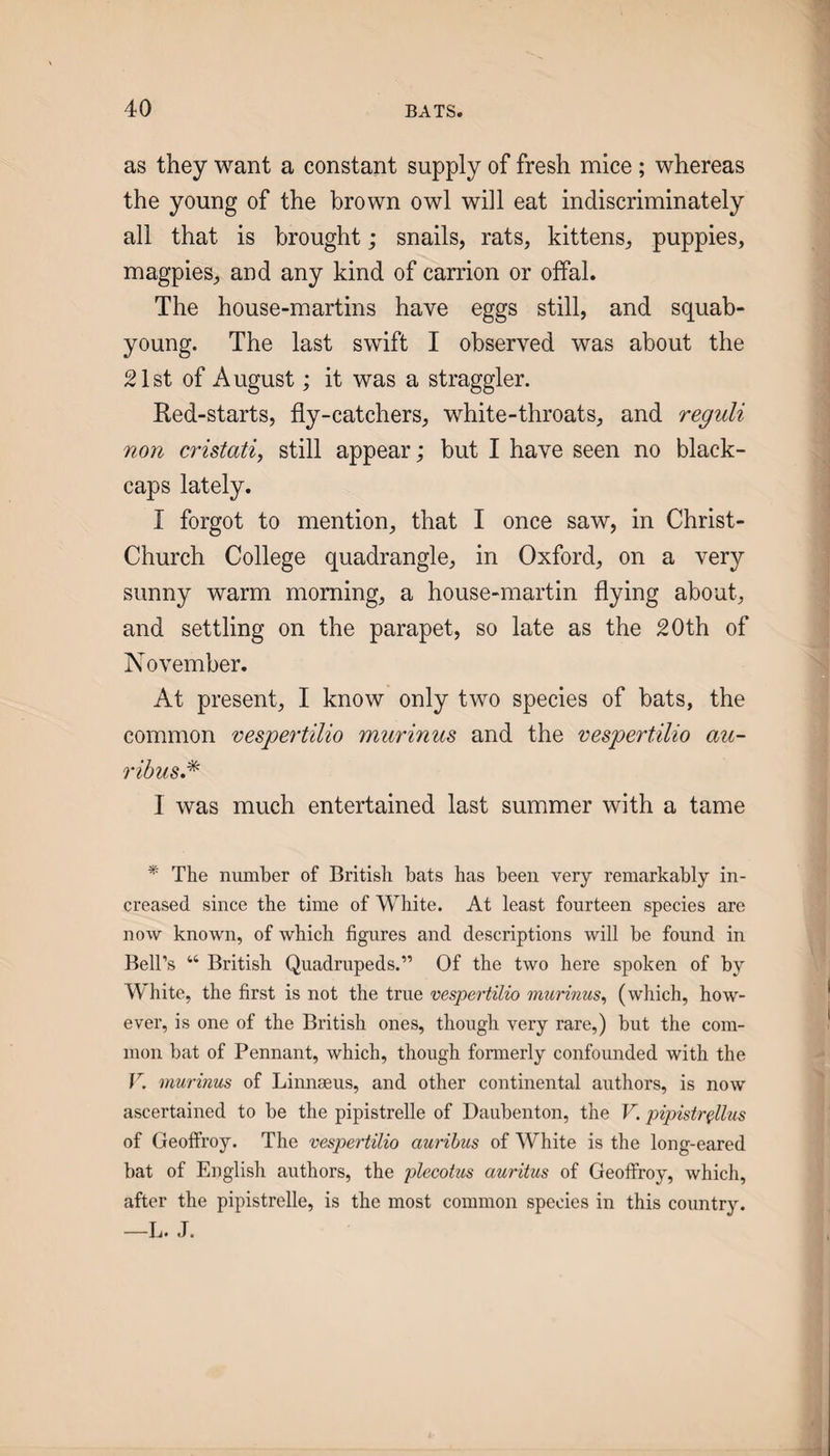 as they want a constant supply of fresh mice; whereas the young of the brown owl will eat indiscriminately all that is brought; snails, rats, kittens, puppies, magpies, and any kind of carrion or offal. The house-martins have eggs still, and squab- young. The last swift I observed was about the 21st of August; it was a straggler. Ked-starts, fly-catchers, white-throats, and reguli non cristati, still appear; but I have seen no black¬ caps lately. I forgot to mention, that I once saw, in Christ- Church College quadrangle, in Oxford, on a very sunny warm morning, a house-martin flying about, and settling on the parapet, so late as the 20th of November. At present, I know only two species of bats, the common 'oespertilio murinus and the vespertUio au- 7'ibus.* I was much entertained last summer with a tame * The number of Britisli bats has been very remarkably in¬ creased since the time of White. At least fourteen species are now known, of which figures and descriptions will be found in Bell’s “ British Quadrupeds.” Of the two here spoken of by White, the first is not the true vespertUio murinus^ (which, how¬ ever, is one of the British ones, though very rare,) but the com¬ mon bat of Pennant, which, though formerly confounded with the murinus of Linnaeus, and other continental authors, is now ascertained to be the pipistrelle of Daubenton, the V. pipistrplus of Geolfroy. The vespertUio auribus of White is the long-eared bat of English authors, the plecotus auritus of Geoffroy, which, after the pipistrelle, is the most common species in this coimtry. —L. J.