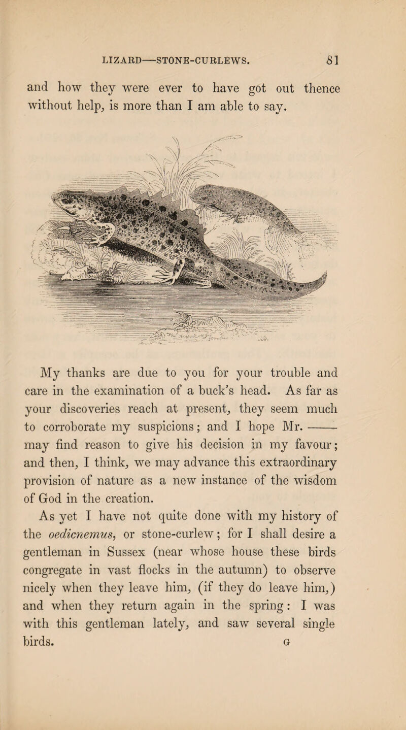 and how they were ever to have got out thence without help;, is more than I am able to say. My thanks are due to you for your trouble and care in the examination of a buck’s head. As far as your discoveries reach at present_, they seem much to corroborate my suspicions; and I hope Mr.-- may find reason to give his decision in my favour; and then^ I thinks we may advance this extraordinary provision of nature as a new instance of the wisdom of God in the creation. As yet I have not quite done with my history of the oedicnemus, or stone-curlew; for I shall desire a gentleman in Sussex (near whose house these birds congregate in vast flocks in the autumn) to observe nicely when they leave him, (if they do leave him,) and when they return again in the spring: I was with this gentleman lately, and saw several single birds. G