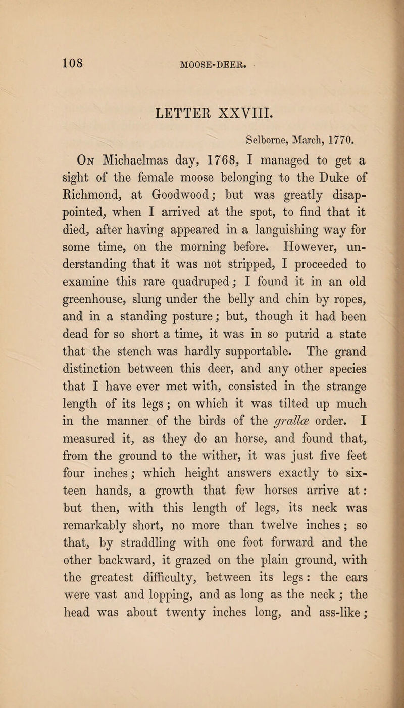 LETTER XXVIII. Selborne, March, 1770. On Michaelmas day, 1768, I managed to get a sight of the female moose belonging to the Duke of Richmond, at Goodwood; but was greatly disap¬ pointed, when I arrived at the spot, to find that it died, after having appeared in a languishing way for some time, on the morning before. However, un¬ derstanding that it was not stripped, I proceeded to examine this rare quadruped; I found it in an old greenhouse, slung under the belly and chin by ropes, and in a standing posture; but, though it had been dead for so short a time, it was in so putrid a state that the stench was hardly supportable. The grand distinction between this deer, and any other species that I have ever met with, consisted in the strange length of its legs ; on which it was tilted up much in the manner of the birds of the grallce order. I measured it, as they do an horse, and found that, from the ground to the wither, it was just five feet four inches; which height answers exactly to six¬ teen hands, a growth that few horses arrive at: but then, with this length of legs, its neck was remarkably short, no more than twelve inches ; so that, by straddling with one foot forward and the other backward, it grazed on the plain ground, with the greatest difficulty, between its legs: the ears were vast and lopping, and as long as the neck ; the head was about twenty inches long, and ass-like;