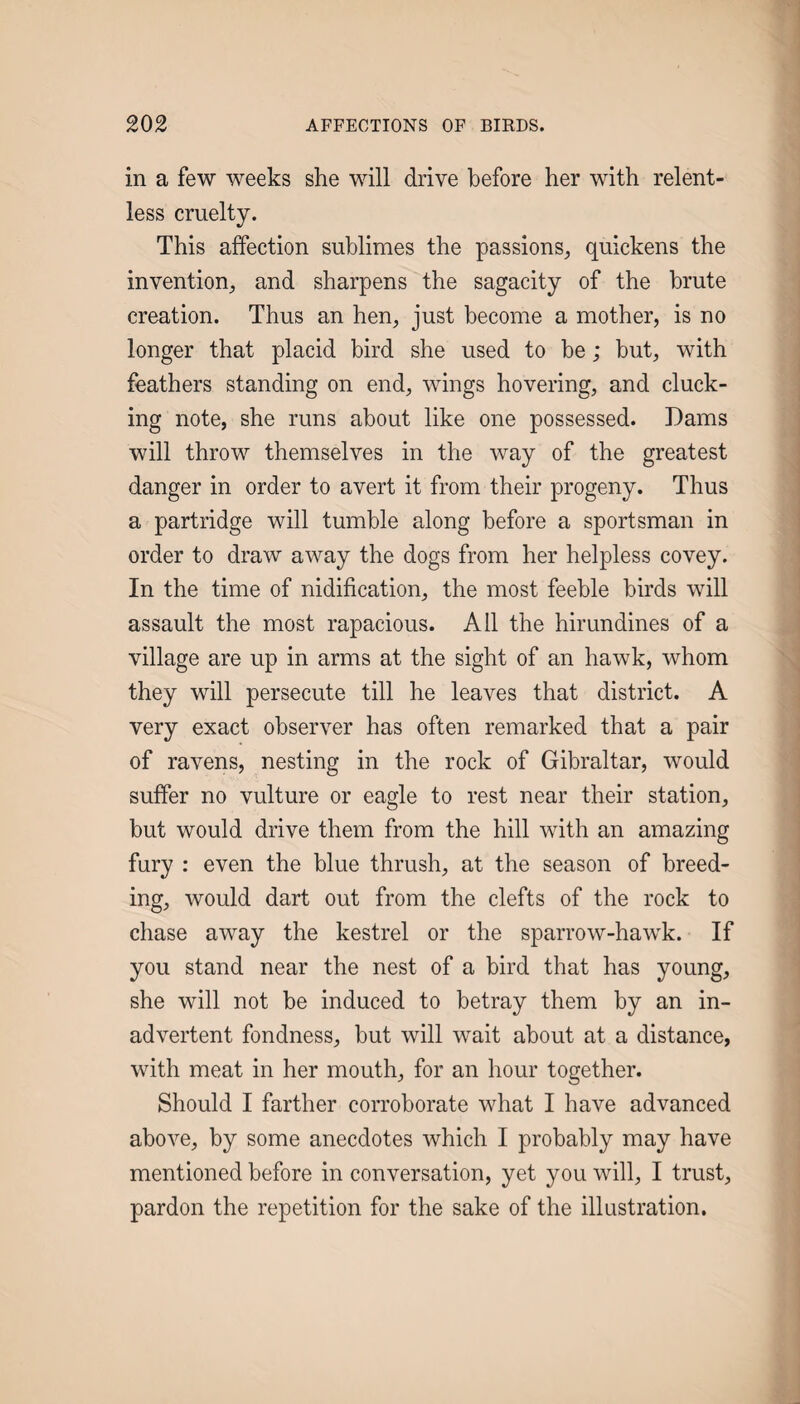 in a few weeks she will drive before her with relent¬ less cruelty. This affection sublimes the passions^ quickens the invention, and sharpens the sagacity of the brute creation. Thus an hen, just become a mother, is no longer that placid bird she used to be; but, with feathers standing on end, wings hovering, and cluck¬ ing note, she runs about like one possessed. Dams will throw themselves in the way of the greatest danger in order to avert it from their progeny. Thus a partridge will tumble along before a sportsman in order to draw away the dogs from her helpless covey. In the time of nidification, the most feeble birds will assault the most rapacious. All the hirundines of a village are up in arms at the sight of an hawk, whom they will persecute till he leaves that district. A very exact observer has often remarked that a pair of ravens, nesting in the rock of Gibraltar, would suffer no vulture or eagle to rest near their station, but would drive them from the hill with an amazing fury : even the blue thrush, at the season of breed¬ ing, would dart out from the clefts of the rock to chase away the kestrel or the sparrow-hawk. If you stand near the nest of a bird that has young, she will not be induced to betray them by an in¬ advertent fondness, but will wait about at a distance, with meat in her mouth, for an hour together. Should I farther corroborate what I have advanced above, by some anecdotes which I probably may have mentioned before in conversation, yet you will, I trust, pardon the repetition for the sake of the illustration.