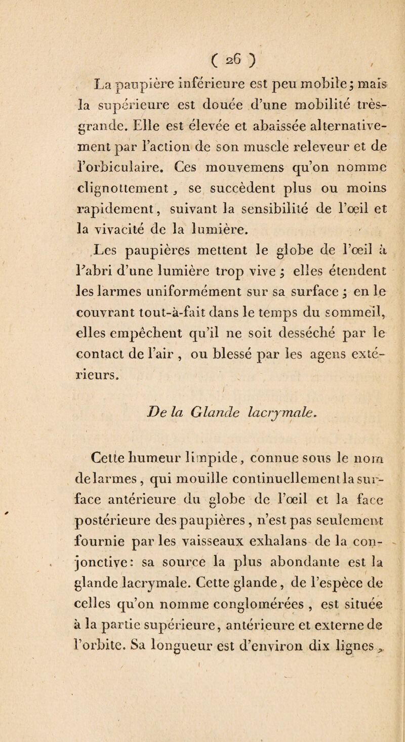 La paupière inferieure est peu mobile; mais la supérieure est douée d’une mobilité très- grande. Elle est élevée et abaissée alternative¬ ment par l’action de son muscle releveur et de l’orbiculaire. Ces mouvemens qu’on nomme clignottement , se succèdent plus ou moins rapidement, suivant la sensibilité de l’oeil et la vivacité de la lumière. Les paupières mettent le globe de l’oeil à Eabri d’une lumière trop vive ; elles étendent les larmes uniformément sur sa surface ; en le couvrant tout-à-fait dans le temps du sommeil, elles empêchent qu’il ne soit desséché par le contact de l’air , ou blessé par les agens exté¬ rieurs. i De la Glande lacrymale. Cette humeur limpide, connue sous le nom de larmes, qui mouille continuellement la sur¬ face antérieure du globe de l’oeil et la face postérieure des paupières , n’est pas seulement fournie par les vaisseaux exhalans de la con¬ jonctive: sa source la plus abondante est la glande lacrymale. Cette glande, de l’espèce de celles qu’on nomme conglomérées , est située à la partie supérieure, antérieure et externe de l’orbite. Sa longueur est d’environ dix lignes ^ i