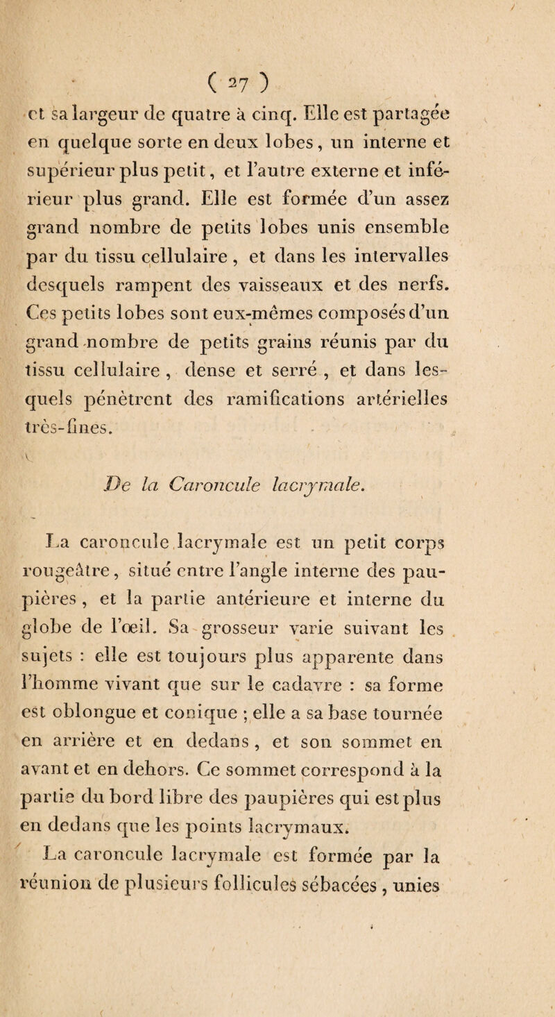 ( 2? ) et sa largeur de quatre à cinq. Elle est partagée en quelque sorte en deux lobes, un interne et supérieur plus petit, et l’autre externe et infé¬ rieur plus grand. Elle est formée d’un assez grand nombre de petits lobes unis ensemble par du tissu cellulaire , et dans les intervalles desquels rampent des vaisseaux et des nerfs. Ces petits lobes sont eux-mêmes composés d’un grand nombre de petits grains réunis par du tissu cellulaire, dense et serré, et dans les» quels pénètrent des ramifications artérielles très-fi nés. De la Caroncule lacrymale. J,a caroncule lacrymale est un petit corps rougeâtre, situé entre l’angle interne des pau¬ pières , et la partie antérieure et interne du globe de l’oeil. Sa grosseur varie suivant les sujets : elle est toujours plus apparente dans i’iiomme vivant que sur le cadavre : sa forme est oblongue et conique ; elle a sa base tournée en arrière et en dedans , et son sommet en avant et en dehors. Ce sommet correspond à la partie du bord libre des paupières qui est plus en dedans que les points lacrymaux. La caroncule lacrymale est formée par la réunion de plusieurs follicules sébacées, unies