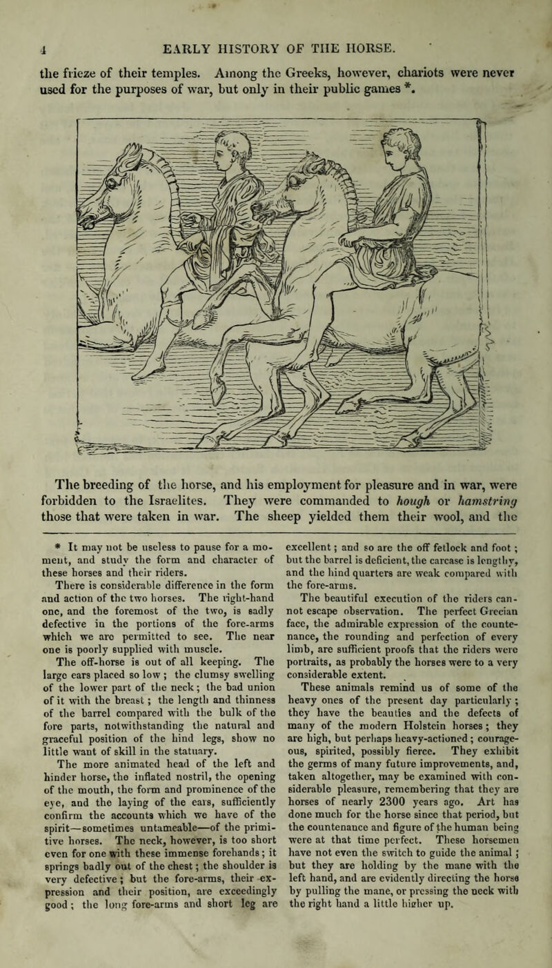 the frieze of their temples. Among the Greeks, however, chariots were never used for the purposes of war, but only in their public games *. The breeding of the horse, and his employment for pleasure and in war, were forbidden to the Israelites. They were commanded to hough or hamstring those that were taken in war. The sheep yielded them their wool, and the * It may not be useless to pause for a mo- mcut, and study the form and character of these horses and their riders. There is considerable difference in the form and action of the two horses. The right-hand one, and the foremost of the two, is sadly defective in the portions of the fore-arms which we aro permitted to see. The near one is poorly supplied with muscle. The off-horse is out of all keeping. The largo ears placed so low ; the clumsy swelling of the lower part of the neck; the bad union of it with the breast; the length and thinness of the barrel compared with the bulk of the fore parts, notwithstanding the natural and graceful position of the hind legs, show no little want of skill in the statuary. The more animated head of the left and hinder horse, the inflated nostril, the opening of the mouth, the form and prominence of the eye, and the laying of the ears, sufficiently confirm the accounts which we have of the spirit—-sometimes untameable—of the primi¬ tive horses. The neck, however, is too short even for one with these immense forehands; it springs badly out of the chest; the shoulder is very defective; but the fore-arms, their ex¬ pression and their position, are exceedingly good ; the long fore-arms and short leg are excellent; and so are the off fetlock and foot; but the barrel is deficient, the carcase is lengthy, and the hind quarters are weak compared with the fore-arms. The beautiful execution of the riders can¬ not escape observation. The perfect Grecian face, the admirable expression of the counte¬ nance, the rounding and perfection of every limb, are sufficient proofs that the riders were portraits, as probably the horses were to a very considerable extent. These animals remind us of some of the heavy ones of the present day particularly; they have the beauties and the defects of many of the modern Holstein horses; they arc high, but perhaps heavy-actioned; courage¬ ous, spirited, possibly fierce. They exhibit the germs of many future improvements, and, taken altogether, may be examined with con¬ siderable pleasure, remembering that they are horses of nearly 2300 years ago. Art has done much for the horse since that period, but the countenance and figure of the human being were at that time perfect. These horsemen have not even the switch to guide the animal ; but they are holding by the mane with the left hand, and are evidently directing the horse by pulling the mane, or pressing the neck with the right hand a little hieher up.