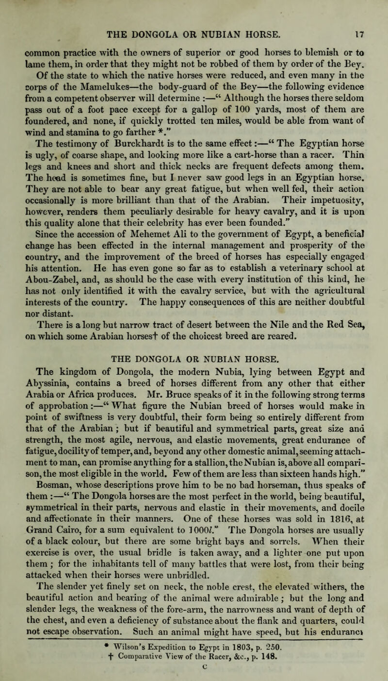 common practice with the owners of superior or good horses to blemish or to lame them, in order that they might not be robbed of them by order of the Bey. Of the state to which the native horses were reduced, and even many in the corps of the Mamelukes—the body-guard of the Bey—the following evidence from a competent observer will determine :—“ Although the horses there seldom pass out of a foot pace except for a gallop of 100 yards, most of them are foundered, and none, if quickly trotted ten miles, would be able from want of wind and stamina to go farther The testimony of Burckhardt is to the same effect:—“ The Egyptian horse is ugly, of coarse shape, and looking more like a cart-horse than a racer. Thin legs and knees and short and thick necks are frequent defects among them. The head is sometimes fine, but I never saw good legs in an Egyptian horse. They are not able to bear any great fatigue, but when well fed, their action occasionally is more brilliant than that of the Arabian. Their impetuosity, however, renders them peculiarly desirable for heavy cavalry, and it is upon this quality alone that their celebrity has ever been founded.” Since the accession of Mehemet Ali to the government of Egypt, a beneficial change has been effected in the internal management and prosperity of the country, and the improvement of the breed of horses has especially engaged his attention. He has even gone so far as to establish a veterinary school at Abou-Zabel, and, as should be the case with every institution of this kind, he has not only identified it with the cavalry service, but with the agricultural interests of the country. The happy consequences of this are neither doubtful nor distant. There is a long but narrow tract of desert between the Nile and the Red Sea, on which some Arabian liorsest of the choicest breed are reared. THE DONGOLA OR NUBIAN HORSE. The kingdom of Dongola, the modern Nubia, lying between Egypt and Abyssinia, contains a breed of horses different from any other that either Arabia or Africa produces. Mr. Bruce speaks of it in the following strong terms of approbation:—“ What figure the Nubian breed of horses would make in point of swiftness is very doubtful, their form being so entirely different from that of the Arabian ; but if beautiful and symmetrical parts, great size and strength, the most agile, nervous, and elastic movements, great endurance of fatigue, docility of temper, and, beyond any other domestic animal, seeming attach¬ ment to man, can promise anything for a stallion, the Nubian is, above all compari¬ son, the most eligible in the world. Few of them are less than sixteen hands high.” Bosman, whose descriptions prove him to be no bad horseman, thus speaks of them :—“ The Dongola horses are the most perfect in the world, being beautiful, symmetrical in their parts, nervous and elastic in their movements, and docile and affectionate in their manners. One of these horses was sold in 1816, at Grand Cairo, for a sum equivalent to 1000/.“ The Dongola horses are usually of a black colour, but there are some blight bays and sorrels. When their exercise is over, the usual bridle is taken away, and a lighter one put upon them ; for the inhabitants tell of many battles that were lost, from their being attacked when their horses were unbridled. The slender yet finely set on neck, the noble crest, the elevated withers, the beautiful action and bearing of the animal were admirable ; but the long and slender legs, the weakness of the fore-arm, the narrowness and want of depth of the chest, and even a deficiency of substance about the flank and quarters, could not escape observation. Such an animal might have speed, but his enduranci * Wilson’s Expedition to Egypt in 1803, p. 250. + Comparative View of the Racer, &c., p. 148. C