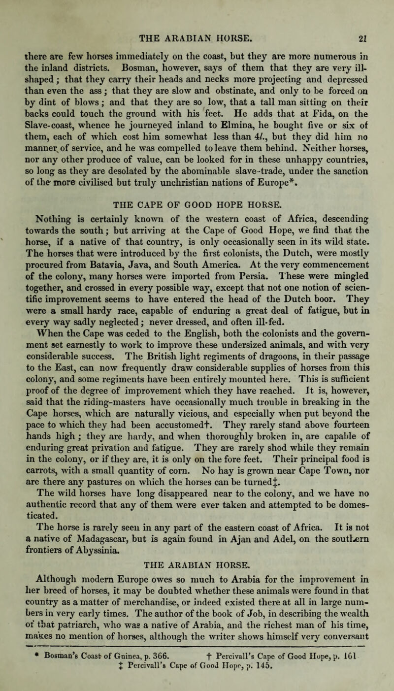 there are few horses immediately on the coast, but they are more numerous in the inland districts. Bosman, however, says of them that they are very ill¬ shaped ; that they carry their heads and necks more projecting and depressed than even the ass; that they are slow and obstinate, and only to be forced on by dint of blows; and that they are so low, that a tall man sitting on their backs could touch the ground with his feet. He adds that at Fida, on the Slave-coast, whence he journeyed inland to Elmina, he bought five or six of them, each of which cost him somewhat less than 4/., but they did him no manner of service, and he was compelled to leave them behind. Neither horses, nor any other produce of value, can be looked for in these unhappy countries, so long as they are desolated by the abominable slave -trade, under the sanction of the more civilised but truly unchristian nations of Europe*. THE CAPE OF GOOD HOPE HORSE. Nothing is certainly known of the western coast of Africa, descending towards the south; but arriving at the Cape of Good Hope, we find that the horse, if a native of that country, is only occasionally seen in its wild state. The horses that were introduced by the fivst colonists, the Dutch, were mostly procured from Batavia, Java, and South America. At the very commencement of the colony, many horses were imported from Persia. These were mingled together, and crossed in every possible way, except that not one notion of scien¬ tific improvement seems to have entered the head of the Dutch boor. They were a small hardy race, capable of enduring a great deal of fatigue, but in every way sadly neglected; never dressed, and often ill-fed. When the Cape was ceded to the English, both the colonists and the govern¬ ment set earnestly to work to improve these undersized animals, and with very considerable success. The British light regiments of dragoons, in their passage to the East, can now frequently draw considerable supplies of horses from this colony, and some regiments have been entirely mounted here. This is sufficient proof of the degree of improvement which they have reached. It is, however, said that the riding-masters have occasionally much trouble in breaking in the Cape horses, which are naturally vicious, and especially when put beyond the pace to which they had been accustomedt. They rarely stand above fourteen hands high; they are har dy, and when thoroughly broken in, are capable of enduring great privation and fatigue. They are rarely shod while they remain in the colony, or if they are, it is only on the fore feet. Their principal food is carrots, writh a small quantity of com. No hay is grown near Cape Town, nor are there any pastures on which the horses can be turned J. The wild horses have long disappeared near to the colony, and we have no authentic record that any of them were ever taken and attempted to be domes¬ ticated. The horse is rarely seen in any part of the eastern coast of Africa. It is not a native of Madagascar, but is again found in Ajan and Adel, on the soutlsern frontiers of Abyssinia. THE ARABIAN HORSE. Although modem Europe owes so much to Arabia for the improvement in her breed of horses, it may be doubted whether these animals were found in that country as a matter of merchandise, or indeed existed there at all in large num¬ bers in very early times. The author of the book of Job, in describing the wealth of that patriarch, who was a native of Arabia, and the richest man of his time, makes no mention of horses, although the writer shows himself very conversant * Bosnian’s Coast of Gninea, p. 366. f Percivall’s Cape of Good Hope, p. 161 % Pcrcivall’s Cape of Good Hope, p. 145.