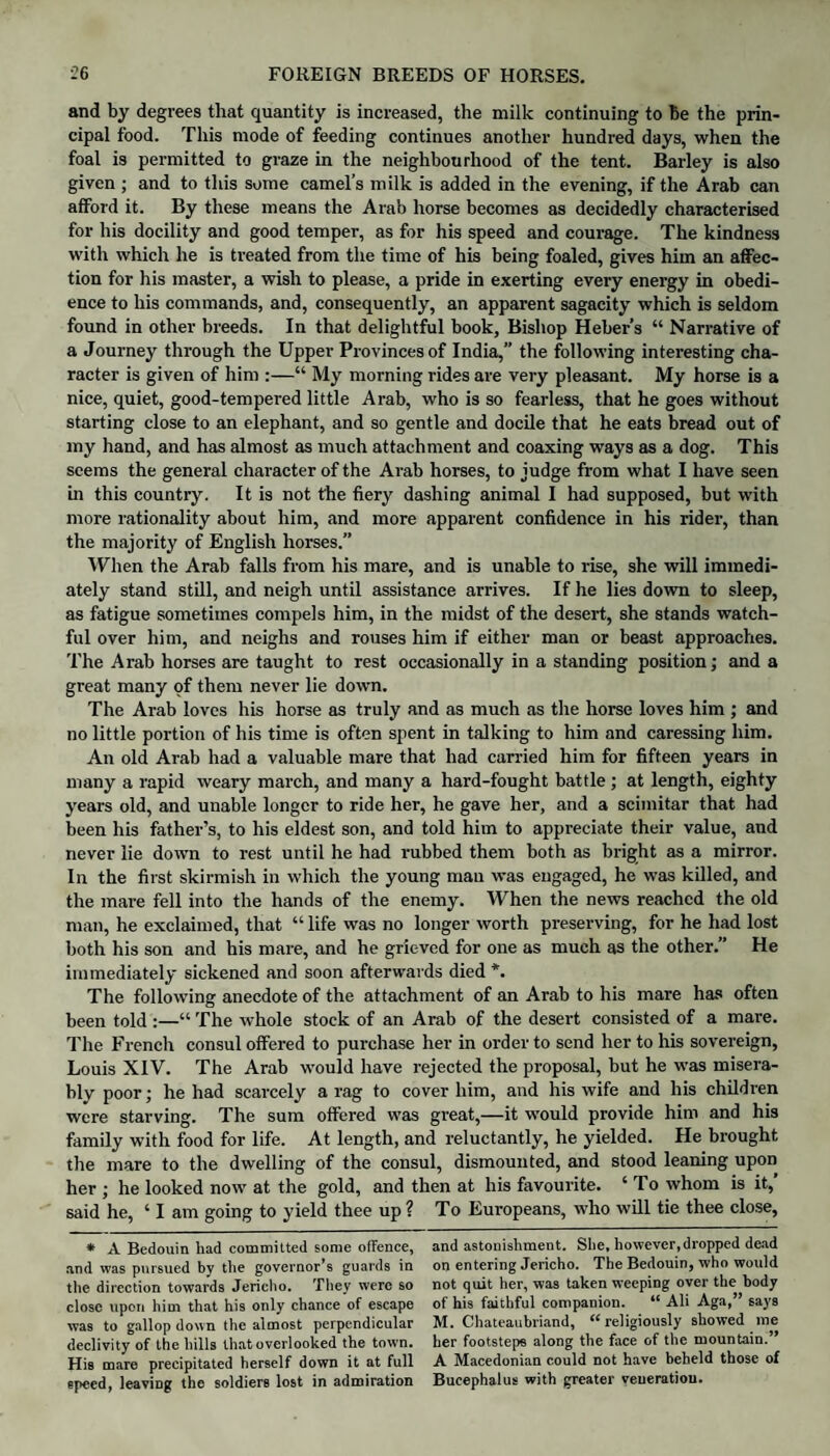 and by degrees that quantity is increased, the milk continuing to be the prin¬ cipal food. This mode of feeding continues another hundred days, when the foal is permitted to graze in the neighbourhood of the tent. Barley is also given ; and to this some camel’s milk is added in the evening, if the Arab can afford it. By these means the Arab horse becomes as decidedly characterised for his docility and good temper, as for his speed and courage. The kindness with which he is treated from the time of his being foaled, gives him an affec¬ tion for his master, a wish to please, a pride in exerting every energy in obedi¬ ence to his commands, and, consequently, an apparent sagacity which is seldom found in other breeds. In that delightful book. Bishop Heber’s “ Narrative of a Journey through the Upper Provinces of India,” the following interesting cha¬ racter is given of him :—“ My morning rides are very pleasant. My horse is a nice, quiet, good-tempered little Arab, who is so fearless, that he goes without starting close to an elephant, and so gentle and docile that he eats bread out of my hand, and has almost as much attachment and coaxing ways as a dog. This seems the general character of the Arab horses, to judge from what I have seen in this country. It is not the fiery dashing animal I had supposed, but with more rationality about him, and more apparent confidence in his rider, than the majority of English horses.” When the Arab falls from his mare, and is unable to rise, she will immedi¬ ately stand still, and neigh until assistance arrives. If he lies down to sleep, as fatigue sometimes compels him, in the midst of the desert, she stands watch¬ ful over him, and neighs and rouses him if either man or beast approaches. The Arab horses are taught to rest occasionally in a standing position; and a great many of them never lie down. The Arab loves his horse as truly and as much as the horse loves him ; and no little portion of his time is often spent in talking to him and caressing him. An old Arab had a valuable mare that had carried him for fifteen years in many a rapid weary march, and many a hard-fought battle ; at length, eighty years old, and unable longer to ride her, he gave her, and a scimitar that had been his father’s, to his eldest son, and told him to appreciate their value, and never lie down to rest until he had rubbed them both as bright as a mirror. In the first skirmish in which the young man was engaged, he was killed, and the mare fell into the hands of the enemy. When the news reached the old man, he exclaimed, that “ life was no longer worth preserving, for he had lost both his son and his mare, and he grieved for one as much as the other.” He immediately sickened and soon afterwards died *. The following anecdote of the attachment of an Arab to his mare has often been told :—“ The whole stock of an Arab of the desert consisted of a mare. The French consul offered to purchase her in order to send her to his sovereign, Louis XIV. The Arab would have rejected the proposal, but he was misera¬ bly poor; he had scarcely a rag to cover him, and his wife and his children were starving. The sum offered was great,—it would provide him and his family with food for life. At length, and reluctantly, he yielded. He brought the mare to the dwelling of the consul, dismounted, and stood leaning upon her ; he looked now at the gold, and then at his favourite. ‘ To whom is it,’ said he, ‘ I am going to yield thee up ? To Europeans, who will tie thee close, * A Bedouin had committed some offence, and was pursued by the governor’s guards in the direction towards Jericho. They were so close upon him that his only chance of escape was to gallop down the almost perpendicular declivity of the hills that overlooked the towm. His mare precipitated herself down it at full speed, leaving the soldiers lost in admiration and astonishment. She, however,dropped dead on entering Jericho. The Bedouin, who would not quit her, was taken weeping over the body of his faithful companion. “ Ali Aga,” says M. Chateaubriand, ((religiously showed me her footsteps along the face of the mountain.” A Macedonian could not have beheld those of Bucephalus with greater veneration.