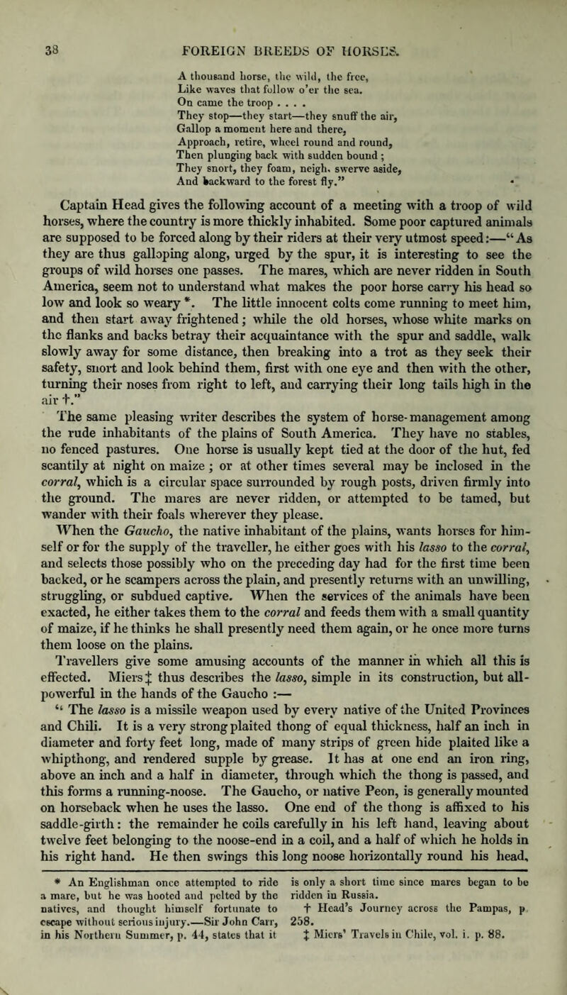 A thousand horse, the wild, the free, Like waves that follow o’er the sea. On came the troop .... They stop—they start—they snuff the air, Gallop a moment here and there, Approach, retire, wheel round and round, Then plunging back with sudden bound ; They snort, they foam, neigh, swerve aside. And backward to the forest fly.” Captain Head gives the following account of a meeting with a troop of wild horses, where the country is more thickly inhabited. Some poor captured animals are supposed to be forced along by their riders at their very utmost speed:—“As they are thus galloping along, urged by the spur, it is interesting to see the groups of wild horses one passes. The mares, which are never ridden in South America, seem not to understand what makes the poor horse carry his head so low and look so weary *. The little innocent colts come running to meet him, and then start away frightened; while the old horses, whose white marks on the flanks and backs betray their acquaintance with the spur and saddle, walk slowly away for some distance, then breaking into a trot as they seek their safety, snort and look behind them, first with one eye and then with the other, turning their noses from right to left, and carrying their long tails high in the • L O an* T. The same pleasing writer describes the system of horse-management among the rude inhabitants of the plains of South America. They have no stables, no fenced pastures. One horse is usually kept tied at the door of the hut, fed scantily at night on maize ; or at other times several may be inclosed in the corral, which is a circular space surrounded by rough posts, driven firmly into the ground. The mares are never ridden, or attempted to be tamed, but wander with their foals wherever they please. When the Gaucho, the native inhabitant of the plains, wants horses for him¬ self or for the supply of the traveller, he either goes with his lasso to the corral, and selects those possibly who on the preceding day had for the first time been backed, or he scampers across the plain, and presently returns with an unwilling, struggling, or subdued captive. When the services of the animals have been exacted, he either takes them to the corral and feeds them with a small quantity of maize, if he thinks he shall presently need them again, or he once more turns them loose on the plains. Travellers give some amusing accounts of the manner in which all this is effected. Miersj thus describes the lasso, simple in its construction, but all- powerful in the hands of the Gaucho :— “ The lasso is a missile weapon used by every native of the United Provinces and Chili. It is a very strong plaited thong of equal thickness, half an inch in diameter and forty feet long, made of many strips of green hide plaited like a whipthong, and rendered supple by grease. It has at one end an iron ring, above an inch and a half in diameter, through which the thong is passed, and this forms a running-noose. The Gaucho, or native Peon, is generally mounted on horseback when he uses the lasso. One end of the thong is affixed to his saddle-girth: the remainder he coils carefully in his left hand, leaving about twelve feet belonging to the noose-end in a coil, and a half of which he holds in his right hand. He then swings this long noose horizontally round his head. * An Englishman once attempted to ride a mare, hut he was hooted and pelted by the natives, and thought himself fortunate to escape without serious injury.—Sir John Carr, in his Northern Summer, p. 44, states that it is only a short time since mares began to be ridden in Russia. + Head’s Journey across the Pampas, p 258. } Micrs’ Travels in Chile, vol. i. p. 88.
