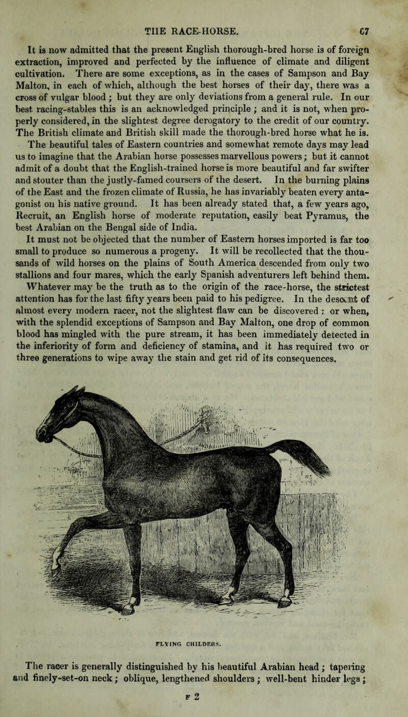 It is now admitted that the present English thorough-bred horse is of foreign extraction, improved and perfected by the influence of climate and diligent cultivation. There are some exceptions, as in the cases of Sampson and Bay Malton, in each of which, although the best horses of their day, there was a cross of vulgar blood ; but they are only deviations from a general rule. In our best racing-stables this is an acknowledged principle ; and it is not, when pro¬ perly considered, in the slightest degree derogatory to the credit of our country. The British climate and British skill made the thorough-bred horse what he is. The beautiful tales of Eastern countries and somewhat remote days may lead us to imagine that the Arabian horse possesses marvellous powers; but it cannot admit of a doubt that the English-trained horse is more beautiful and far swifter and stouter than the justly-famed coursers of the desert. In the burning plains of the East and the frozen climate of Russia, he has invariably beaten every anta¬ gonist on his native ground. It has been already stated that, a few years ago, Recruit, an English horse of moderate reputation, easily beat Pyramus, the best Arabian on the Bengal side of India. It must not be objected that the number of Eastern horses imported is far too small to produce so numerous a progeny. It will be recollected that the thou¬ sands of wild horses on the plains of South America descended from only two stallions and four mares, which the early Spanish adventurers left behind them. Whatever may be the truth as to the origin of the race-horse, the strictest attention has for the last fifty years been paid to his pedigree. In the descent of almost every modern racer, not the slightest flaw can be discovered : or when, with the splendid exceptions of Sampson and Bay Malton, one drop of common blood has mingled with the pure stream, it has been immediately detected in the inferiority of form and deficiency of stamina, and it has required two or three generations to wipe away the stain and get rid of its consequences. FLYING CHILDERS. The racer is generally distinguished by his beautiful Arabian head ; tapering and finely-set-on neck; oblique, lengthened shoulders ; well-bent hinder legs ;