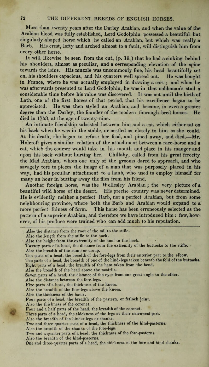 More than twenty years after the Dailey Arabian, and when the value of the Arabian blood was fully established. Lord Godolphin possessed a beautiful but singularly-shaped horse which he called an Arabian, but which was really a Barb. His crest, lofty and arched almost to a fault, will distinguish him from every other horse. It will likewise be seen from the cut, (p. 18,) that he had a sinking behind his shoulders, almost as peculiar, and a corresponding elevation of the spine towards the loins. His muzzle was uncommonly fine, his head beautifully set on, his shoulders capacious, and his quarters well spread out. He was bought, in France, where he was actually employed in drawing a cart; and when he was afterwards presented to Lord Godolphin, he was in that nobleman's stud a considerable time before his value was discovered. It was not until the birth of Lath, one of the first horses of that period, that his excellence began to be appreciated. He was then styled an Arabian, and became, in even a greater degree than the Darley, the founder of the modern thorough-bred horses. He died in 1753, at the age of twenty-nine. An intimate friendship subsisted between him and a cat, which either sat on his back when he was in the stable, or nestled as closely to him as she could. At his death, she began to refuse her food, and pined away, and died.—Mr. Holcroft gives a similar relation of the attachment between a race-horse and a cat, which tho courser would take in his mouth and place in his manger and upon his back without hurting her. Chillaby, called from his great ferocity the Mad Arabian, whom one only of the grooms dared to approach, and who savagely tore to pieces the image of a man that was purposely placed in his way, had his peculiar attachment to a lamb, who used to employ himself for many an hour in butting away the flies from his friend. Another foreign horse, was the Wellesley Arabian ; the very picture of a beautiful wild horse of the desert. His precise country was never determined. He is evidently neither a perfect Barb, nor a perfect Arabian, but from some neighbouring province, where both the Barb and Arabian would expand to a more perfect fulness of form. This horse has been erroneously selected as the pattern of a superior Arabian, and therefore we have introduced him : few, how¬ ever, of his produce were trained who can add much to his reputation. Also the distance from the root of the tail to the stifle. Also the length from the stifle to the hock. Also the height from the extremity of the hoof to the hock. Twenty parts of a head, the distance from the extremity of the buttocks to the stifle. Also the breadth of the rump or croup. Ten parts of a head, the breadth of the fore-legs from their anterior part to the elbow. Ten parts of a head, the breadth of one of the hind-legs taken beneath the fold of the buttocks. Eight parts of a head, the breadth of the ham taken from the bend. Also the breadth of the head above the nostrils. Seven parts of a head, the distance of the eyes fr om one great angle to the other. Also the distance between the fore-legs. Five parts of a head, the thickness of the knees. Also the breadth of the fore-legs above the knees. Also the thickness of the hams. Four parts of a head, the breadth of the pastern, or fetlock joint. Also the thickness of the coronet. Four and a half parts of the head, the breadth of the coronet. Three parts of a head, the thickness of the legs at their narrowest part. Also the breadth of the hinder legs or shanks. Two and three-quarter parts of a head, the thickness of the hind-pasterns. Also the breadth of the shanks of the fore-legs. Two and a quarter parts of a head, the thickness of the fore-pasterns. Also the breadth of the hind-pastems. One and three-quarter parts of a head, the thickness of the fore and hind shanks.