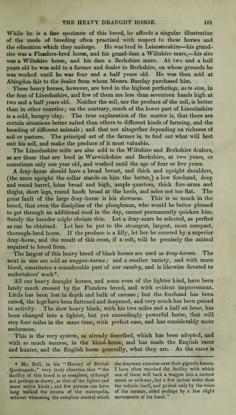 While he is a fine specimen of this breed, he affords a singular illustration of the mode of breeding often practised with respect to these horses and the education which they undergo. He was bred in Leicestershire—his grand- sire was a Flanders-bred horse, and his grand-dam a Wiltshire mare,—his sire was a Wiltshire horse, and his dam a Berkshire mare. At two and a half years old he was sold to a farmer and dealer in Berkshire, on whose grounds he was worked until he was four and a half years old. He was then sold at Abingdon fair to the dealer from whom Messrs. Barclay purchased him. These heavy horses, however, are bred in the highest perfection, as to size, in the fens of Lincolnshire, and few of them are less than seventeen hands high at two and a half years old. Neither the soil, nor the produce of the soil, is better than in other counties; on the contrary, much of the lower part of Lincolnshire is a cold, hungry clay. The true explanation of the matter is, that there are certain situations better suited than others to different kinds of farming, and the breeding of different animals ; and that not altogether depending on richness of soil or pasture. The principal art of the farmer is, to find out what will best suit his soil, and make the produce of it most valuable. The Lincolnshire colts are also sold to the Wiltshire and Berkshire dealers, as are those that are bred in Warwickshire and Berkshire, at two years, or sometimes only one year old, and worked until the age of four or five years. A dray-horse should have a broad breast, and thick and upright shoulders, (the more upright the collar stands on him the better,) a low forehand, deep and round barrel, loins broad and high, ample quarters, thick fore-arms and thighs, short legs, round hoofs broad at the heels, and soles not too flat. The great fault of the large dray-horse is his slowness. This is so much in the breed, that even the discipline of the ploughman, who would be better pleased to get through an additional rood in the day, cannot permanently quicken him. Surely the breeder might obviate this. Let a dray-mare be selected, as perfect as can be obtained. Let her be put to the strongest, largest, most compact, thorougli-bred horse. If the produce is a filly, let her be covered by a superior dray-horse, and the result of this cross, if a colt, will be precisely the animal required to breed from. The largest of this heavy breed of black horses are used as dray-horses. The next in size are sold as waggon-horses; and a smaller variety, and with more blood, constitutes a considerable part of our cavalry, and is likewise devoted to undertakers’ work*. All our heavy draught horses, and some even of the lighter kind, have been lately much crossed by the Flanders breed, and with evident improvement. Little has been lost in depth and bulk of carcase; but the forehand has been raised, the legs have been flattened and deepened, and very much has been gained in activity. The slow heavy black, with his two miles and a half an hour, has been changed into a lighter, but yet exceedingly powerful horse, that will step four miles in the same time, with perfect ease, and has considerably more endurance. This is the very system, as already described, which has been adopted, and with so much success, in the blood-horse, and has made the English racer and hunter, and the English horse generally, what they are. As the racer is * Mr. Bell, in his “ History of British Quadrupeds,” very truly observes, that “ the docility of this breed is as complete, although not perhaps so showy, as that of the lighter and more active kinds ; and few persons can have long walked the streets of the metropolis, without witnessing the complete control which the draymen exercise over their gigantic horses. I have often watched the facility with which one of them will back a waggon into a narrow street or archway, hut a few inches wider than the vehicle itself, and guided only by the voice of the carman, aided perhaps by a few slight movements of his hand.”