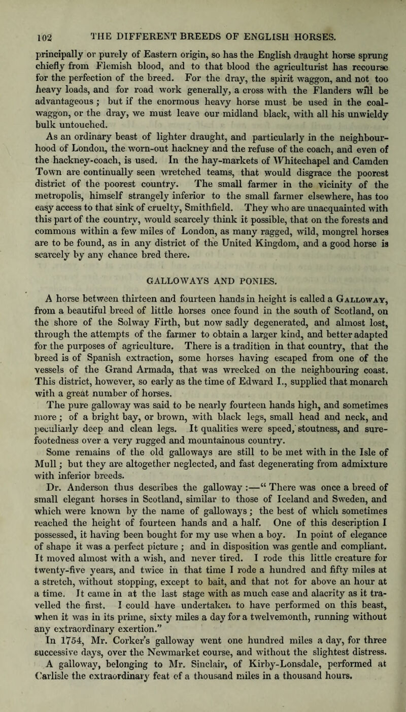 principally or purely of Eastern origin, so has the English draught horse sprung chiefly from Flemish blood, and to that blood the agriculturist has recourse for the perfection of the breed. For the dray, the spirit waggon, and not too heavy loads, and for road work generally, a cross with the Flanders will be advantageous; but if the enormous heavy horse must be used in the coal- waggon, or the dray, we must leave our midland black, with all his unwieldy bulk untouched. As an ordinary beast of lighter draught, and particularly in the neighbour¬ hood of London, the worn-out hackney and the refuse of the coach, and even of the hackney-coach, is used. In the hay-markets of Whitechapel and Camden Town are continually seen wretched teams, that would disgrace the poorest district of the poorest country. The small farmer in the vicinity of the metropolis, himself strangely inferior to the small farmer elsewhere, has too easy access to that sink of cruelty, Smithfield. They who are unacquainted with this part of the country, would scarcely think it possible, that on the forests and commons within a few miles of London, as many ragged, wild, mongrel horses are to be found, as in any district of the United Kingdom, and a good horse is scarcely by any chance bred there. GALLOWAYS AND PONIES. A horse between thirteen and fourteen hands in height is called a Galloway, from a beautiful breed of little horses once found in the south of Scotland, on the shore of the Solway Firth, but now sadly degenerated, and almost lost, through the attempts of the farmer to obtain a larger kind, and better adapted for the purposes of agriculture. There is a tradition in that country, that the breed is of Spanish extraction, some horses having escaped from one of the vessels of the Grand Armada, that was wrecked on the neighbouring coast. This district, however, so early as the time of Edward I., supplied that monarch with a great number of horses. The pure galloway was said to be nearly fourteen hands high, and sometimes more; of a bright bay, or brown, with black legs, small head and neck, and peculiarly deep and clean legs. It qualities were speed,' stoutness, and sure¬ footedness over a very rugged and mountainous country. Some remains of the old galloways are still to be met with in the Isle of Mull; but they are altogether neglected, and fast degenerating from admixture with inferior breeds. Dr. Anderson thus describes the galloway :—“ There was once a breed of small elegant horses in Scotland, similar to those of Iceland and Sweden, and which were known by the name of galloways; the best of which sometimes reached the height of fourteen hands and a half. One of this description I possessed, it having been bought for my use when a boy. In point of elegance of shape it was a perfect picture ; and in disposition was gentle and compliant. It moved almost with a wish, and never tired. I rode this little creature for twenty-five years, and twice in that time I rode a hundred and fifty miles at a stretch, without stopping, except to bait, and that not for above an hour at a time. It came in at the last stage with as much ease and alacrity as it tra¬ velled the first. I could have undertaken to have performed on this beast, when it was in its prime, sixty miles a day for a twelvemonth, running without any extraordinary exertion.” In 1754, Mr. Corker’s galloway went one hundred miles a day, for three successive days, over the Newmarket course, and without the slightest distress. A galloway, belonging to Mr. Sinclair, of Kirby-Lonsdale, performed at Carlisle the extraordinary feat of a thousand miles in a thousand hours.