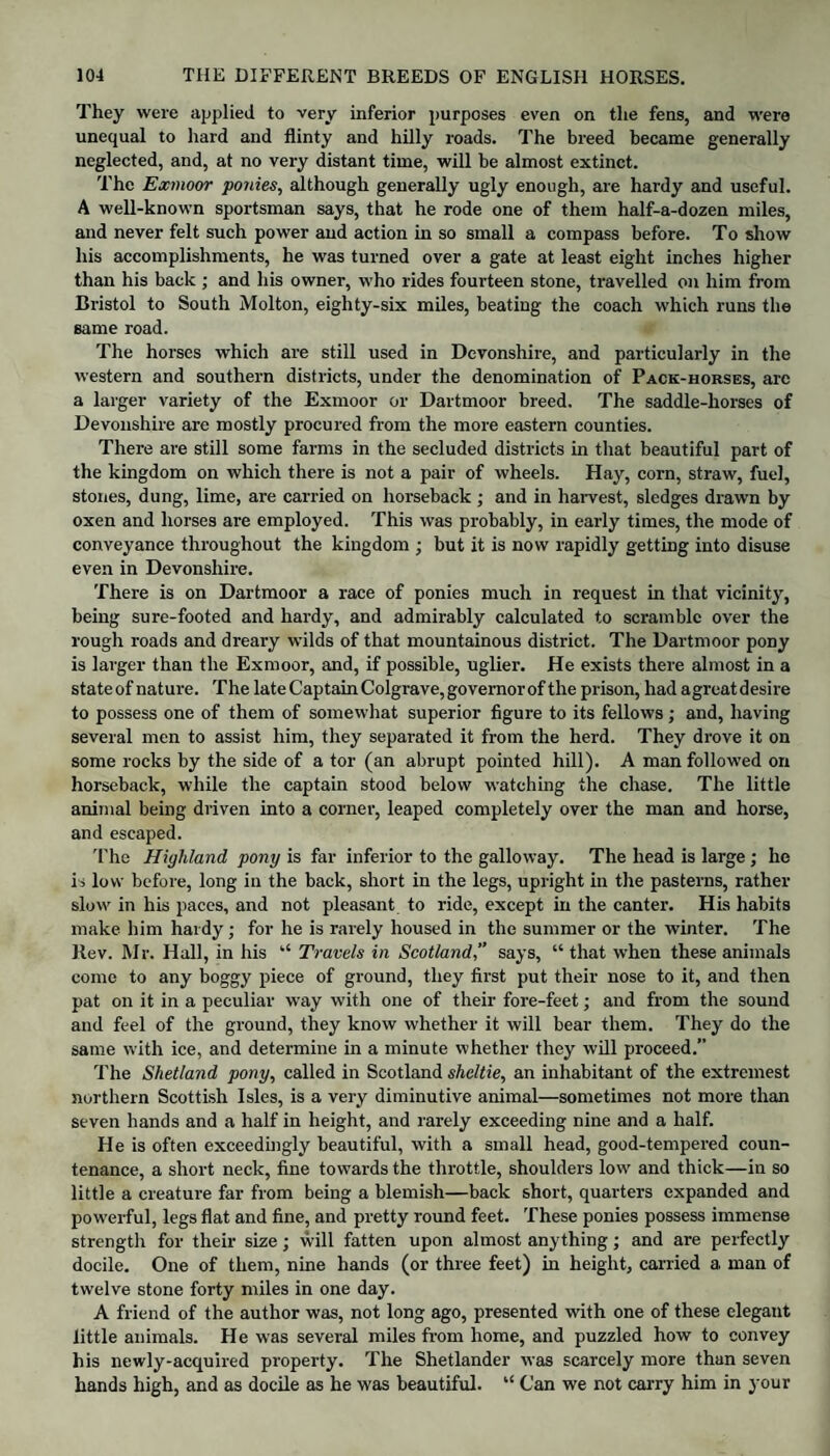 They were applied to very inferior purposes even on the fens, and were unequal to hard and flinty and hilly roads. The breed became generally neglected, and, at no very distant time, will be almost extinct. The Exmoor ponies, although generally ugly enough, are hardy and useful. A well-known sportsman says, that he rode one of them half-a-dozen miles, and never felt such power and action in so small a compass before. To show his accomplishments, he was turned over a gate at least eight inches higher than his back ; and his owner, who rides fourteen stone, travelled on him from Bristol to South Molton, eighty-six miles, beating the coach which runs the same road. The horses which are still used in Devonshire, and particularly in the western and southern districts, under the denomination of Pack-horses, arc a larger variety of the Exmoor or Dartmoor breed. The saddle-horses of Devonshire are mostly procured from the more eastern counties. There are still some farms in the secluded districts in that beautiful part of the kingdom on which there is not a pair of wheels. Hay, corn, straw, fuel, stones, dung, lime, are carried on horseback ; and in harvest, sledges drawn by oxen and horses are employed. This was probably, in early times, the mode of conveyance throughout the kingdom ; but it is now rapidly getting into disuse even in Devonshire. There is on Dartmoor a race of ponies much in request in that vicinity, being sure-footed and hardy, and admirably calculated to scramble over the rough roads and dreary wilds of that mountainous district. The Dartmoor pony is larger than the Exmoor, and, if possible, uglier. He exists there almost in a state of nature. The late Captain Colgrave, governor of the prison, had agreat desire to possess one of them of somewhat superior figure to its fellows; and, having several men to assist him, they separated it from the herd. They drove it on some rocks by the side of a tor (an abrupt pointed hill). A man followed on horseback, while the captain stood below watching the chase. The little animal being driven into a corner, leaped completely over the man and horse, and escaped. The Highland pony is far inferior to the galloway. The head is large ; he is low before, long in the back, short in the legs, upright in the pasterns, rather slow in his paces, and not pleasant to ride, except in the canter. His habits make him hardy ; for he is rarely housed in the summer or the winter. The llev. Mr. Hall, in his “ Travels in Scotlandsays, “ that when these animals come to any boggy piece of ground, they first put their nose to it, and then pat on it in a peculiar way with one of their fore-feet; and from the sound and feel of the ground, they know whether it will bear them. They do the same with ice, and determine in a minute whether they will proceed.” The Shetland pony, called in Scotland sheltie, an inhabitant of the extremest northern Scottish Isles, is a very diminutive animal—sometimes not more than seven hands and a half in height, and rarely exceeding nine and a half. He is often exceedingly beautiful, with a small head, good-tempered coun¬ tenance, a short neck, fine towards the throttle, shoulders low and thick—in so little a creature far from being a blemish—back short, quarters expanded and powerful, legs flat and fine, and pretty round feet. These ponies possess immense strength for their size; will fatten upon almost anything; and are perfectly docile. One of them, nine hands (or three feet) in height, carried a. man of twelve stone forty miles in one day. A friend of the author was, not long ago, presented with one of these elegant little animals. He was several miles from home, and puzzled how to convey his newly-acquired property. The Shetlander was scarcely more than seven hands high, and as docile as he was beautiful. “ Can we not carry him in your