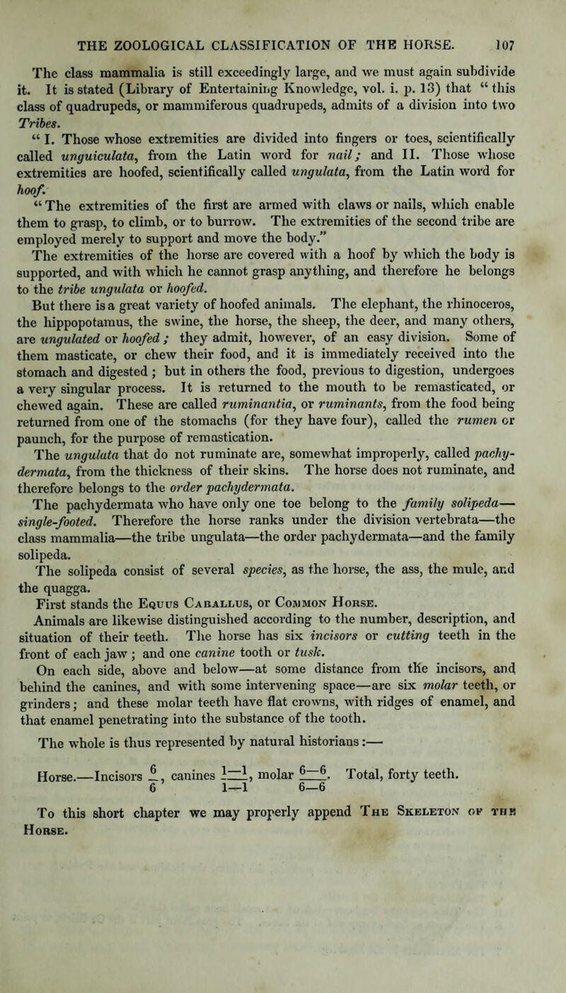 The class mammalia is still exceedingly large, and we must again subdivide it. It is stated (Library of Entertaining Knowledge, vol. i. p. 13) that “ this class of quadrupeds, or mammiferous quadrupeds, admits of a division into two Tribes. “ I. Those whose extremities are divided into fingers or toes, scientifically called unguiculata, from the Latin word for nail; and II. Those whose extremities are hoofed, scientifically called ungulata, from the Latin word for hoof. “ The extremities of the first are armed with claws or nails, which enable them to grasp, to climb, or to burrow. The extremities of the second tribe are employed merely to support and move the body.” The extremities of the horse are covered with a hoof by which the body is supported, and with which he cannot grasp anything, and therefore he belongs to the tribe ungulata or hoofed. But there is a great variety of hoofed animals. The elephant, the rhinoceros, the hippopotamus, the swine, the horse, the sheep, the deer, and many others, are ungulated or hoofed ; they admit, however, of an easy division. Some of them masticate, or chew their food, and it is immediately received into the stomach and digested ; but in others the food, previous to digestion, undergoes a very singular process. It is returned to the mouth to be remasticated, or chewed again. These are called ruminantia, or ruminants, from the food being returned from one of the stomachs (for they have four), called the rumen or paunch, for the purpose of remastication. The ungulata that do not ruminate are, somewhat improperly, called pacliy- dermata, from the thickness of their skins. The horse does not ruminate, and therefore belongs to the order pachydermata. The pachydermata who have only one toe belong to the family solipeda— single-footed. Therefore the horse ranks under the division vertebrata—the class mammalia—the tribe ungulata—the order pachydermata—and the family solipeda. The solipeda consist of several species, as the horse, the ass, the mule, and the quagga. First stands the Equus Caballus, or Common Horse. Animals are likewise distinguished according to the number, description, and situation of their teeth. The horse has six incisors or cutting teeth in the front of each jaw ; and one canine tooth or tush. On each side, above and below—at some distance from tile incisors, and behind the canines, and with some intervening space—are six molar teeth, or grinders; and these molar teeth have flat crowns, with ridges of enamel, and that enamel penetrating into the substance of the tooth. The whole is thus represented by natural historians:— Horse.—Incisors canines Izl, molar j?~6. Total, forty teeth. 6 1—1 6—6 To this short chapter we may properly append The Skeleton c,v this Horse.