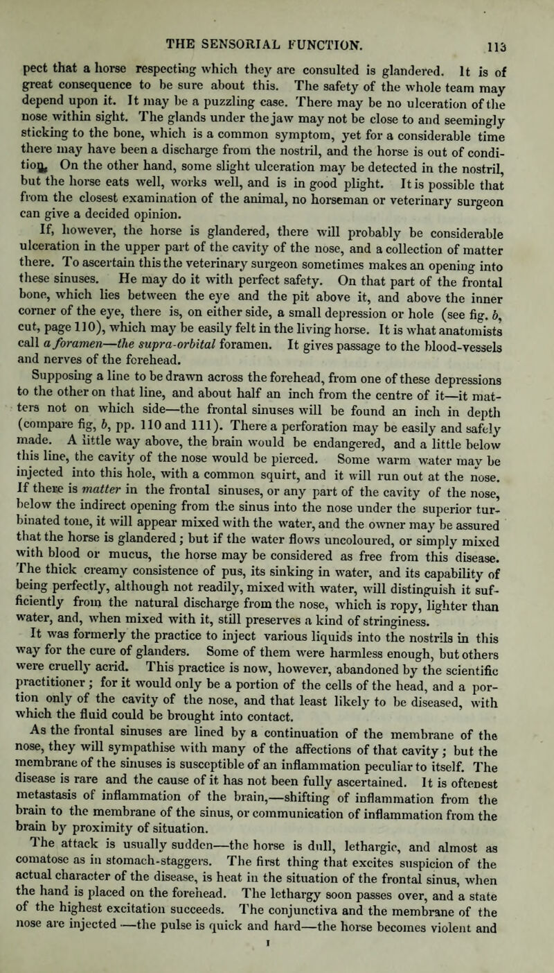 pect that a horse respecting which they are consulted is glandered. It is of great consequence to be sure about this. The safety of the whole team may depend upon it. It may be a puzzling case. There may be no ulceration of the nose within sight. The glands under the jaw may not be close to and seemingly sticking to the bone, which is a common symptom, yet for a considerable time there may have been a discharge from the nostril, and the horse is out of condi- tio^, On the other hand, some slight ulceration may be detected in the nostril, but the horse eats well, works well, and is in good plight. It is possible that from the closest examination of the animal, no horseman or veterinary surgeon can give a decided opinion. If, however, the horse is glandered, there will probably be considerable ulceration in the upper part of the cavity of the nose, and a collection of matter there. To ascertain this the veterinary surgeon sometimes makes an opening into these sinuses. He may do it with perfect safety. On that part of the frontal bone, which lies between the eye and the pit above it, and above the inner corner of the eye, there is, on either side, a small depression or hole (see fig. o, cut, page 110), which may be easily felt in the living horse. It is what anatomists call a foramen—the supra-orbital foramen. It gives passage to the blood-vessels and nerves of the forehead. Supposing a line to be drawn across the forehead, from one of these depressions to the other on that line, and about half an inch from the centre of it—it mat¬ ters not on which side—the frontal sinuses will be found an inch in depth (compare fig, b, pp. 110 and 111). There a perforation may be easily and safely made. A little way above, the brain would be endangered, and a little below this line, the cavity of the nose would be pierced. Some warm water mav be injected into this hole, with a common squirt, and it will run out at the nose. If there is matter in the frontal sinuses, or any part of the cavity of the nose, below the indirect opening from the sinus into the nose under the superior tur¬ binated tone, it will appear mixed with the water, and the owner may be assured that the horse is glandered ; but if the water flows uncoloured, or simply mixed with blood or mucus, the horse may be considered as free from this disease. The thick creamy consistence of pus, its sinking in water, and its capability of being perfectly, although not readily, mixed with water, will distinguish it suf¬ ficiently from the natural discharge from the nose, which is ropy, lighter than water, and, when mixed with it, still preserves a kind of stringiness. It was formerly the practice to inject various liquids into the nostrils in this way for the cure of glanders. Some of them were harmless enough, but others were cruelly acrid. This practice is now, however, abandoned by the scientific practitioner ; for it would only be a portion of the cells of the head, and a por¬ tion only of the cavity of the nose, and that least likely to be diseased, with which the fluid could be brought into contact. As the frontal sinuses are lined by a continuation of the membrane of the nose, they will sympathise with many of the affections of that cavity ; but the membrane of the sinuses is susceptible of an inflammation peculiar to itself. The disease is rare and the cause of it has not been fully ascertained. It is oftenest metastasis of inflammation of the brain,—shifting of inflammation from the brain to the membrane of the sinus, or communication of inflammation from the brain by proximity of situation. he attack is usually sudden—the horse is dull, lethargic, and almost as comatose as in stomach-staggers. The first thing that excites suspicion of the actual character of the disease, is heat in the situation of the frontal sinus, when the hand is placed on the forehead. The lethargy soon passes over, and a state of the highest excitation succeeds. The conjunctiva and the membrane of the nose are injected —the pulse is quick and hard—the horse becomes violent and