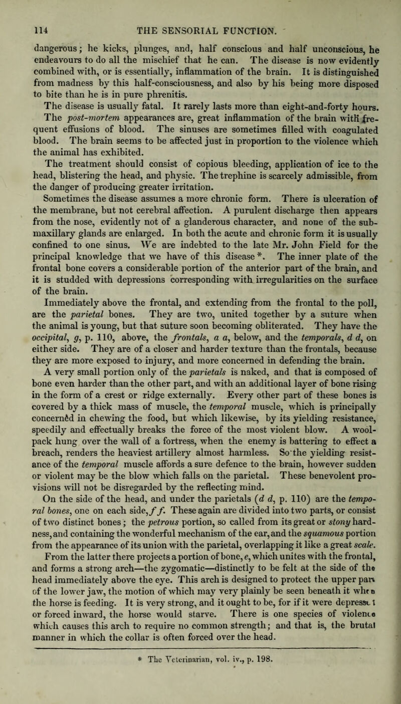 dangerous; lie kicks, plunges, and, half conscious and half unconscious, he endeavours to do all the mischief that he can. The disease is now evidently combined with, or is essentially, inflammation of the brain. It is distinguished from madness by this half-consciousness, and also by his being more disposed to bite than he is in pure phrenitis. The disease is usually fatal. It rarely lasts more than eight-and-forty hours. The post-mortem appearances are, great inflammation of the brain witK fre¬ quent effusions of blood. The sinuses are sometimes filled with coagulated blood. The brain seems to be affected just in proportion to the violence which the animal has exhibited. The treatment should consist of copious bleeding, application of ice to the head, blistering the head, and physic. The trephine is scarcely admissible, from the danger of producing greater irritation. Sometimes the disease assumes a more chronic form. There is ulceration of the membrane, but not cerebral affection. A purulent discharge then appears from the nose, evidently not of a glanderous character, and none of the sub¬ maxillary glands are enlarged. In both the acute and chronic form it is usually confined to one sinus. We are indebted to the late Mr. John Field for the principal knowledge that we have of this disease *. The inner plate of the frontal bone covers a considerable portion of the anterior part of the brain, and it is studded with depressions corresponding with irregularities on the surface of the brain. Immediately above the frontal, and extending from the frontal to the poll, are the parietal bones. They are two, united together by a suture when the animal is young, but that suture soon becoming obliterated. They have the occipital, g, p. 110, above, the frontals, a a, below, and the temporals, d d, on either side. They are of a closer and harder texture than the frontals, because they are more exposed to injury, and more concerned in defending the brain. A very small portion only of the parietals is naked, and that is composed of bone even harder than the other part, and with an additional layer of bone rising in the form of a crest or ridge externally. Every other part of these bones is covered by a thick mass of muscle, the temporal muscle, which is principally concerned iu chewing the food, but which likewise, by its yielding resistance, speedily and effectually breaks the force of the most violent blow. A wool- pack hung over the wall of a fortress, when the enemy is battering to effect a breach, renders the heaviest artillery almost harmless. So'the yielding resist¬ ance of the temporal muscle affords a sure defence to the brain, however sudden or violent may be the blow which falls on the parietal. These benevolent pro¬ visions will not be disregarded by the reflecting mind. On the side of the head, and under the parietals (d d, p. 110) are the tempo¬ ral bones, one on each side,//. These again are divided into two parts, or consist of two distinct bones; the petrous portion, so called from its great or stony hard¬ ness, and containing the wonderful mechanism of the ear, and the squamous portion from the appearance of its union with the parietal, overlapping it like a great scale. From the latter there projects a portion of bone, e, which unites with the frontal, and forms a strong arch—the zygomatic—distinctly to be felt at the side of the head immediately above the eye. This arch is designed to protect the upper pan of the lower jaw, the motion of which may very plainly be seen beneath it win n the horse is feeding. It is very strong, and it ought to be, for if it were depressc t or forced inward, the horse would starve. There is one species of violence which causes this arch to require no common strength; and that is, the brutal manner in which the collar is often forced over the head. * The Veterinarian, vol. iv., p. 198.