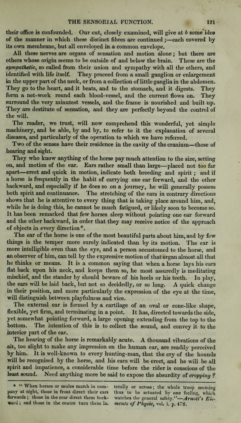 their office is confounded. Our cut, closely examined, will give at b some idea of the manner in which these distinct fibres are continued ;—each covered by its own membrane, but all enveloped in a common envelope. All these nerves are organs of sensation and motion alone; hut there are others whose origin seems to be outside of and below the brain. These are the sympathetic, so called from their union and sympathy with all the others, and identified with life itself. They proceed from a small ganglion or enlargement ia the upper part of the neck, or from a collection of little ganglia in the abdomen. They go to the heart, and it beats, and to the stomach, and it digests. They form a net-work round each blood-vessel, and the current flows on. They surround the very minutest vessels, aud the frame is nourished and built up. They are destitute of sensation, and they are perfectly beyond the control of the will. The reader, we trust, will now comprehend this wonderful, yet simple machinery, and be able, by and by, to refer to it the explanation of several diseases, and particularly of the operation to which we have referred. Two of the senses have their residence in the cavity of the cranium—those of hearing and sight. They who know anything of the horse pay much attention to the size, setting on, and motion of the ear. Ears rather small than large—placed not too far apart—erect and quick in motion, indicate both breeding and spirit ; and if a horse is frequently in the habit of carrying one ear forward, and the other backward, and especially if he does so on a journey, he will generally possess both spirit and continuance. The stretching of the ears in contrary directions shows that he is attentive to every thing that is taking place around him, and, while he is doing this, he cannot be much fatigued, or likely soon to become so. It has been remarked that few horses sleep without pointing one ear forward and the other backward, in order that they may receive notice of the approach of objects in every direction*. The ear of the horse is one of the most beautiful parts about him, and by few things is the temper more surely indicated than by its motion. The ear is more intelligible even than the eye, and a person accustomed to the horse, and an observer of him, can tell by the expressive motion of that organ almost all that he thinks or means. It is a common saying that when a horse lays his ears flat back upon his neck, and keeps them so, he most assuredly is meditating mischief, and the stander by should beware of his heels or his teeth. In play, the ears will be laid back, but not so decidedly, or so long. A quick change in their position, and more particularly the expression of the eye at the time, will distinguish between playfulness and vice. The external ear is formed by a cartilage of an oval or cone-like shape, flexible, yet firm, and terminating in a point. It has, directed towards the side, yet somewhat pointing forward, a large opening extending from the top to the bottom. The intention of this is to collect the sound, and convey it to the interior part of the ear. The hearing of the horse is remarkably acute. A thousand vibrations of the air, too slight to make any impression on the human ear, are readily perceived by him. It is well-known to every hunting-man, that the cry of the hounds will be recognised by the horse, and his ears will be erect, and he will be all spirit and impatience, a considerable time before the rider is conscious of the least sound. Need anything more be said to expose the absurdity of cropping ? • “ When horses or mules march in com- terally or across; the whole troop seeming pany at night, those in front direct their ears thus to be actuated by one feeling, which forwards ; those in the rear direct them back- watches the general safety.”—Arnett's Etc- ward ; aDd those in the ceutre turn them la- merits of Physic, vol. i. p. 478.