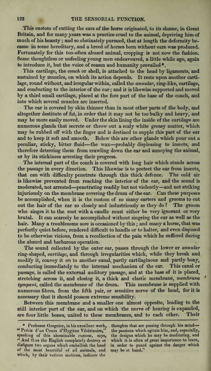 This custom of cutting the ears of the horse originated, to its shame, in Great Britain, and for many years was a practice cruel to the animal, depriving him of much of his beauty ; and so obstinately pursued, that at length the deformity be¬ came in some hereditary, and a breed of horses bom without ears was produced. Fortunately for this too-often abused animal, cropping is not now the fashion. Some thoughtless or unfeeling young men endeavoured, a little while ago, again to introduce it, but the voice of reason and humanity prevailed*. This cartilage, the conch or shell, is attached to the head by ligaments, and sustained by muscles, on which its action depends. It rests upon another carti¬ lage, round without, and irregular within, called the annular, ring-like, cartilage, and conducting to the interior of the ear; and it is likewise supported and moved by a third small cartilage, placed at the fore part of the base of the conch, and into which several muscles are inserted. The ear is covered by skin thinner than in most other parts of the body, and altogether destitute of fat, in order that it may not be too bulky and heavy, and may be more easily moved. Under the skin lining the inside of the cartilage are numerous glands that secrete or throw out a scaly white greasy matter, which may be rubbed off with the finger and is destined to supple this part of the ear and to keep it soft and smooth. Below this are other glands which pour out a peculiar, sticky, bitter fluid—the wax—probably displeasing to insects, and therefore deterring them from crawling down the ear and annoying the animal, or by its stickiness arresting their progress. The internal part of the conch is covered with long hair which stands across the passage in every direction. This likewise is to protect the ear from insects, that can with difficulty penetrate through this thick defence. The cold air is likewise prevented from reaching the interior of the ear, and the sound is moderated, not arrested—penetrating readily but not violently—and not striking injuriously on the membrane covering the drum of the ear. Can these purposes be accomplished, when it is the custom of so many carters and grooms to cut out the hair of the ear so closely and industriously as they do ? The groom who singes it to the root with a candle must either be very ignorant or very brutal. It can scarcely be accomplished without singeing the ear as well as the hair. Many a troublesome sore is occasioned by this; and many a horse, that was perfectly quiet before, rendered difficult to handle or to halter, and even disposed to be otherwise vicious, from a recollection of the pain which he suffered during the absurd and barbarous operation. The sound collected by the outer ear, passes through the lower or annular ring-shaped, cartilage, and through irregularities which, while they break and modify it, convey it on to another canal, partly cartilaginous and partly bony, conducting immediately to the internal mechanism of the ear. This canal or passage, is called the external auditory passage, and at the base of it is placed, stretching across it, and closing it, a thick and elastic membrane, membrana tympani, called the membrane of the drum. This membrane is supplied with numerous fibres, from the fifth pair, or sensitive nerve of the head, for it is necessary that it should possess extreme sensibility. Between this membrane and a smaller one almost opposite, leading to the still interior part of the ear, and on which the nerve of hearing is expanded, are four little bones, united to these membranes, and to each other. Their * Professor Grognier, in his excellent work, “Precis d’un Cours d’Hygiene Vet6rinaire,” speaking of this abominable custom, says, “And thus the English completely destroy or disfigure two organs which embellish the head of the most beautiful of all auimals, and Which, by their various motions, indicate the thoughts that are passing through his mind— the passions which agitate him, and, especially, the designs which he may be meditating, and which it is often of great importance to learn, in order to guard against the danger which may be at hand.”