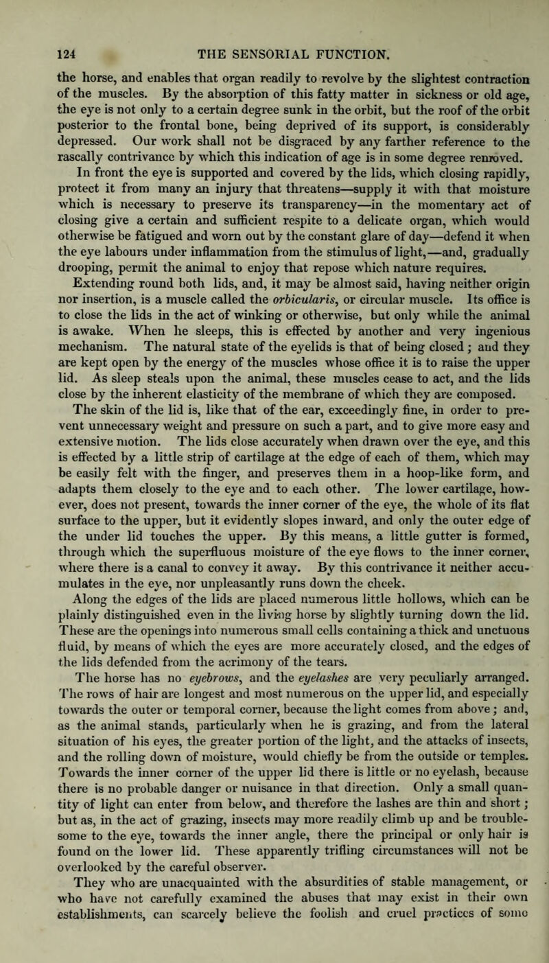 the horse, and enables that organ readily to revolve by the slightest contraction of the muscles. By the absorption of this fatty matter in sickness or old age, the eye is not only to a certain degree sunk in the orbit, but the roof of the orbit posterior to the frontal bone, being deprived of its support, is considerably depressed. Our work shall not be disgraced by any farther reference to the rascally contrivance by which this indication of age is in some degree removed. In front the eye is supported and covered by the lids, which closing rapidly, protect it from many an injury that threatens—supply it with that moisture which is necessary to preserve its transparency—in the momentary act of closing give a certain and sufficient respite to a delicate organ, which would otherwise be fatigued and worn out by the constant glare of day—defend it when the eye labours under inflammation from the stimulus of light,—and, gradually drooping, permit the animal to enjoy that repose which nature requires. Extending round both lids, and, it may be almost said, having neither origin nor insertion, is a muscle called the orbicularis, or circular muscle. Its office is to close the lids in the act of winking or otherwise, but only while the animal is awake. When he sleeps, this is effected by another and very ingenious mechanism. The natural state of the eyelids is that of being closed ; and they are kept open by the energy of the muscles whose office it is to raise the upper lid. As sleep steals upon the animal, these muscles cease to act, and the lids close by the inherent elasticity of the membrane of which they are composed. The skin of the lid is, like that of the ear, exceedingly fine, in order to pre¬ vent unnecessary weight and pressure on such a part, and to give more easy and extensive motion. The lids close accurately when drawn over the eye, and this is effected by a little strip of cartilage at the edge of each of them, which may be easily felt with the finger, and preserves them in a hoop-like form, and adapts them closely to the eye and to each other. The lower cartilage, how¬ ever, does not present, towards the inner corner of the eye, the whole of its flat surface to the upper, but it evidently slopes inward, and only the outer edge of the under lid touches the upper. By this means, a little gutter is formed, through which the superfluous moisture of the eye flows to the inner corner, where there is a canal to convey it away. By this contrivance it neither accu¬ mulates in the eye, nor unpleasantly runs down the cheek. Along the edges of the lids are placed numerous little hollows, which can be plainly distinguished even in the living horse by slightly turning down the lid. These are the openings into numerous small cells containing a thick and unctuous fluid, by means of which the eyes are more accurately closed, and the edges of the lids defended from the acrimony of the tears. The horse has no eyebrows, and the eyelashes are very peculiarly arranged. 'File rows of hair are longest and most numerous on the upper lid, and especially towards the outer or temporal corner, because the light comes from above; and, as the animal stands, particularly when he is grazing, and from the lateral situation of his eyes, the greater portion of the light, and the attacks of insects, and the rolling down of moisture, would chiefly be from the outside or temples. Towards the inner comer of the upper lid there is little or no eyelash, because there is no probable danger or nuisance in that direction. Only a small quan¬ tity of light can enter from below, and therefore the lashes ai-e thin and short; but as, in the act of grazing, insects may more readily climb up and be trouble¬ some to the eye, towards the inner angle, there the principal or only hair is found on the lower lid. These apparently trifling circumstances will not be overlooked by the careful observer. They who are unacquainted with the absurdities of stable management, or who have not carefully examined the abuses that may exist in their own establishments, can scarcely believe the foolish and cruel practices of some