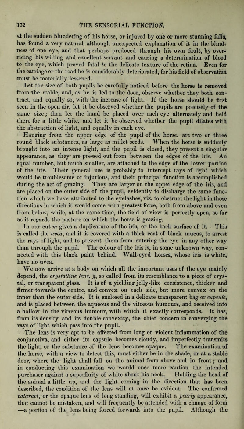 at the sudden blundering of his horse, or injured by one or move stunning falls, has found a very natural although unexpected explanation of it in the blind, ness of one eye, and that perhaps produced through his own fault, by over¬ riding his willing and excellent servant and causing a determination of blood to the eye, which proved fatal to the delicate texture of the retina. Even for the carriage or the road he is considerably deteriorated, for his field of observation must be materially lessened. Let the size of both pupils be carefully noticed before the horse is removed from the stable, and, as he is led to the door, observe whether they both con¬ tract, and equally so, with the increase of light. Jf the horse should be first 6een in tike open air, let it be observed whether the pupils are precisely of the same size; then let the hand be placed over each eye alternately and held there for a little while, and let it be observed whether the pupil dilates with the abstraction of light, and equally in each eye. Hanging from the upper edge of the pupil of the horse, are two or three round black substances, as large as millet seeds. When the horse is suddenly brought into an intense light, and the pupil is closed, they present a singular appearance, as they are pressed out from between the edges of the iris. An equal number, but much smaller, are attached to the edge of the lower portion of the iris. Their general use is probably to intercept rays of light which would be troublesome or injurious, and their principal function is accomplished during the act of grazing. They are larger on the upper edge of the iris, and are placed on the outer side of the pupil, evidently to discharge the same func¬ tion which we have attributed to the eyelashes, viz. to obstruct the light in those directions in which it would come with greatest force, both from above and even from below, while, at the same time, the field of view is perfectly open, so far as it regards the pasture on which the horse is grazing. In our cut m gives a duplicature of the iris, or the back surface of it. This is called the uvea, and it is covered with a thick coat of black mucus, to arrest the rays of light, and to prevent them from entering the eye in any other way than through the pupil. The colour of the iris is, in some unknown way, con¬ nected with this black paint behind. Wall-eyed horses, whose iris is white, have no uvea. We now arrive at a body on which all the important uses of the eye mainly depend, the crystalline lens, <7, so called from its resemblance to a piece of crys¬ tal, or transparent glass. It is of a yielding jelly-like consistence, thicker and firmer towards the centre, and convex on each side, but more convex on the inner than the outer side. It is enclosed in a delicate transparent bag or capsule, and is placed between the aqueous and the vitreous humours, and received into a hollow in the vitreous humour, with which it exactly corresponds. It has, from its density and its double convexity, the chief concern in converging the rays of light which pass into the pupil. The lens is very apt to be affected from long or violent inflammation of the conjunctiva, and either its capsule becomes cloudy, and imperfectly transmits the light, or the substance of the lens becomes opaque. The examination of the horse, with a view to detect this, must either be in the shade, or at a stable door, where the light shall fall on the animal from above and in front; and in conducting this examination we would once more caution the intended purchaser against a superfluity of white about his neck. Holding the head of the animal a little up, and the light coming in the direction that has been described, the condition of the lens will at once be evident. The confirmed cataract, or the opaque lens of long standing, will exhibit a pearly appearance, that cannot be mistaken, and will frequently be attended with a change of form —a portion of the lens being forced forwards into the pupil. Although the