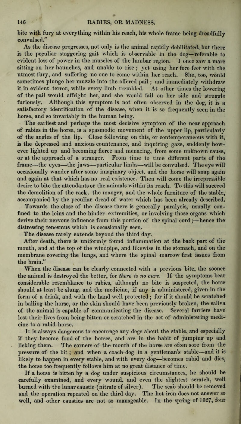 bite with fuiy at everything within his reach, his whole frame being dreadfully convulsed.” As the disease progresses, not only is the animal rapidly debilitated, but there is the peculiar staggering gait which is observable in the dog—referable to evident loss of power in the muscles of the lumbar region. 1 once saw a marc sitting on her haunches, and unable to rise ; yet using her fore feet with the utmost 1'ury, and suffering no one to come within her reach. Site, too, would sometimes plunge her muzzle into the offered pail; and immediately withdraw it in evident terror, while every limb trembled. At other times the lowering of the pail would affright her, and she would fall on her side and struggle furiously. Although this symptom is not often observed in the dog, it is a satisfactory identification of the disease, when it is so frequently seen in the horse, and so invariably in the human being. The earliest and perhaps the most decisive symptom of the near approach of rabies in the horse, is a spasmodic movement of the upper lip, particularly of the angles of the lip. Close following on this, or contemporaneous with it, is the depressed and anxious countenance, and inquiring gaze, suddenly how¬ ever lighted up and becoming fierce and menacing, from some unknown cause, or at the approach of a stranger. From time to time different parts of the frame—the eyes—the jaws—particular limbs—will be convulsed. The eye will occasionally wander after some imaginary object, and the horse will snap again and again at that which has no real existence. Then will come the irrepressible desire to bite the attendants or the animals within its reach. To this will succeed the demolition of the rack, the manger, and the whole furniture of the stable, accompanied by the peculiar dread of water which has been already described. Towards the close of the disease there is generally paralysis, usually con¬ fined to the loins and the hinder extremities, or involving those organs which derive their nervous influence from this portion of the spinal cord ;—hence the distressing tenesmus which is occasionally seen. The disease rarely extends beyond the third day. After death, there is uniformly found inflammation at the back part of the mouth, and at the top of the windpipe, and likewise in the stomach, and on the membrane covering the lungs, and where the spinal marrow first issues from the brain.” When the disease can be clearly connected with a previous bite, the sooner the animal is destroyed the better, for there is no cure. If the symptoms bear considerable resemblance to rabies, although no bite is suspected, the horse should at least be slung, and the medicine, if any is administered, given in the form of a drink, and with the hand well protected ; for if it should be scratched in balling the horse, or the skin should have been previously broken, the saliva of the animal is capable of communicating the disease. Several farriers have lost their lives from being bitten or scratched in the act of administering medi¬ cine to a rabid horse. It is always dangerous to encourage any dogs about the stable, and especially if they become fond of the horses, and are in the habit of jumping up and licking them. The corners of the mouth of the horse are often sore from the pressure of the bit; and when a coach-dog in a gentleman’s stable—and it is likely to happen in every stable, and with every dog—becomes rabid and dies, the horse too frequently follows him at no great distance of time. If a horse is bitten by a dog under suspicious circumstances, he should be carefully examined, and every wound, and even the slightest scratch, well burned with the lunar caustic (nitrate of silver). The scab should be removed and the operation repeated on the third day. The hot iron does not answer so well, and other caustics are not so manageable. In the spring of 1827, four