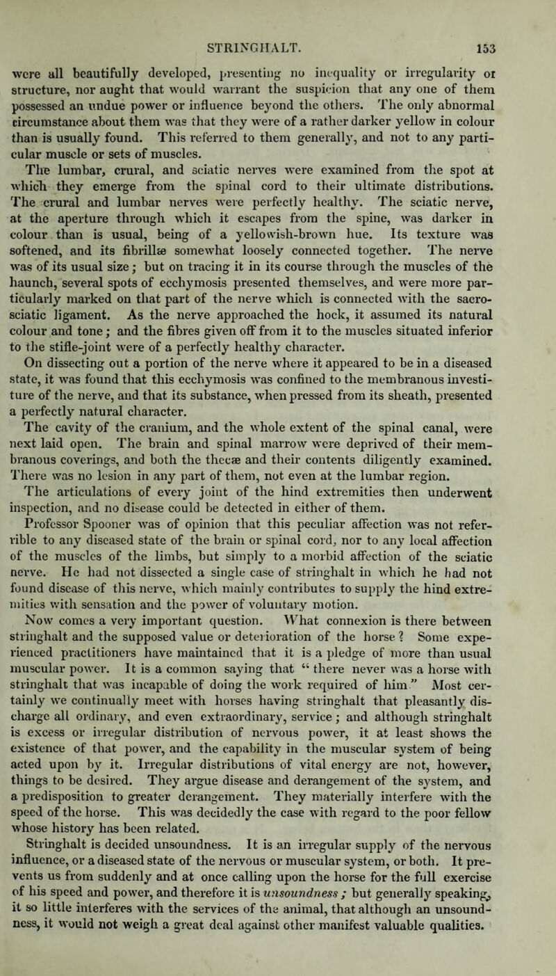 were all beautifully developed, presenting no inequality or irregularity or structure, nor aught that would warrant the suspicion that any one of them possessed an undue power or influence beyond the others. The only abnormal circumstance about them was that they were of a rather darker yellow in colour than is usually found. This referred to them generally, and not to any parti¬ cular muscle or sets of muscles. The lumbar, crural, and sciatic nerves were examined from the spot at which they emerge from the spinal cord to their ultimate distributions. The crural and lumbar nerves were perfectly healthy. The sciatic nerve, at the aperture through which it escapes from the spine, was darker in colour than is usual, being of a yellowish-brown hue. Its texture was softened, and its fibrillte somewhat loosely connected together. The nerve was of its usual size; but on tracing it in its course through the muscles of the haunch, several spots of ecchymosis presented themselves, and were more par¬ ticularly marked on that part of the nerve which is connected with the sacro- sciatic ligament. As the nerve approached the hock, it assumed its natural colour and tone; and the fibres given off from it to the muscles situated inferior to the stifle-joint were of a perfectly healthy character. On dissecting out a portion of the nerve where it appeared to be in a diseased state, it was found that this ecchymosis was confined to the membranous investi¬ ture of the nerve, and that its substance, when pressed from its sheath, presented a perfectly natural character. The cavity of the cranium, and the whole extent of the spinal canal, were next laid open. The brain and spinal marrow were deprived of their mem¬ branous coverings, and both the thecae and their contents diligently examined. There was no lesion in any part of them, not even at the lumbar region. The articulations of every joint of the hind extremities then underwent inspection, and no disease could be detected in either of them. Professor Spooner was of opinion that this peculiar affection was not refer¬ able to any diseased state of the brain or spinal cord, nor to any local affection of the muscles of the limbs, but simply to a morbid affection of the sciatic nerve. He had not dissected a single case of stringhalt in which he bad not found disease of this nerve, which mainly contributes to supply the hind extre¬ mities with sensation and the power of voluntary motion. Now comes a very important question. What connexion is there between stringhalt and the supposed value or deterioration of the horse ? Some expe¬ rienced practitioners have maintained that it is a pledge of more than usual muscular power. It is a common saying that “there never was a horse with stringhalt that was incapable of doing the work required of him ” Most cer¬ tainly we continually meet with horses having stringhalt that pleasantly dis¬ charge all ordinary, and even extraordinary, service; and although stringhalt is excess or irregular distribution of nervous power, it at least shows the existence of that power, and the capability in the muscular system of being acted upon by it. Irregular distributions of vital energy are not, however, things to be desired. They argue disease and derangement of the system, and a predisposition to greater derangement. They materially interfere with the speed of the horse. This was decidedly the case with regard to the poor fellow whose history has been related. Stringhalt is decided unsoundness. It is an irregular supply of the nervous influence, or a diseased state of the nervous or muscular system, or both. It pre¬ vents us from suddenly and at once calling upon the horse for the full exercise of his speed and power, and therefore it is unsoundness ; but generally speaking^ it so little interferes with the services of the animal, that although an unsound¬ ness, it would not weigh a great deal against other manifest valuable qualities.